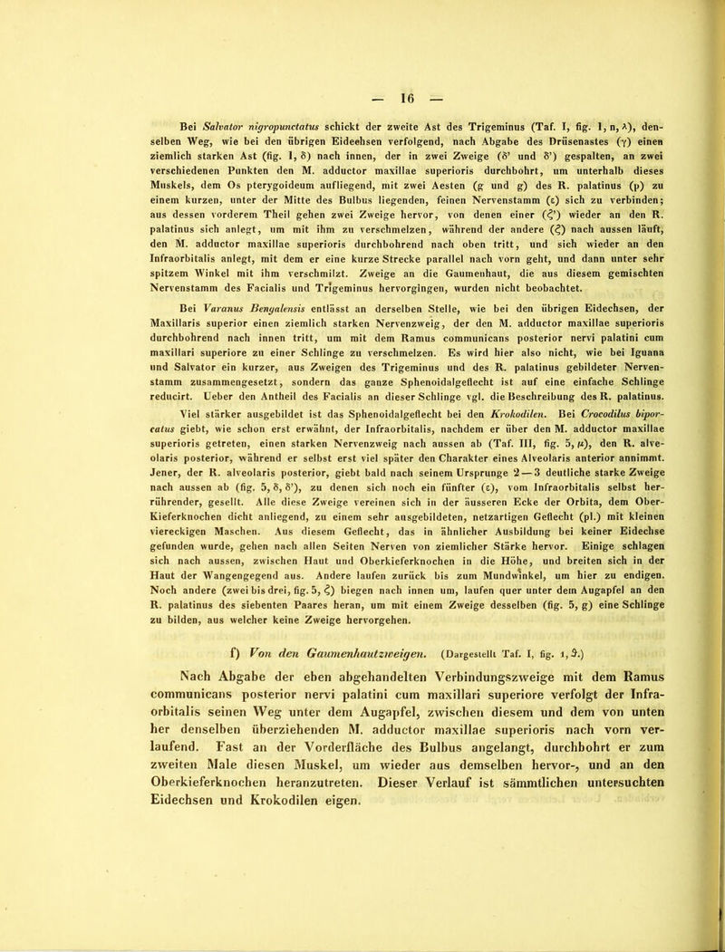 Bei Salvator nigropunctatus schickt der zweite Ast des Trigeminus (Taf. I, fig. 1, n, *), den- selben Weg, wie bei den übrigen Eidechsen verfolgend, nach Abgabe des Drüsenastes (y) einen ziemlich starken Ast (fig. 1, 8) nach innen, der in zwei Zweige (8’ und 8’) gespalten, an zwei verschiedenen Punkten den M. adductor maxillae superioris durchbohrt, um unterhalb dieses Muskels, dem Os pterygoideum aufliegend, mit zwei Aesten (g und g) des R. palatinus (p) zu einem kurzen, unter der Mitte des Bulbus liegenden, feinen Nervenstamm (e) sich zu verbinden; aus dessen vorderem Theil gehen zwei Zweige hervor, von denen einer (4’) wieder an den R. palatinus sich anlegt, um mit ihm zu verschmelzen, während der andere (4) nach aussen läuft, den M. adductor maxillae superioris durchbohrend nach oben tritt, und sich wieder an den Infraorbitalis anlegt, mit dem er eine kurze Strecke parallel nach vorn geht, und dann unter sehr spitzem Winkel mit ihm verschmilzt. Zweige an die Gaumenhaut, die aus diesem gemischten Nervenstamm des Facialis und Trigeminus hervorgingen, wurden nicht beobachtet. Bei Varanus Bengalensis entlässt an derselben Stelle, wie bei den übrigen Eidechsen, der Maxillaris superior einen ziemlich starken Nervenzweig, der den M. adductor maxillae superioris durchbohrend nach innen tritt, um mit dem Ramus communicans posterior nervi palatini cum maxillari superiore zu einer Schlinge zu verschmelzen. Es wird hier also nicht, wie bei Iguana und Salvator ein kurzer, aus Zweigen des Trigeminus und des R. palatinus gebildeter Nerven- stamm zusammengesetzt, sondern das ganze Sphenoidalgeflecht ist auf eine einfache Schlinge reducirt. Ueber den Antheil des Facialis an dieser Schlinge vgl. die Beschreibung des R. palatinus. Viel stärker ausgebildet ist das Sphenoidalgeflecht bei den Krokodilen. Bei Crocodilus bipor- catus giebt, wie schon erst erwähnt, der Infraorbitalis, nachdem er über den M. adductor maxillae superioris getreten, einen starken Nervenzweig nach aussen ab (Taf. III, fig. 5, ft), den R. alve- olaris posterior, während er selbst erst viel später den Charakter eines Alveolaris anterior annimmt. Jener, der R. alveolaris posterior, giebt bald nach seinem Ursprünge 2— 3 deutliche starke Zweige nach aussen ab (fig. 5, 8, 8’), zu denen sich noch ein fünfter (e), vom Infraorbitalis selbst her- rührender, gesellt. Alle diese Zweige vereinen sich in der äusseren Ecke der Orbita, dem Ober- Kieferknochen dicht anliegend, zu einem sehr ausgebildeten, netzartigen Geflecht (pl.) mit kleinen viereckigen Maschen. Aus diesem Geflecht, das in ähnlicher Ausbildung bei keiner Eidechse gefunden wurde, gehen nach allen Seiten Nerven von ziemlicher Stärke hervor. Einige schlagen sich nach aussen, zwischen Haut und Oberkieferknochen in die Höhe, und breiten sich in der Haut der Wangengegend aus. Andere laufen zurück bis zum Mundwinkel, um hier zu endigen. Noch andere (zwei bis drei, fig. 5, 4) biegen nach innen um, laufen quer unter dein Augapfel an den R. palatinus des siebenten Paares heran, um mit einem Zweige desselben (fig. 5, g) eine Schlinge zu bilden, aus welcher keine Zweige hervorgehen. f) Von den Gaumenhautzweigen. (Dargestellt Taf. I, fig. i,$.) Nach Abgabe der eben abgehandelten Verbindungszweige mit dem Ramus communicans posterior nervi palatini cum maxillari superiore verfolgt der Infra- orbitalis seinen Weg unter dem Augapfel, zwischen diesem und dem von unten her denselben überziehenden M. adductor maxillae superioris nach vorn ver- laufend. Fast an der Vorderfläche des Bulbus angelangt, durchbohrt er zum zweiten Male diesen Muskel, um wieder aus demselben hervor-, und an den Oberkieferknochen heranzutreten. Dieser Verlauf ist sämmtlichen untersuchten Eidechsen und Krokodilen eigen.