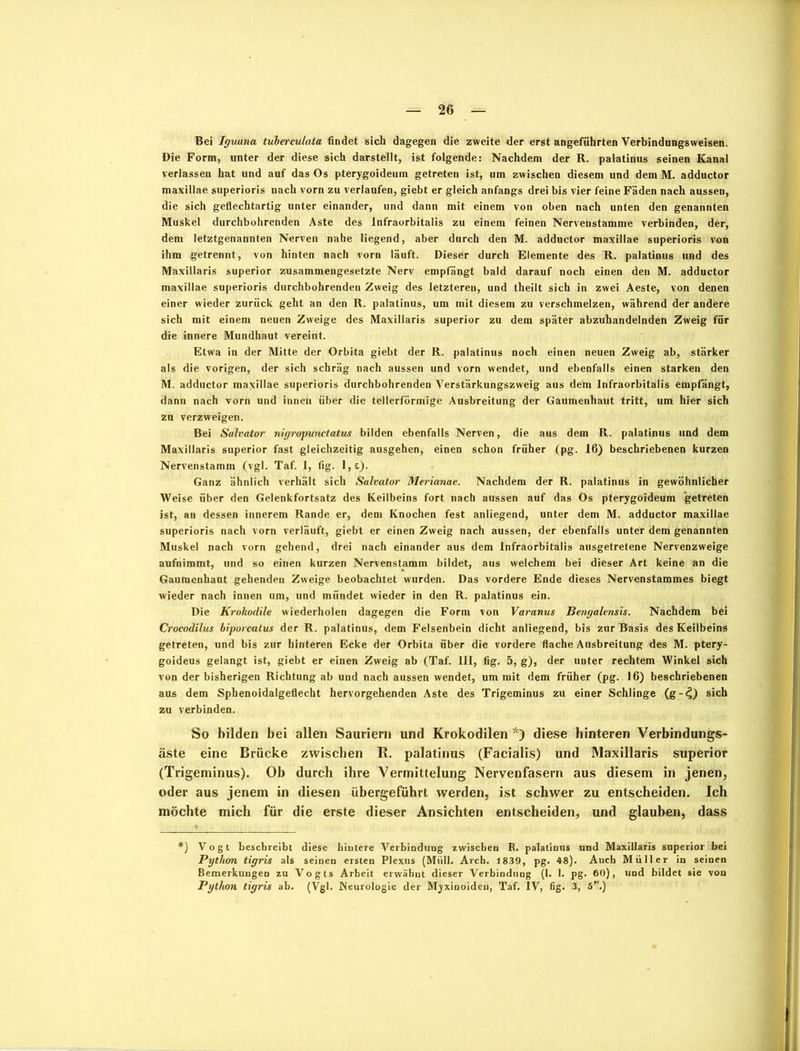 Bei Iguana tuberculata findet sich dagegen die zweite der erst angeführten Verbindungsweisen. Die Form, unter der diese sich darstellt, ist folgende: Nachdem der R. palatinus seinen Kanal verlassen hat und auf das Os pterygoideum getreten ist, um zwischen diesem und dem M. adductor maxillae superioris nach vorn zu verlaufen, giebt er gleich anfangs drei bis vier feine Fäden nach aussen, die sich geflechtartig unter einander, und dann mit einem von oben nach unten den genannten Muskel durchbohrenden Aste des Infraorbitalis zu einem feinen Nervenstamme verbinden, der, dem letztgenannten Nerven nahe liegend, aber durch den M. adductor maxillae superioris von ihm getrennt, von hinten nach vorn läuft. Dieser durch Elemente des R. palatinus und des Maxillaris superior zusammengesetzte Nerv empfängt bald darauf noch einen den M. adductor maxillae superioris durchbohrenden Zweig des letzteren, und theilt sich in zwei Aeste, von denen einer wieder zurück geht an den R. palatinus, um mit diesem zu verschmelzen, während der andere sich mit einem neuen Zweige des Maxillaris superior zu dem später abzuhandelnden Zweig für die innere Mundhaut vereint. Etwa in der Mitte der Orbita giebt der R. palatinus noch einen neuen Zweig ab, stärker als die vorigen, der sich schräg nach aussen und vorn wendet, und ebenfalls einen starken den M. adductor maxillae superioris durchbohrenden Verstärkungszweig aus dem Infraorbitalis empfängt, dann nach vorn und innen über die tellerförmige Ausbreitung der Gaumenhaut tritt, um hier sich zu verzweigen. Bei Salvator nigropunctatus bilden ebenfalls Nerven, die aus dem R. palatinus und dem Maxillaris superior fast gleichzeitig ausgehen, einen schon früher (pg. 16) beschriebenen kurzen Nervenstamm (vgl. Taf. I, fig. l,s). Ganz ähnlich verhält sich Salvator Merianae. Nachdem der R. palatinus in gewöhnlicher Weise über den Gelenkfortsatz des Keilbeins fort nach aussen auf das Os pterygoideum getreten ist, an dessen innerem Rande er, dem Knochen fest anliegend, unter dem M. adductor maxillae superioris nach vorn verläuft, giebt er einen Zweig nach aussen, der ebenfalls unter dem genannten Muskel nach vorn gehend, drei nach einander aus dem Infraorbitalis ausgetretene Nervenzweige aufnimmt, und so einen kurzen Nervenstamm bildet, aus welchem bei dieser Art keine an die Gauraenhaut gehenden Zweige beobachtet wurden. Das vordere Ende dieses Nervenstammes biegt wieder nach innen um, und mündet wieder in den R. palatinus ein. Die Krokodile wiederholen dagegen die Form von Varanus Bengalensis. Nachdem bei Crocodilus biporcatus der R. palatinus, dem Felsenbein dicht anliegend, bis zur Basis des Keilbeins getreten, und bis zur hinteren Ecke der Orbita über die vordere flache Ausbreitung des M. ptery- goideus gelangt ist, giebt er einen Zweig ab (Taf. III, fig. 5, g), der unter rechtem Winkel sich von der bisherigen Richtung ab und nach aussen wendet, um mit dem früher (pg. 16) beschriebenen aus dem Sphenoidalgeflecht hervorgehenden Aste des Trigeminus zu einer Schlinge (g-£) sich zu verbinden. So bilden bei allen Sauriern und Krokodilen *) diese hinteren Verbindungs- äste eine Brücke zwischen R. palatinus (Facialis) und Maxillaris superior (Trigeminus). Ob durch ihre Vermittelung Nervenfasern aus diesem in jenen, oder aus jenem in diesen übergeführt werden, ist schwer zu entscheiden. Ich möchte mich für die erste dieser Ansichten entscheiden, und glauben, dass *) Vogt beschreibt diese biutere Verbindung zwischen R. palatinus und Maxillaris superior bei Python tigris als seinen ersten Plexus (Müll. Arcb. 1839, pg. 48). Auch Müller in seinen Bemerkungen zu Vogts Arbeit erwähnt dieser Verbindung (1. 1. pg. 60), und bildet sie von Python tigris ab. (Vgl. Neurologie der Myxinoiden, Taf. IV, fig. 3, 5”.)
