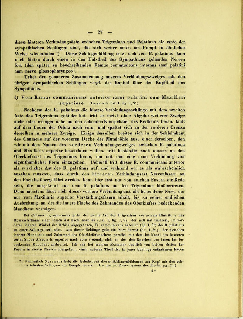 diese hinteren Verbindungsäste zwischen Trigeminus und Palatinus die erste der sympathischen Schlingen sind, die sich weiter unten am Rumpf in ähnlicher Weise wiederholen *). Diese Schlingenbildung setzt sich vom R. palatinus dann nach hinten durch einen in den Halstheil des Sympathicus gehenden Nerven fort (den später zu beschreibenden Ramus communicans internus rami palatini cum nervo glossopharyngeo). Ueber den genaueren Zusammenhang unseres Verbindungszweiges mit den übrigen sympathischen Schlingen vergl. das Kapitel über den Kopftheil des Sympathicus. b) Vom Ramus communicans anterior rami palatini cum Maxillari Superiore. (Dargestellt Taf. I, fig. 1,5’.) Nachdem der R. palatinus die hintere Verbindungsschlinge mit dem zweiten Aste des Trigeminus gebildet hat, tritt er meist ohne Abgabe weiterer Zweige mehr oder weniger nahe an den schmalen Knorpelstiel des Keilbeins heran, läuft auf dem Boden der Orbita nach vorn, und spaltet sich an der vorderen Grenze derselben in mehrere Zweige. Einige derselben breiten sich in der Schleimhaut des Gaumens auf der vorderen Decke der Mundhöhle aus, einer derselben, den wir mit dem Namen des vorderen Verbindungszweiges zwischen R. palatinus und Maxillaris superior bezeichnen wollen, tritt beständig nach aussen an den Oberkieferast des Trigeminus heran, um mit ihm eine neue Verbindung von eigenthümlicher Form einzugehen. Ueberall tritt dieser R. communicans anterior als wirklicher Ast des R. palatinus auf, und während wir es als wahrscheinlich ansehen mussten, dass durch den hinteren Verbindungsast Nervenfasern an den Facialis übergeführt werden, kann hier fast nur von solchen Fasern die Rede sein, die umgekehrt aus dem R, palatinus an den Trigeminus hinübertreten. Denn meistens lässt sich dieser vordere Verbindungsast als besonderer Nerv, der nur vom Maxillaris superior Verstärkungsfasern erhält, bis zu seiner endlichen Ausbreitung an der die innere Fläche des Zahnrandes des Oberkiefers bedeckenden Mundhaut verfolgen. Bei Salvator nigropunctatus giebt der zweite Ast des Trigeminus vor seinem Eintritt in den Oberkieferkanal einen feinen Ast nach innen ab (Taf. I, fig. 1,5), der sich mit unserem, im vor- deren inneren Winkel der Orbita abgegebenen, R. communicans anterior (fig. 1,5’) des R. palatinus zu einer Schlinge verbindet. Aus dieser Schlinge geht ein Nerv hervor (fig. 1, 5”), der zwischen innerer Mundhaut und Zahnrand des Oberkieferknochens parallel mit dem im Kanal des letzteren verlaufenden Alveolaris superior nach vorn tretend, sich an der den Knochen von innen her be- deckenden Mundhaut ausbreitet. Ich sah bei meinem Exemplar deutlich von beiden Seiten her Fasern in diesen Nerven übergehen, einen anderen Theil der in jener Schlinge enthaltenen Fäden *) Namentlich Stannins bebt dte Aebnlichkeit dieser Scblingenbildungen am Kopf mit den sub- vertebralen Schlingen am Rumpfe hervcr. (Das periph. Nervensystem der Fische, pg. 72.) 4*