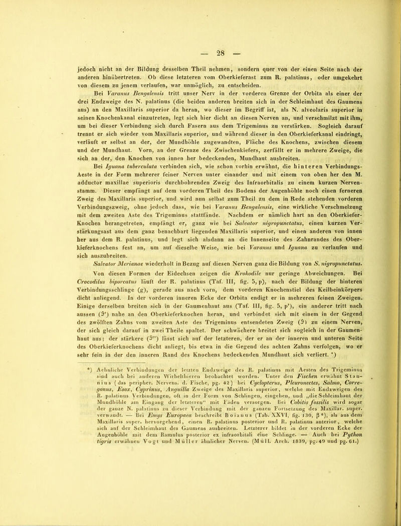 jedoch nicht an der Bildung desselben Theil nehmen, sondern quer von der einen Seite nach der anderen hinübertreten. Ob diese letzteren vom Oberkieferast zum R. palatinus, oder umgekehrt von diesem zu jenem verlaufen, war unmöglich, zu entscheiden. Bei Varanus Bengalensis tritt unser Nerv in der vorderen Grenze der Orbita als einer der drei Endzweige des N. palatinus (die beiden anderen breiten sich in der Schleimhaut des Gaumens aus) an den Maxillaris superior da heran, wo dieser im Begriff ist, als N. alveolaris superior in seinen Knochenkanal einzutreten, legt sich hier dicht an diesen Nerven an, und verschmilzt mit ihm, um bei dieser Verbindung sich durch Fasern aus dem Trigeminus zu verstärken. Sogleich darauf trennt er sich wieder vom Maxillaris superior, und während dieser in den Oberkieferkanal eindringt, verläuft er selbst an der, der Mundhöhle zugewandten, Fläche des Knochens, zwischen diesem und der Mundhaut. Vorn, an der Grenze des Zwischenkiefers, zerfällt er in mehrere Zweige, die sich an der, den Knochen von innen her bedeckenden, Mundhaut ausbreiten. Bei Iguana tuberculata verbinden sich, wie schon vorhin erwähnt, die hinteren Verbindungs- Aeste in der Form mehrerer feiner Nerven unter einander und mit einem von oben her den M. adductor maxillae superioris durchbohrenden Zweig des Infraorbitalis zu einem kurzen Nerven- stamm. Dieser empfängt auf dem vorderen Theil des Bodens der Augenhöhle noch einen ferneren Zweig des Maxillaris superior, und wird nun selbst zum Theil zu dem in Rede stehenden vorderen Verbindungszweig, ohne jedoch dass, wie bei Varanus Bengalensis, eine wirkliche Verschmelzung mit dem zweiten Aste des Trigeminus stattfände. Nachdem er nämlich hart an den Oberkiefer- Knochen herangetreten, empfängt er, ganz wie bei Salvator nigropunctatus, einen kurzen Ver- stärkungsast aus dem ganz benachbart liegenden Maxillaris superior, und einen anderen von innen her aus dem R. palatinus, und legt sich alsdann an die Innenseite des Zahnrandes des Ober- kieferknochens fest an, um auf dieselbe Weise, wie bei Varanus und Iguana zu verlaufen und sich auszubreiten. Salvator Merianae wiederholt in Bezug auf diesen Nerven ganz die Bildung von S. nigropunctatus. Von diesen Formen der Eidechsen zeigen die Krokodile nur geringe Abweichungen. Bei Crocodilus biporcatus läuft der R. palatinus (Taf. III, fig. 5, p), nach der Bildung der hinteren Verbindungsschlinge (g), gerade aus nach vorn, dem vorderen Knochenstiel des Keilbeinkörpers dicht anliegend. In der vorderen inneren Ecke der Orbita endigt er in mehreren feinen Zweigen. Einige derselben breiten sich in der Gaumenhaut aus (Taf. III, fig. 5, p’), ein anderer tritt nach aussen (5’) nahe an den Oberkieferknochen heran, und verbindet sich mit einem in der Gegend des zwölften Zahns vom zweiten Aste des Trigeminus entsendeten Zweig (5) zu einem Nerven, der sich gleich darauf in zwei Theile spaltet. Der schwächere breitet sich sogleich in der Gaumen- haut aus; der stärkere (9”) lässt sich auf der letzteren, der er an der inneren und unteren Seite des Oberkieferknochens dicht anliegt, bis etwa in die Gegend des achten Zahns verfolgen, wo er sehr fein in der den inneren Rand des Knochens bedeckenden Mundhaut sich verliert. *) *) Aelinlicbe Verbindungen der letzten Endzweige des R. palatinus mit Aesten des Trigeminus sind auch bei anderen Wirbelthieren beobachtet worden. Unter den Fischen erwähnt Stan- nius (das peripher. Nervens. d. Fische, pg. 42) bei Cyclopterus, Pleuronectes, Salmo, Corre- gonus, Esox, Cyprinus, Anguilla Zweige des Maxillaris superior, welche mit Endzweigen des R. palatinus Verbindungen, oft in der Form von Schlingen, eingehen, und „die Schleimhaut der Mundhöhle am Eingang der letzteren“ mit Fäden versorgen. Bei Cobitis fossilis wird sogar der ganze N. palatinus zu dieser Verbindung mit der ganzen Fortsetzung des Maxillar. super, verwandt. — Bei Emys Europaea beschreibt Boianus (Tab. XXVI, fig. 130, ß *), als aus dem Maxillaris super, hervorgehend, einen R. palatinus posterior und R. palatinus anterior, welche sich auf der Schleimhaut des Gaumens ausbreiten. Letzterer bildet in der vorderen Ecke der Augenhöhle mit dem Raraulus posterior ex infraorbitali eine Schlinge. — Auch bei Python tigris erwähnen Vogt und Müller ähnlicher Nerven. (Müll. Arch. 1839, pg.49 undpg.61.)