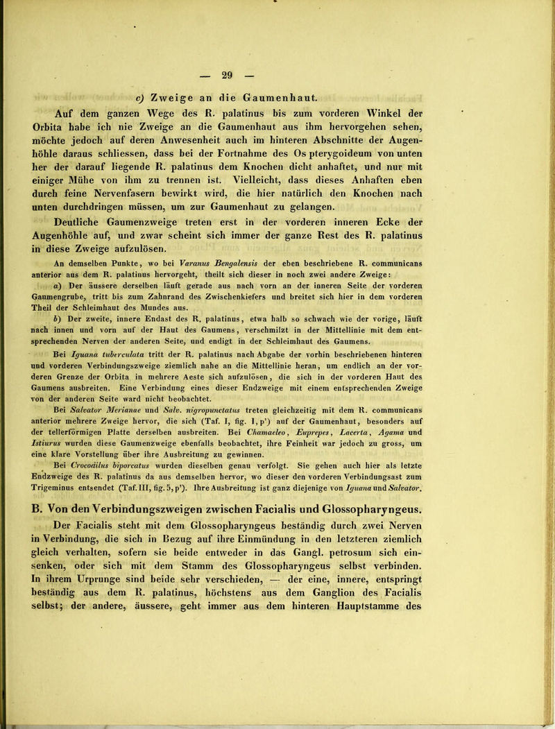 c) Zweige an die Gaumenhaut. Auf dem ganzen Wege des ß. palatinus bis zum vorderen Winkel der Orbita habe ich nie Zweige an die Gaumenhaut aus ihm hervorgehen sehen, möchte jedoch auf deren Anwesenheit auch im hinteren Abschnitte der Augen- höhle daraus schliessen, dass bei der Fortnahme des Os pterygoideum von unten her der darauf liegende R. palatinus dem Knochen dicht anhaftet, und nur mit einiger Mühe von ihm zu trennen ist. Vielleicht, dass dieses Anhaften eben durch feine Nervenfasern bewirkt wird, die hier natürlich den Knochen nach unten durchdringen müssen, um zur Gaumenhaut zu gelangen. Deutliche Gaumenzweige treten erst in der vorderen inneren Ecke der Augenhöhle auf, und zwar scheint sich immer der ganze Rest des R. palatinus in diese Zweige aufzulösen. An demselben Punkte, wo bei Varanus Bengalensis der eben beschriebene R. communicans anterior aus dem R. palatinus hervorgeht, theilt sich dieser in noch zwei andere Zweige: а) Der äussere derselben läuft gerade aus nach vorn an der inneren Seite der vorderen Gaumengrube, tritt bis zum Zahnrand des Zwischenkiefers und breitet sich hier in dem vorderen Theil der Schleimhaut des Mundes aus. б) Der zweite, innere Endast des R. palatinus, etwa halb so schwach wie der vorige, läuft nach innen und vorn auf der Haut des Gaumens, verschmilzt in der Mittellinie mit dem ent- sprechenden Nerven der anderen Seite, und endigt in der Schleimhaut des Gaumens. Bei Iguana tuberculata tritt der R. palatinus nach Abgabe der vorhin beschriebenen hinteren und vorderen Verbindungszweige ziemlich nahe an die Mittellinie heran, um endlich an der vor- deren Grenze der Orbita in mehrere Aeste sich aufzulösen, die sich in der vorderen Haut des Gaumens ausbreiten. Eine Verbindung eines dieser Endzweige mit einem entsprechenden Zweige von der anderen Seite ward nicht beobachtet. Bei Salvator Merianae und Salv. nigropunctatus treten gleichzeitig mit dem R. communicans anterior mehrere Zweige hervor, die sich (Taf. I, fig. l,p’) auf der Gaumenhaut, besonders auf der tellerförmigen Platte derselben ausbreiten. Bei Chamaeleo, Euprepes, Lacerta, Agama und Istiurus wurden diese Gaumenzweige ebenfalls beobachtet, ihre Feinheit war jedoch zu gross, um eine klare Vorstellung über ihre Ausbreitung zu gewinnen. Bei Crocoäilus biporcatus wurden dieselben genau verfolgt. Sie gehen auch hier als letzte Endzweige des R. palatinus da aus demselben hervor, wo dieser den vorderen Verbindungsast zum Trigeminus entsendet (Taf. III, fig. 5, p’). Ihre Ausbreitung ist ganz diejenige von Iguana und Salvator. B. Von den Verbindungszweigen zwischen Facialis und Glossopharyngeus. Der Facialis steht mit dem Glossopharyngeus beständig durch zwei Nerven in Verbindung, die sich in Bezug auf ihre Einmündung in den letzteren ziemlich gleich verhalten, sofern sie beide entweder in das Gangl. petrosum sich ein- senken, oder sich mit dem Stamm des Glossopharyngeus selbst verbinden. In ihrem Urprunge sind beide sehr verschieden, — der eine, innere, entspringt beständig aus dem R. palatinus, höchstens aus dem Ganglion des Facialis selbst; der andere, äussere, geht immer aus dem hinteren Hauptstamme des