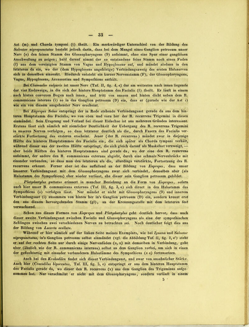 Ast (m) nnd Chorda tympani (t) theilt. Ein merkwürdiger Unterschied von der Bildung des Salvator nigropunctatus besteht jedoch darin, dass bei dem Mangel eines Ganglion petrosum unser Nerv (e) den feinen Stamm des Glossopharyngeus (9) aufnimmt, ohne eine Spur einer gangliösen Anschwellung zu zeigen; bald darauf nimmt der so entstandene feine Stamm noch einen Faden (I) aus dem vereinigten Stamm von Vagus und Hypoglossus- auf, und mündet alsdann in den letzteren da ein, wo der (dem Hypoglossus angehörige) Verbindungszweig des ersten Halsnerven sich in denselben einsenkt. Hiedurch entsteht ein kurzer Nervenstamm (F), der Glossopharyngeus, Vagus, Hypoglossus, Accessorius und Sympathicus enthält. Bei Chamaeleo vulgaris ist unser Nerv (Taf. II, fig. 4, e) der am weitesten nach innen liegende der vier Endzweige, in die sich der hintere Hauptstamm des Facialis (f) theilt. Er läuft in einem nach hinten convexen Bogen nach innen, und tritt von aussen und hinten dicht neben dem R. communicans internus (i) so in das Ganglion petrosum (D) ein, dass er (gerade wie der Ast i) wie ein von diesem ausgehender Nerv erscheint. Bei Eüprepes Sebae entspringt der in Rede stehende Verbindungsast gerade da aus dem hin- teren Hauptstamm des Facialis, wo von oben und vorn her der R. recurrens Trigemini in diesen einmündet. Sein Ursprung und Verlauf bei dieser Eidechse ist aus mehreren Gründen interessant. Erstens lässt sich nämlich mit ziemlicher Deutlichkeit der Uebergang des R. recurrens Trigemini in unseren Nerven verfolgen, so dass letzterer deutlich als die, durch Fasern des Facialis ver- stärkte Fortsetzung des ersteren erscheint. Jener (der R. recurrens) mündet zwar in diejenige Hälfte des hinteren Hauptstammes des Facialis ein, die sich später als Chorda tympani verhält, während dieser aus der zweiten Hälfte entspringt, die sich gleich darauf als Muskelast verzweigt,— aber beide Hälften des hinteren Hauptstammes sind gerade da, wo der eine den R. recurrens aufnimmt, der andere den R. communicans externus abgiebt, durch eine schmale Nervenbrücke mit einander verbunden, so dass man den letzteren als die, allerdings verstärkte, Fortsetzung des R. recurrens erkennt. Ferner aber ist das auffallend an der Bildung von Eüprepes, dass unser äusserer Verbindungsast mit dem Glossopharyngeus zwar sich verbindet, denselben aber (als Halsstamm des Sympathicus) eher wieder verlässt, ehe dieser sein Ganglion petrosum gebildet. Platydactylus guttatus erinnert in mancher Beziehung an die Form von Eüprepes, sofern auch hier unser R. communicans externus (Taf. III, fig. 3, e) sich direct in den Halsstamm des Sympathicus (s) verfolgen lässt. Nur mündet er nicht mit Glossopharyngeus (9) und innerem Verbindungsast (i) zusammen von hinten her in’s Ganglion petrosum (D) ein, sondern kreuzt erst den aus diesem hervorgehenden Stamm (gl), an der Kreuzungsstelle mit dem letzteren fest verwachsend. Schon aus diesen Formen von Eüprepes und Platydactylus geht deutlich hervor, dass auch dieser zweite Verbindungsast zwischen Facialis und Glossopharyngeus als eine der sympathischen Schlingen zwischen zwei verschiedenen Nerven zu betrachten sei. Noch deutlicher folgt dies aus der Bildung von Lacerta ocellata. Während er hier nämlich auf der linken Seite meines Exemplars, wie bei Iguana Und Salvator nigropunctatus, in’s Ganglion petrosum selbst einmündet (vgl. die Abbildung Taf. II, fig. l,e’) steht er auf der rechten Seite nur durch einige Nervenfäden (a, a) mit demselben in Verbindung, geht aber (ähnlich wie der R. communicans internus) selbst an dem Ganglion vorbei, um sich in einen der geflechtartig mit einander verbundenen Halsstämme des Sympathicus (e e) fortzusetzen. Auch bei den Krokodilen findet sich dieser Verbindungsast, und zwar von ansehnlicher Stärke. Auch hier (Crocodilus biporcatus, Taf. III, fig. 5, e) entspringt er aus dem hinteren Hauptstamm des Facialis gerade da, wo dieser den R. recurrens (x) aus dem Ganglion des Trigeminus aufge- nommen hat. Nur verschmilzt er nicht mit dem Glossopharyngeus, sondern verläuft in einem
