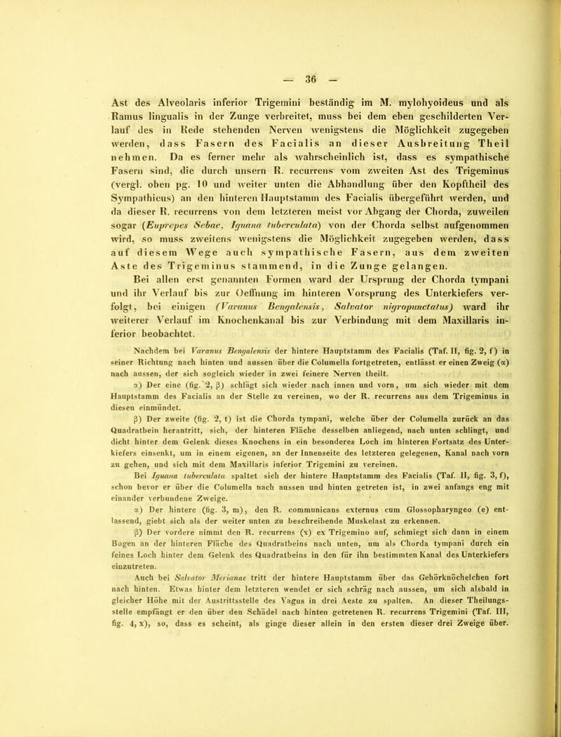 Ramus lingualis in der Zunge verbreitet, muss bei dem eben geschilderten Ver- lauf des in Rede stehenden Nerven wenigstens die Möglichkeit zugegeben werden, dass Fasern des Facialis an dieser Ausbreitung Theil nehmen. Da es ferner mehr als wahrscheinlich ist, dass es sympathische Fasern sind, die durch unsern R. recurrens vom zweiten Ast des Trigeminus (vergl. oben pg. 10 und weiter unten die Abhandlung über den Kopftheil des Sympathicus) an den hinteren Hauptstamm des Facialis übergeführt werden, und da dieser R. recurrens von dem letzteren meist vor Abgang der Chorda, zuweilen sogar (Euprepes Sebae, Iguana tuberculata) von der Chorda selbst aufgenommen wird, so muss zweitens wenigstens die Möglichkeit zugegeben werden, dass auf diesem Wege auch sympathische Fasern, aus dem zw eiten Aste des Trigeminus stammend, in die Zunge gelangen. Bei allen erst genannten Formen ward der Ursprung der Chorda tympani und ihr Verlauf bis zur Oeffnung im hinteren Vorsprung des Unterkiefers ver- folgt, bei einigen (Varanus Bengalensis, Salvator nigropunctatus) ward ihr weiterer Verlauf im Knochenkanal bis zur Verbindung mit dem Maxillaris in- ferior beobachtet. Nachdem bei Varanus Bengalensis der hintere Hauptstamm des Facialis (Taf. II, fig. 2, f) in seiner Richtung nach hinten und aussen über die Columella fortgetreten, entlässt er einen Zweig (a) nach aussen, der sich sogleich wieder in zwei feinere Nerven theilt. a) Der eine (fig.'2, ß) schlägt sich wieder nach innen und vorn, um sich wieder mit dem Hauptstamm des Facialis an der Stelle zu vereinen, wo der R. recurrens aus dem Trigeminus in diesen einmündet. ß) Der zweite (fig. 2, t) ist die Chorda tympani, welche über der Columella zurück an das Quadratbein herantritt, sich, der hinteren Fläche desselben anliegend, nach unten schlingt, und dicht hinter dem Gelenk dieses Knochens in ein besonderes Loch im hinteren Fortsatz des Unter- kiefers einsenkt, um in einem eigenen, an der Innenseite des letzteren gelegenen, Kanal nach vorn zu gehen, und sich mit dem Maxillaris inferior Trigemini zu vereinen. Bei Iguana tuberculata spaltet sich der hintere Hauptstamm des Facialis (Taf. II, fig. 3, f), schon bevor er über die Columella nacli aussen und hinten getreten ist, in zwei anfangs eng mit einander verbundene Zweige. a) Der hintere (fig. 3, m), den R. communicans externus cum Glossopharyngeo (e) ent- lassend, giebt sich als der weiter unten 2u beschreibende Muskelast zu erkennen. ß) Der vordere nimmt den R. recurrens (x) ex Trigemino auf, schmiegt sich dann in einem Bogen an der hinteren Fläche des Quadratbeins nach unten, um als Chorda tympani durch ein feines Loch hinter dem Gelenk des Quadratbeins in den für ihn bestimmten Kanal des Unterkiefers einzutreten. Auch bei Salvator Merianae tritt der hintere Hauptstamm über das Gehörknöchelchen fort nach hinten. Etwas hinter dem letzteren wendet er sich schräg nach aussen, um sich alsbald in gleicher Höhe mit der Austrittsstelle des Vagus in drei Aeste zu spalten. An dieser Theilungs- stelle empfängt er den über den Schädel nach hinten getretenen R. recurrens Trigemini (Taf. III, fig. 4, x), so, dass es scheint, als ginge dieser allein in den ersten dieser drei Zweige über.