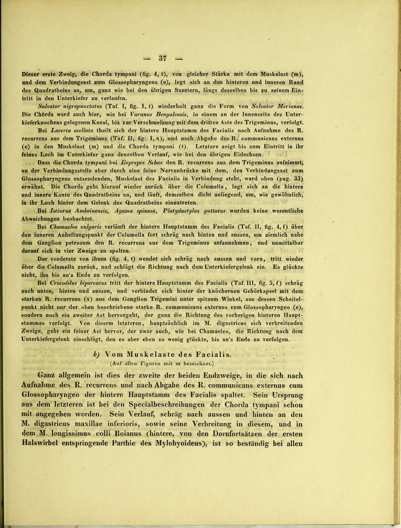 und dem Verbindungsast zum Glossopharyngeus (e), legt sich an den hinteren und inneren Rand des Quadratbeins an, um, ganz wie bei den übrigen Sauriern, längs desselben bis zu seinem Ein- tritt in den Unterkiefer zu verlaufen. Salvator nigropunctatus (Taf. 1, fig. 1, t) wiederholt ganz die Form von Salvator Merianae. Die Chörda ward auch hier, wie bei Varanus Bengalensis, in einem an der Innenseite des Unter- kieferknochens gelegenen Kanal, bis zur Verschmelzung mit dem dritten Aste des Trigeminus, verfolgt. Bei Lacerta ocellata theilt sich der hintere Hauptstamm des Facialis nach Aufnahme des R. recurrens aus dem Trigeminus (Taf. II, fig. l,x), und nach Abgabe des R. communicans externus (e) in den Muskelast (m) und die Chorda tympani (t). Letztere zeigt bis zum Eintritt in ihr feines Loch im Unterkiefer ganz denselben Verlauf, wie bei den übrigen Eidechsen. Dass die Chorda tympani bei Euprepes Sebae den R. recurrens aus dem Trigeminus aufnimmt, an der Verbindungsstelle aber durch eine feine Nervenbrücke mit dem, den Verbindungsast zum Glossopharyngeus entsendenden, Muskelast des Facialis in Verbindung steht, ward oben (pag. 33) erwähnt. Die Chorda geht hierauf wieder zurück über die Columella, legt sich an die hintere und innere Kante des Quadratbeins an, und läuft, demselben dicht anliegend, um, wie gewöhnlich, in ihr Loch hinter dem Gelenk des Quadratbeins einzutreten. Bei Istiurus Amboinensis, Agama spinosa, Platydactylus guttatus wurden keine wesentliche Abweichungen beobachtet. Bei Chamaeleo vulgaris verläuft der hintere Hauptstamm des Facialis (Taf. II, fig. 4, f) über den inneren Anheftungspunkt der Columella fort schräg nach hinten und aussen, um ziemlich nahe dem Ganglion petrosum den R. recurrens aus dem Trigeminus aufzunehmen, und unmittelbar darauf sich in vier Zweige zu spalten. Der vorderste von ihnen (fig. 4, t) wendet sich schräg nach aussen und vorn, tritt wieder über die Columella zurück, und schlägt die Richtung nach dem Unterkiefergelenk ein. Es glückte nicht, ihn bis an’s Ende zu verfolgen. Bei Crocodilus biporcatus tritt der hintere Hauptstamm des Facialis (Taf. III, fig. 5, f) schräg nach unten, hinten und aussen, und verbindet sich hinter der knöchernen Gehörkapsel mit dem starken R. recurrens (x) aus dem Ganglion Trigemini unter spitzem Winkel, aus dessen Scheitel- punkt nicht nur der oben beschriebene starke R. communicans externus cum Glossopharyngeo (e), sondern noch ein zweiter Ast hervorgeht, der ganz die Richtung des vorherigen hinteren Haupt- stammes verfolgt. Von diesem letzteren, hauptsächlich im M. digastricus sich verbreitenden Zweige, geht ein feiner Ast hervor, der zwar auch, wie bei Chamaeleo, die Richtung nach dem Unterkiefergelenk einschlägt, den es aber eben so wenig glückte, bis an’s Ende zu verfolgen. b) Vom Muskelaste des Facialis. (Auf allen Figuren mit m bezeichnet.) Ganz allgemein ist dies der zweite der beiden Endzweige, in die sich nach Aufnahme des R. recurrens und nach Abgabe des R. communicans externus cum Glossopharyngeo der hintere Hauptstamm des Facialis spaltet. Sein Ursprung aus dem letzteren ist bei den Specialbeschreibungen der Chorda tympani schon mit angegeben worden. Sein Verlauf, schräg nach aussen und hinten an den M. digastricus maxillae inferioris, sowie seine Verbreitung in diesem, und in dem M. longissintus colli Boianus (hintere, von den Dornfortsätzen der ersten Halswirbel entspringende Parthie des Mylohyoideus), ist so beständig bei allen