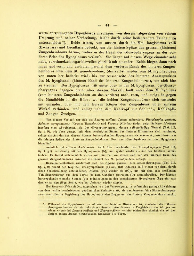 wärts entsprungenen Hypoglossus anzulegen, von diesem, abgesehen von seinem Ursprung und seiner Verbreitung, leicht durch seine bedeutendere Feinheit zu unterscheiden *). Beide treten, von aussen durch die Mm. longissimus colli (Boianus) und Cucullaris bedeckt, um die hintere Spitze des grossen (hinteren) Zungenbeinhorns herum, wobei in der Regel der Glossopharyngeus an der vor- deren Seite des Hypoglossus verläuft. Sie liegen auf diesem Wege einander sehr nahe, verschmelzen sogar bisweilen gänzlich mit einander. Beide biegen dann nach innen und vorn, und verlaufen parallel dem vorderen Rande des hinteren Zungen- beinhorns über dem M. geniohyoideus, (der selbst wieder vom M. mylohyoideus von unten her bedeckt wird) bis zur Aussenseite des hinteren Ansatzpunktes des M. hyoglossus (hinterer Rand des hinteren Zungenbeinhorns), um sich hier zu trennen. Der Hypoglossus tritt unter oder in den M. hyoglossus, der Glosso- pharyngeus dagegen bleibt über diesem Muskel, läuft unter dem M. hyoideus (vom hinteren Zungenbeinhorn an das vordere) nach vorn, und steigt da gegen die Mundhöhle in die Höhe, wo die beiden Zungenbeinhörner sich entweder mit einander, oder mit dem kurzen Körper des Zungenbeins unter spitzem Winkel verbinden, und endigt nahe dem Kehlkopf mit Schlund-, Kehlkopfs- und Zungen-Zweigen. Von diesem Verlauf, der sich bei Lacerta ocellata, Iguana tuberculata, Platydactylus guttatus, Salvator nigropunctatus, Varanus Bengalensis und Varanus Eiloticus findet, zeigt Salvator Merianae insofern eine Abweichung, als der Glossopharyngeus, dessen selbstständige Wurzel (Taf. III, fig. 4, 9), wie oben gesagt, mit dem vereinigten Stamm der hinteren Hirnnerven sich verbindet, später als Ast des aus diesem Stamm hervorgehenden Hypoglossus da erscheint, wo dieser um die hintere Spitze des hinteren Zungenbeinhorns über dem Geniohyoideus an den Hyoglossus hinanläuft. Aehnlich bei Istiurus Amboinensis. Auch hier verschmilzt der Glossopharyngeus (Taf. III, hg- l>gO vollständig mit dem Hypoglossus (h), um später wieder als Ast des letzteren aufzu- treten. Er trennt sich nämlich wieder von ihm da, wo dieser sich vor der hinteren Ecke des grossen Zungenbeinhorns zwischen die Bündel des M. geniohyoideus schlägt. Dasselbe Verhältniss wiederholt sich bei Agama spinosa. Der Glossopharyngeus (Taf. III, fig. 2, 9) nimmt den Kopftheil des Sympathicus (a) auf, tritt indessen bald wieder von dem, durch diese Verschmelzung entstandenen, Stamm (gs) wieder ab (99), um mit dem erst erwähnten Verstärkungszweig aus dem Vagus (I) zum Ganglion petrosum (D) anzuschwellen. Der hieraus hervorgehende einfache Stamm (gl) mündet ganz in den benachbarten Hypoglossus (hg) ein, aus dem er an derselben Stelle, wie bei Istiurus, wieder abgeht. Bei Euprepes Sebae findet, abgesehen von der Verzweigung, in sofern eine geringe Abweichung von dem vorhin beschriebenen gewöhnlichen Verlaufe statt, als der äusserst feine Glossopharyngeus zwar auch hier in Begleitung des Hypoglossus den Bogen um das hintere Zungenbeinhorn macht, *) Während der Hypoglossus der stärkste der hinteren Hirnnerven ist, erscheint der Glosso- pharyngeus immer als ein sehr feiner Stamm. Am feinsten in Vergleich zu den übrigen er- schien er mir bei Lacerta ocellata und Euprepes Sebae, — hier fehlen ihm nämlich die bei den übrigen seinen Stamm verstärkenden Elemente des Vagus.