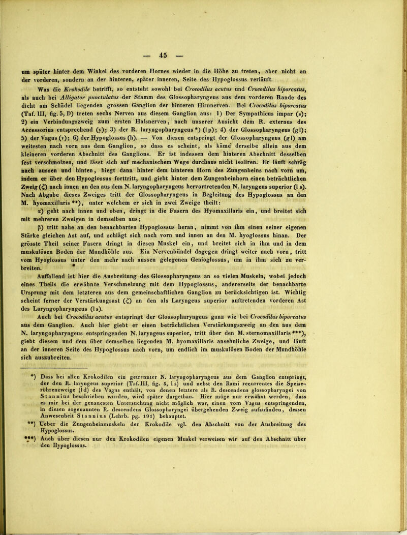 der vorderen, sondern an der hinteren, später inneren, Seite des Hypoglossus verläuft. Was die Krokodile betrifft, so entsteht sowohl bei Crocodilus acutus und Crocodilus biporcatus, als auch bei Alligator punctulatus der Stamm des Glossopharyngeus aus dem vorderen Rande des dicht am Schädel liegenden grossen Ganglion der hinteren Hirnnerven. Bei Crocodilus bipm-catus (Taf. LII, fig. 5, D) treten sechs Nerven aus diesem Ganglion aus: 1) Der Sympathicus impar (s); 2) ein Verbindungszweig zum ersten Halsnerven, nach unserer Ansicht dem R. externus des Accessorius entsprechend (y); 3) der R. laryngopharyngeus*) (lp); 4) der Glossopharyngeus (gl); 5) der Vagus (v); 6) der Hypoglossus (h). — Von diesen entspringt der Glossopharyngeus (gl) am weitesten nach vorn aus dem Ganglion, so dass es scheint, als käme' derselbe allein aus dem kleineren vorderen Abschnitt des Ganglions. Er ist indessen dem hinteren Abschnitt desselben fest verschmolzen, und lässt sich auf mechanischem Wege durchaus nicht isoliren. Er läuft schräg nach aussen und hinten, biegt dann hinter dem hinteren Horn des Zungenbeins nach vorn um, indem er über den Hypoglossus forttritt, und giebt hinter dem Zungenbeinhorn einen beträchtlichen Zweig (4) nach innen an den aus dem N. laryngopharyngeus hervortretenden N. laryngeus superior (1 s). Nach Abgabe dieses Zweiges tritt der Glossopharyngeus in Begleitung des Hypoglossus an den M. hyomaxillaris **), unter welchem er sich in zwei Zweige theilt: a) geht nach innen und oben, dringt in die Fasern des Hyomaxillaris ein, und breitet sich mit mehreren Zweigen in demselben aus; ß) tritt nahe an den benachbarten Hypoglossus heran, nimmt von ihm einen seiner eigenen Stärke gleichen Ast auf, und schlägt sich nach vorn und innen an den M. hyoglossus hinan. Der grösste Theil seiner Fasern dringt in diesen Muskel ein, und breitet sich in ihm und in dem muskulösen Boden der Mundhöhle aus. Ein Nervenbündel dagegen dringt weiter nach vorn, tritt vom Hyoglossus unter den mehr nach aussen gelegenen Genioglossus, um in ihm sich zu ver- breiten. Auffallend ist hier die Ausbreitung des Glossopharyngeus an so vielen Muskeln, wobei jedoch eines Theils die erwähnte Verschmelzung mit dem Hypoglossus, andererseits der benachbarte Ursprung mit dem letzteren aus dem gemeinschaftlichen Ganglion zu berücksichtigen ist. Wichtig scheint ferner der Verstärkungsast (4) an den als Laryngeus superior auftretenden vorderen Ast des Laryngopharyngeus (ls). Auch bei Crocodilus acutus entspringt der Glossopharyngeus ganz wie bei Crocodilus bipwcatus aus dem Ganglion. Auch hier giebt er einen beträchtlichen Verstärkungszweig an den aus dem N. laryngopharyngeus entspringenden N. laryngeus superior, tritt über den M. sternomaxillaris ***), giebt diesem und dem über demselben liegenden M. hyomaxillaris ansehnliche Zweige, und läuft an der inneren Seite des Hypoglossus nach vorn, um endlich im muskulösen Boden der Mundhöhle sich auszubreiten. *') Dass bei allen Krokodilen ein getrennter N. laryngopharyngeus aus dem Ganglion entspringt, der den R. laryngeus superior (Taf. III, fig. 5, 1 s) und nebst den Rami recurrentes die Speise- röhrenzweige (ld) des Vagus enthält, von denen letztere als R. descendens glossopharyngei von Stannius beschrieben wurden, wird später dargethan. Hier möge nur erwähnt werden, dass es mir bei der genauesten Untersuchung nicht möglich war, einen vom Vagus entspringenden, in diesen sogenannten R. descendens Glossopharyngei übergehenden Zweig aufzufinden, dessen Anwesenheit Stannius (Lehrb. pg. 19l) behauptet. **) Ueber die Zungenbeinmuskeln der Krokodile vgl. den Abschnitt von der Ausbreitung des Hypoglossus. ***) Auch über diesen nur den Krokodilen eigenen Muskel verweisen wir auf den Abschnitt über den Hypoglossus.