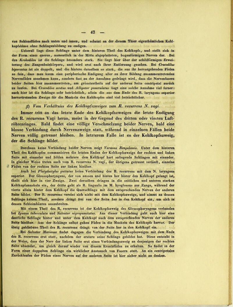 von Schlundfäden nach unten und innen, und scheint an der diesem Thier eigentümlichen Kehl- kopfsblase ohne Schlingenbildung zu endigen. Ueberall liegt diese Schlinge unter dem hinteren Theil des Kehlkopfs, und stellt sich in der Form eines queren, namentlich in der Mitte abgeplatteten, bogenförmigen Nerven dar. Bei den Krokodilen ist die Schlinge besonders stark. Sie liegt hier über der schildförmigen Erwei- terung des Zungenbeinkörpers, und wird erst nach ihrer Entfernung gesehen. Bei Crocodilus biporcatus ist sie doppelt, und die hintere derselben so stark, die aus ihr hervorgehenden Fäden so fein, dass man kaum eine peripherische Endigung aller zu ihrer Bildung zusammentretenden Nervenfäden annehmen kann, sondern fast zu der Annahme gedrängt wird, dass die Nervenfasern beider Seiten hier zusammen treten, um grösstentheils auf der anderen Seite centripetal zurück zu laufen. Bei Crocodihis acutus und Alligator punctulatus liegt eine solche Annahme viel ferner: auch hier ist die Schlinge sehr beträchtlich, allein die aus dem Ende des R. laryngeus superior hervortretenden Zweige für die Muskeln des Kehlkopfes sind viel beträchtlicher. ß) Vom Verhältniss des Kehlkopfszweig es zum R. recurrens N. vagi. Immer tritt an das letzte Ende des Kehlkopfszweiges die letzte Endigung des R. recurrens Vagi heran, meist in der Gegend des dritten oder vielten Luft- röhrenringes. Bald findet eine völlige Verschmelzung beider Nerven, bald eine blosse Verbindung durch Nervenzweige statt, während in einzelnen Fällen beide Nerven völlig getrennt bleiben. In letzterem Falle ist es der Kehlkopfszweig, der die Schlinge bildet. Durchaus keine Verbindung beider Nerven zeigt Varanus Bengnlensis. Unter dem hinteren Theil des Kehlkopfes communiciren die letzten Enden der Kehlkopfszweige der rechten und linken Seite mit einander und bilden mehrere dem Kehlkopf hart anliegende Schlingen mit einander. In gleicher Weise treten auch vom R. recurrens N. vagi, der übrigens getrennt verläuft, einzelne Fäden von der rechten Seite zur linken hinüber. Auch bei Platydactylus guttatus keine Verbindung des R. recurrens mit dem N. laryngeus superior. Der Glossopharyngeus, der von aussen und hinten her hinter den Kehlkopf gelangt ist, theilt sich hier in vier Zweige. Zwei derselben dringen in die seitlichen und unteren starken Kehlkopfsmuskeln ein, der dritte geht als R. iingualis im M. hyoglossus zur Zunge, während der vierte allein hinter dem Kehlkopf die Querschlinge mit dem entsprechenden Nerven der anderen Seite bildet. Der R. recurrens vereint sich nicht mit dem Kehlkopfszweige, und nimmt an dessen Schlinge keinen Theil, sondern dringt frei von der Seite her in den Kehlkopf ein, um sich in dessen Schleimhäuten auszubreiten. Mit einem Theil des R. recurrens ist der Kehlkopfszweig des Glossopharyngeus verbunden bei Iguana tuberculata und Salvator nigropunctatus. Aus dieser Verbindung geht auch hier eine deutliche Schlinge hinter und unter dem Kehlkopf nach dem entsprechenden Nerven der anderen Seite hinüber. Aus der Schlinge selbst gehen Fäden in die Muskeln des Kehlkopfs hervor. Der übrig gebliebene Theil des R. recurrens dringt von der Seite her in den Kehlkopf ein. Bei Salvator Merianae findet dagegen die Verbindung des Kehlkopfszweiges mit dem Ende des R. recurrens erst statt, nachdem der erstere seine Schlinge gebildet hat. Diese entsteht in der Weise, dass der Nerv der linken Seite erst einen Verbindungszweig an denjenigen der rechten Seite absendet, um gleich darauf wieder von diesem Ersatzfäden zu erhalten. So findet in der Form einer doppelten Schlinge ein wirklicher Austausch von Fasern statt. An ein centripetales Zurücklaufen der Fäden eines Nerven auf der anderen Seite ist hier sicher nicht zu denken.