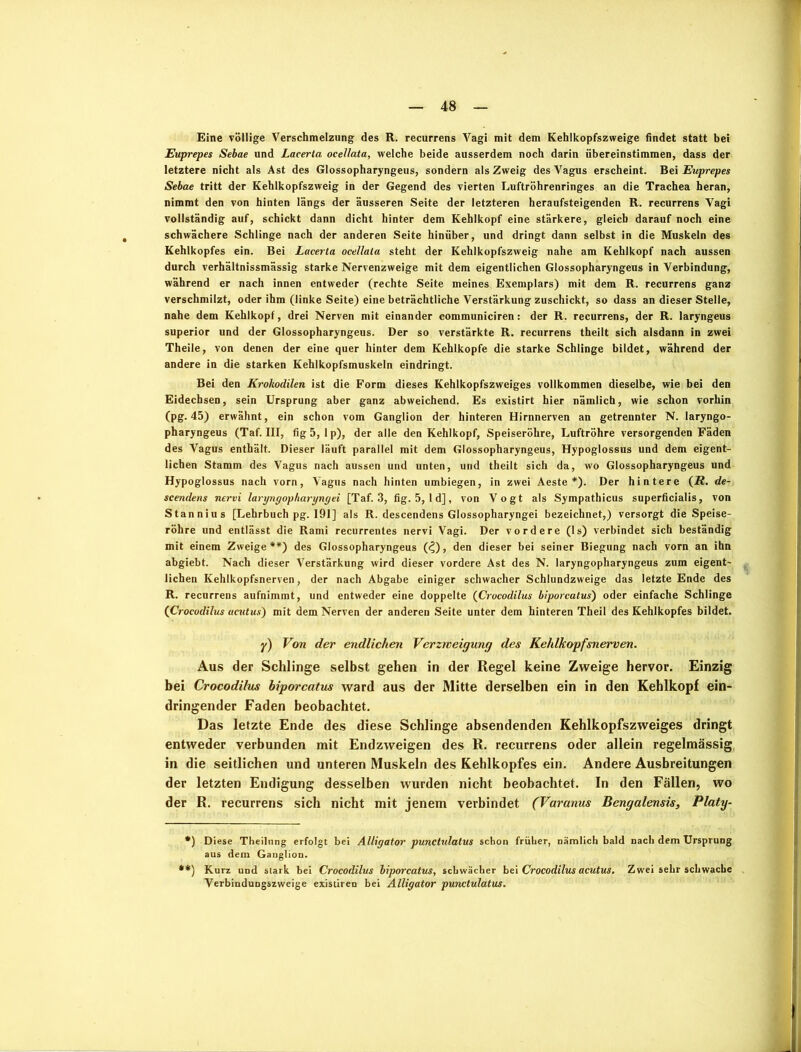 Eine völlige Verschmelzung des R. recurrens Vagi mit dem Kehlkopfszweige findet statt bei Euprepes Sebae und Lacerta ocellata, welche beide ausserdem noch darin übereinstimmen, dass der letztere nicht als Ast des Glossopharyngeus, sondern als Zweig des Vagus erscheint. Bei Euprepes Sebae tritt der Kehlkopfszweig in der Gegend des vierten Luftröhrenringes an die Trachea heran, nimmt den von hinten längs der äusseren Seite der letzteren heraufsteigenden R. recurrens Vagi vollständig auf, schickt dann dicht hinter dem Kehlkopf eine stärkere, gleich darauf noch eine schwächere Schlinge nach der anderen Seite hinüber, und dringt dann selbst in die Muskeln des Kehlkopfes ein. Bei Lacerta ocellata steht der Kehlkopfszweig nahe am Kehlkopf nach aussen durch verhältnissmässig starke Nervenzweige mit dem eigentlichen Glossopharyngeus in Verbindung, während er nach innen entweder (rechte Seite meines Exemplars) mit dem R. recurrens ganz verschmilzt, oder ihm (linke Seite) eine beträchtliche Verstärkung zuschickt, so dass an dieser Stelle, nahe dem Kehlkopf, drei Nerven mit einander communiciren: der R. recurrens, der R. laryngeus superior und der Glossopharyngeus. Der so verstärkte R. recurrens theilt sich alsdann in zwei Theile, von denen der eine quer hinter dem Kehlkopfe die starke Schlinge bildet, während der andere in die starken Kehlkopfsmuskeln eindringt. Bei den Krokodilen ist die Form dieses Kehlkopfszweiges vollkommen dieselbe, wie bei den Eidechsen, sein Ursprung aber ganz abweichend. Es existirt hier nämlich, wie schon vorhin (pg. 45) erwähnt, ein schon vom Ganglion der hinteren Hirnnerven an getrennter N. laryngo- pharyngeus (Taf. III, fig 5, lp), der alle den Kehlkopf, Speiseröhre, Luftröhre versorgenden Fäden des Vagus enthält. Dieser läuft parallel mit dem Glossopharyngeus, Hypoglossus und dem eigent- lichen Stamm des Vagus nach aussen und unten, und theilt sich da, wo Glossopharyngeus und Hypoglossus nach vorn, Vagus nach hinten umbiegen, in zwei Aeste *). Der hintere (i?. de- scendens nervi laryngopharyngei [Taf. 3, fig. 5,1 d], von Vogt als Sympathicus superficialis, von Stannius [Lehrbuch pg. 191] als R. descendens Glossopharyngei bezeichnet,) versorgt die Speise- röhre und entlässt die Rami recurrentes nervi Vagi. Der vordere (ls) verbindet sich beständig mit einem Zweige**) des Glossopharyngeus (^), den dieser bei seiner Biegung nach vorn an ihn abgiebt. Nach dieser Verstärkung wird dieser vordere Ast des N. laryngopharyngeus zum eigent- lichen Kehlkopfsnerven, der nach Abgabe einiger schwacher Schlundzweige das letzte Ende des R. recurrens aufnimmt, und entweder eine doppelte (Crocodilus biporcatus) oder einfache Schlinge (Crocodilus acutus) mit dem Nerven der anderen Seite unter dem hinteren Theil des Kehlkopfes bildet. y) Von der endlichen Verzweigung des Kehlkopfsnerven. Aus der Schlinge selbst gehen in der Regel keine Zweige hervor. Einzig bei Crocodilus biporcatus ward aus der Mitte derselben ein in den Kehlkopf ein- dringender Faden beobachtet. Das letzte Ende des diese Schlinge absendenden Kehlkopfszweiges dringt entweder verbunden mit Endzweigen des R. recurrens oder allein regelmässig in die seitlichen und unteren Muskeln des Kehlkopfes ein. Andere Ausbreitungen der letzten Endigung desselben wurden nicht beobachtet. In den Fällen, wo der R. recurrens sich nicht mit jenem verbindet (Varanus Bengalensis, Platy- *) Diese Theilung erfolgt bei Alligator punctidatus schon früher, nämlich bald nach dem Ursprung aus dem Ganglion. **) Kurz und stark bei Crocodilus biporcatus, schwächer bei Crocodilus acutus. Zwei sehr schwache Verbindungszweige existiren bei Alligator punctulatus.