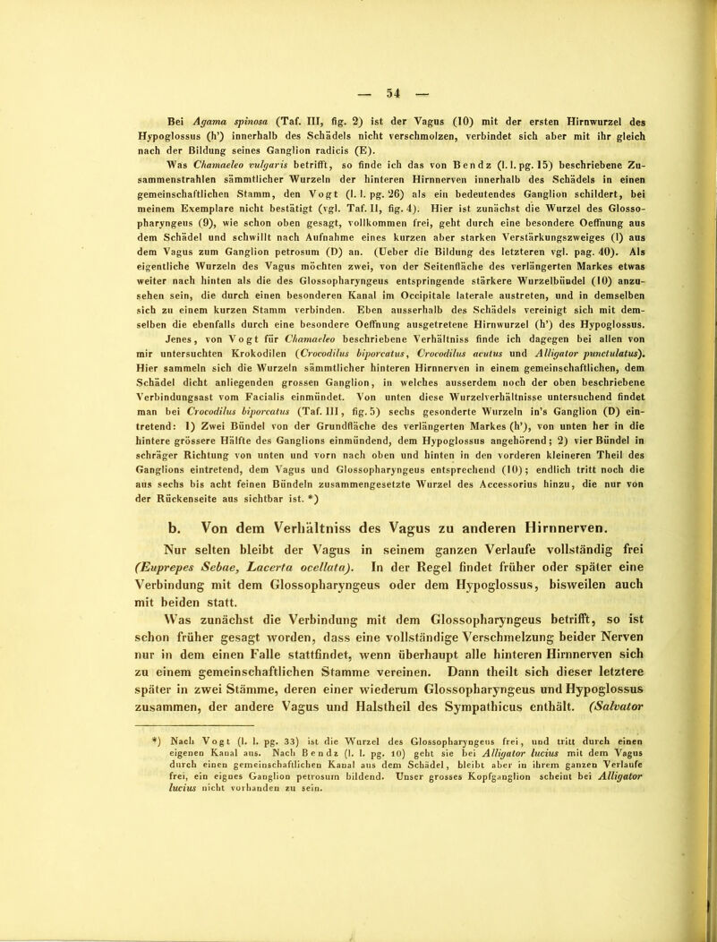 Hypoglossus (h’) innerhalb des Schädels nicht verschmolzen, verbindet sich aber mit ihr gleich nach der Bildung seines Ganglion radicis (E). Was Chamaeleo vulgaris betrifft, so finde ich das von Ben dz (1.1. pg. 15) beschriebene Zu- sammenstrahlen sämmtlicher Wurzeln der hinteren Hirnnerven innerhalb des Schädels in einen gemeinschaftlichen Stamm, den Vogt (1. 1. pg. 26) als ein bedeutendes Ganglion schildert, bei meinem Exemplare nicht bestätigt (vgl. Taf. II, fig. 4). Hier ist zunächst die Wurzel des Glosso- pharyngeus (9), wie schon oben gesagt, vollkommen frei, geht durch eine besondere Oeffnung aus dem Schädel und schwillt nach Aufnahme eines kurzen aber starken Verstärkungszweiges (1) aus dem Vagus zum Ganglion petrosum (D) an. (Ueber die Bildung des letzteren vgl. pag. 40). Als eigentliche Wurzeln des Vagus möchten zwei, von der Seitenfläche des verlängerten Markes etwas weiter nach hinten als die des Glossopharyngeus entspringende stärkere Wurzelbiindel (10) anzu- sehen sein, die durch einen besonderen Kanal im Occipitale laterale austreten, und in demselben sich zu einem kurzen Stamm verbinden. Eben ausserhalb des Schädels vereinigt sich mit dem- selben die ebenfalls durch eine besondere Oeffnung ausgetretene Hirnwurzel (h’) des Hypoglossus. Jenes, von Vogt für Chamaeleo beschriebene Verhältnis finde ich dagegen bei allen von mir untersuchten Krokodilen (Crocodilus biporcatus, Crococlilus acutus und Alligator punctulatus). Hier sammeln sich die Wurzeln sämmtlicher hinteren Hirnnerven in einem gemeinschaftlichen, dem Schädel dicht anliegenden grossen Ganglion, in welches ausserdem noch der oben beschriebene Verbindungsast vom Facialis einmündet. Von unten diese Wurzelverhältnisse untersuchend findet man bei Crocodilus biporcatus (Taf. 111, fig. 5) sechs gesonderte Wurzeln in’s Ganglion (D) ein- tretend: 1) Zwei Bündel von der Grundfläche des verlängerten Markes (h’), von unten her in die hintere grössere Hälfte des Ganglions einmündend, dem Hypoglossus angehörend; 2) vier Bündel in schräger Richtung von unten und vorn nach oben und hinten in den vorderen kleineren Theil des Ganglions eintretend, dem Vagus und Glossopharyngeus entsprechend (10); endlich tritt noch die aus sechs bis acht feinen Bündeln zusammengesetzte Wurzel des Accessorius hinzu, die nur von der Rückenseite aus sichtbar ist. *) b. Von dem Verhältnis des Vagus zu anderen Hirnnerven. Nur selten bleibt der Vagus in seinem ganzen Verlaufe vollständig frei (Euprepes Sebae, Lacerta ocellata). In der Regel findet früher oder später eine Verbindung mit dem Glossopharyngeus oder dem Hypoglossus, bisweilen auch mit beiden statt. Was zunächst die Verbindung mit dem Glossopharyngeus betrifft, so ist schon früher gesagt worden, dass eine vollständige Verschmelzung beider Nerven nur in dem einen Falle stattfindet, wenn überhaupt alle hinteren Hirnnerven sich zu einem gemeinschaftlichen Stamme vereinen. Dann theilt sich dieser letztere später in zwei Stämme, deren einer wiederum Glossopharyngeus und Hypoglossus zusammen, der andere Vagus und Halstheil des Sympathicus enthält. (Salvator *) Nach Vogt (1.1. pg. 33) ist die Wurzel des Glossopharyugeus frei, und tritt durch einen eigenen Kanal aus. Nach Bendz (1. 1. pg. 10) gebt sie bei Alligator lucius mit dem Vagus durch einen gemeinschaftlichen Kanal ans dem Schädel, bleibt aber in ihrem ganzen Verlaufe frei, ein eigues Ganglion petrosum bildend. Unser grosses Kopfganglion scheint bei Alligator lucius nicht vorhanden zu sein.