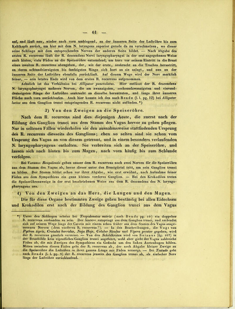 auf, und läuft nun, wieder nach vorn umbiegend, an der äusseren Seite der Luftröhre bis zum Kehlkopfe zurück, um hier mit dem N. laryngeus superior gerade da zu verschmelzen, wo dieser seine Schlinge mit dem entsprechenden Nerven der anderen Seite bildet. — Nach Abgabe des ersten R. recurrens läuft der R. descendens Nervi laryngopharyngei in der erst angegebenen Weise nach hinten, viele Fäden an die Speiseröhre entsendend, um kurz vor seinem Eintritt in die Brust einen zweiten R. recurrens abzugeben, der, wie der erste, senkrecht an die Trachea herantritt, an deren achtundvierzigsten bis fünfzigsten Ringe sich hart an sie anlegt, und nun an der äusseren Seite der Luftröhre ebenfalls zurückläuft. Auf diesem Wege wird der Nerv merklich feiner, — sein letztes Ende wird von dem ersten R. recurrens aufgenommen. Aehnlich ist das Verhältniss bei Alligator punctulatus. Hier entlässt der R. descendens N. laryngopharyngei mehrere Nerven, die am zwanzigsten, sechsundzwanzigsten und vierund- dreissigsten Ringe der Luftröhre senkrecht an dieselbe herantreten, und längs ihrer äusseren Fläche nach vorn zurücklaufen. Auch hier konnte ich den nach Ben dz (1.1. pg. 12) bei Alligator lucius aus dem Ganglion trunci entspringenden R. recurrens nicht auffinden. *) 3) Von den Zweigen an die Speiseröhre. Nach dem R. recurrens sind dies diejenigen Aeste, die zuerst nach der Bildung des Ganglion trunci aus dem Stamm des Vagus hervor zu gehen pflegen. Nur in seltenen Fällen wiederholen sie den ausnahmsweise stattfindenden Ursprung des R. recurrens diesseits des Ganglions; eben so selten sind sie schon vom Ursprung des Vagus an von diesem getrennt, und in einem besonders verlaufenden N. laryngopharyngeus enthalten. Sie verbreiten sich an der Speiseröhre, und lassen sich nach hinten bis zum Magen, nach vorn häufig bis zum Schlunde verfolgen. Bei Varanus Bmgalensis gehen ausser dem R. recurrens noch zwei Nerven für die Speiseröhre aus dem Stamm des Vagus ab, bevor dieser unter den Brustgürtel tritt, um sein Ganglion trunci zu bilden. Der Stamm bildet schon vor ihrer Abgabe, wie erst erwähnt, nach Aufnahme feiner Fäden aus dem Sympathicus ein ganz kleines vorderes Ganglion. — Bei den Krokodilen treten die Speiseröhrenzweige in der erst beschriebenen Weise aus dem R. descendens des N. laryngo- pharyngeus aus. 4) Von den Zweigen an das Herz, die Lungen und den Magen. Die für diese Organe bestimmten Zweige gehen beständig bei allen Eidechsen und Krokodilen erst nach der Bildung des Ganglion trunci aus dem Vagus *) Unter den Schlangen scheint bei Tropidonotus natrix (nach Ben dz pg. 19) ein doppelter R. recurrens vorhanden zu sein. Der hintere entspringt aus dem Ganglion trunci, und verbindet sich auf seinem Wege längs der Carotis mit einem schon früher aus dem Stamm des Vagus ausge- tretenen Nerven (dem vorderen R. recurrens?). — In den Beschreibungen, die Vogt von Python tigris, Crotalus horridus, Naja Haje, Coluher Siculus und Vipera prester gegeben, wird der R. recurrens gänzlich vermisst. — Von den Schildkröten wird von Boianus (fig. 107) in der Brusthöhle kein eigentliches Ganglion trunci angeführt, wohl aber giebt der Vagus zahlreiche Fäden ab, die mit Zweigeu des Sympathicus ein Geflecht um den linken Aortenbogen bilden. Mitten zwischen diesen Fäden geht der R. recurrens ab, der nach Abgabe kleiner Zweige an die Speiseröhre die Luftröhre in ihrer ganzen Länge mit Fäden versorgt. — Bei Testudo geht nach Ben dz (1. 1. pg. 9) der R. recurrens jenseits des Ganglion trunci ab, als einfacher Nerv längs der Luftröhre zurücklaufend.