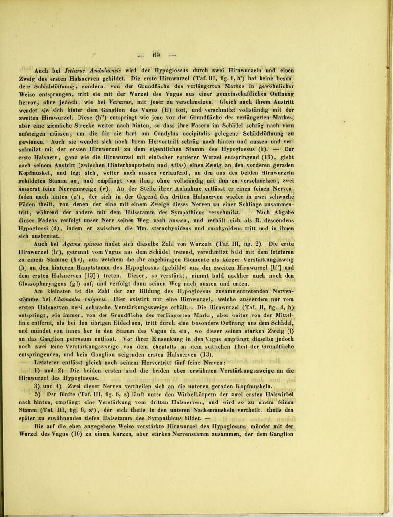 Auch bei Istiurus Amboinensis wird der Hypoglossus durch zwei Hirnwurzeln und einen Zweig des ersten Halsnerven gebildet. Die erste Hirnwurzel (Taf. III, fig. 1, h’) hat keine beson- dere Schädelöffnung, sondern, von der Grundfläche des verlängerten Markes in gewöhnlicher Weise entsprungen, tritt sie mit der Wurzel des Vagus aus einer gemeinschaftlichen Oeffnung hervor, ohne jedoch, wie bei Varanus, mit jener zu verschmelzen. Gleich nach ihrem Austritt wendet sie sich hinter dem Ganglion des Vagus (E) fort, und verschmilzt vollständig mit der zweiten Hirnwurzel. Diese (h”) entspringt wie jene vor der Grundfläche des verlängerten Markes, aber eine ziemliche Strecke weiter nach hinten, so dass ihre Fasern im Schädel schräg nach vorn aufsteigen müssen, um die für sie hart am Condylus occipitalis gelegene Schädelöffnung zu gewinnen. Auch sie wendet sich nach ihrem Hervortritt schräg nach hinten und aussen und ver- schmilzt mit der ersten Hirnwurzel zu dem eigentlichen Stamm des Hypoglossus (h). — Der erste Halsnerv, ganz wie die Hirnwurzel mit einfacher vorderer Wurzel entspringend (13), giebt nach seinem Austritt (zwischen Hinterhauptsbein und Atlas) einen Zweig an den vorderen geraden Kopfmuskel, und legt sich, weiter nach aussen verlaufend, an den aus den beiden Hirnwurzeln gebildeten Stamm an, und empfängt von ihm, ohne vollständig mit ihm zu verschmelzen, zwei äusserst feine Nervenzweige (w). An der Stelle ihrer Aufnahme entlässt er einen feinen Nerven- faden nach hinten (z’) , der sich in der Gegend des dritten Halsnerven wieder in zwei schwache Fäden theilt, von denen der eine mit einem Zweige dieses Nerven zu einer Schlinge Zusammen- tritt, während der andere mit dem Halsstamm des Sympathicus verschmilzt. — Nach Abgabe dieses Fadens verfolgt unser Nerv seinen Weg nach aussen, und verhält sich als R. descendens Hypoglossi (d), indem er zwischen die Mm. sternohyoideus und omohyoideus tritt und in ihnen sich ausbreitet. Auch bei Agama spinosa findet sich dieselbe Zahl von Wurzeln (Taf. III, fig. 2). Die erste Hirnwurzel (h’), getrennt vom Vagus aus dem Schädel tretend, verschmilzt bald mit dem letzteren zu einem Stamme (hv), aus welchem die ihr angehörigen Elemente als kurzer Verstärkungszweig (h) an den hinteren Hauptstamm des Hypoglossus (gebildet aus der zweiten Hirnwurzel [h”J und dem ersten Halsnerven [13]) treten. Dieser, so verstärkt, nimmt bald nachher auch noch den Glossopharyngeus (gl) auf, und verfolgt dann seinen Weg nach aussen und unten. Am kleinsten ist die Zahl der zur Bildung des Hypoglossus zusammentretenden Nerven- stämme bei Cliamaeleo vulgaris. Hier existirt nur eine Hirnwurzel, welche ausserdem nur vom ersten Halsnerven zwei schwache Verstärkungszweige erhält.—Die Hirnwurzel (Taf. II, fig. 4, h) entspringt, wie immer, von der Grundfläche des verlängerten Marks, aber weiter von der Mittel- linieentfernt, als bei den übrigen Eidechsen, tritt durch eine besondere Oeffnung aus dem Schädel, und mündet von innen her in den Stamm des Vagus da ein, wo dieser seinen starken Zweig (1) an das Ganglion petrosum entlässt. Vor ihrer Einsenkung in den Vagus empfängt dieselbe jedoch noch zwei feine Verstärkungszweige von dem ebenfalls an dem seitlichen Theil der Grundfläche entspringenden, und kein Ganglion zeigenden ersten Halsnerven (13). Letzterer entlässt gleich nach seinem Hervortritt fünf feine Nerven: 1) und 2) Die beiden ersten sind die beiden eben erwähnten Verstärkungszweige an die Hirnwurzel des Hypoglossus. 3) und 4) Zwei dieser Nerven vertheilen sich an die unteren geraden Kopfmuskeln. 5) Der fünfte (Taf. III, fig. 6, z) läuft unter den Wirbelkörpern der zwei ersten Halswirbel nach hinten, empfängt eine Verstärkung vom dritten Halsnerven, und wird so zu einem feinen Stamm (Taf. III, fig. 6, z’), der sich theils in den unteren Nackenmuskeln vertheilt, theils den später zu erwähnenden tiefen Halsstamm des Sympathicus bildet. — Die auf die eben angegebene Weise verstärkte Hirnwurzel des Hypoglossus mündet mit der