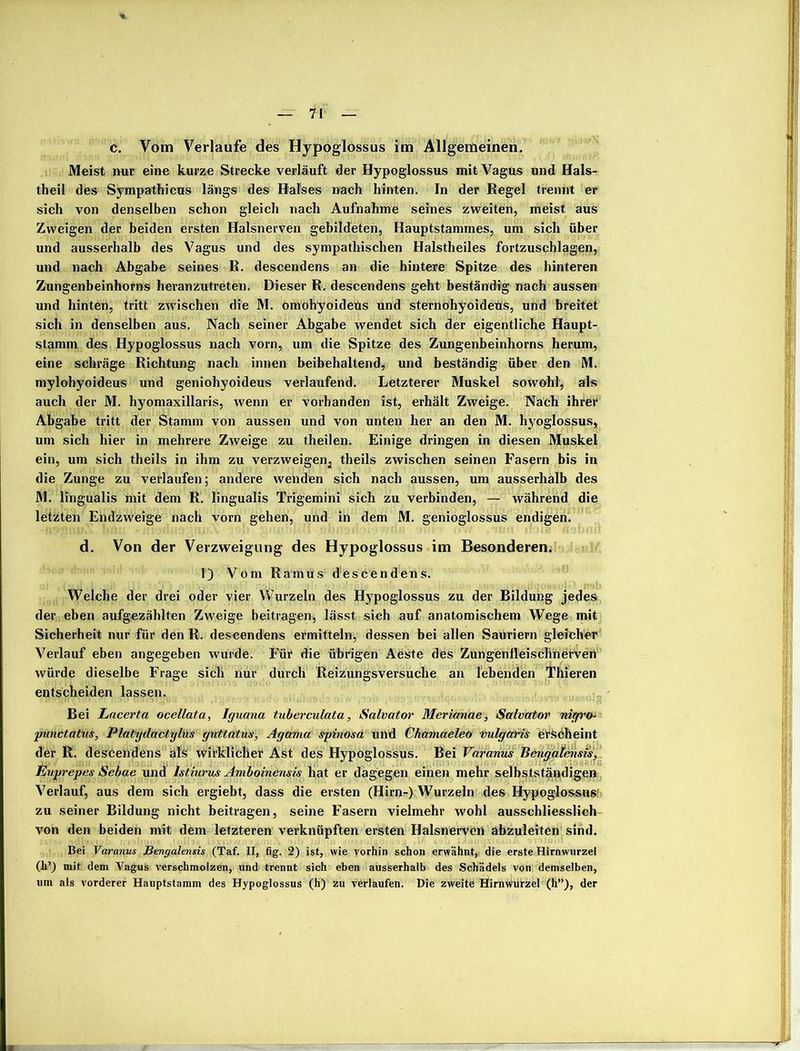 c. Vom Verlaufe des Hypoglossus im Allgemeinen. Meist nur eine kurze Strecke verläuft der Hypoglossus mit Vagus und Hals- theil des Sympathicus längs des Halses nach hinten. In der Regel trennt er sich von denselben schon gleich nach Aufnahme seines zweiten, meist aus Zweigen der beiden ersten Halsnerven gebildeten, Hauptstammes, um sich über und ausserhalb des Vagus und des sympathischen Halstheiles fortzuschlagen, und nach Abgabe seines R. descendens an die hintere Spitze des hinteren Zungenbeinhorns heranzutreten. Dieser R. descendens geht beständig nach aussen und hinten, tritt zwischen die M. omohyoideus und sternohyoideüs, und breitet sich in denselben aus. Nach seiner Abgabe wendet sich der eigentliche Haupt- stamm des Hypoglossus nach vorn, um die Spitze des Zungenbeinhorns herum, eine schräge Richtung nach innen beibehaltend, und beständig über den M. mylohyoideus und geniohyoideus verlaufend. Letzterer Muskel sowohl, als auch der M. hyomaxillaris, wenn er vorhanden ist, erhält Zweige. Nach ihrer Abgabe tritt der Stamm von aussen und von unten her an den M. hyoglossus, um sich hier in mehrere Zweige zu theilen. Einige dringen in diesen Muskel ein, um sich theils in ihm zu verzweiget^ theils zwischen seinen Fasern bis in die Zunge zu verlaufen; andere wenden sich nach aussen, um ausserhalb des M. lingualis mit dem R. lingualis Trigemini sich zu verbinden, — während die letzten Endzweige nach vorn gehen, und in dem M. genioglossus endigen. d. Von der Verzweigung des Hypoglossus im Besonderen. ?) Vom Ramus descendens. Welche der drei oder vier Wurzeln des Hypoglossus zu der Bildung jedes der eben aufgezählten Zweige beitragen, lässt sich auf anatomischem Wege mit Sicherheit nur für den R. descendens ermitteln, dessen bei allen Sauriern gleicher Verlauf eben angegeben wurde. Für die übrigen Aeste des Zungenfleischherven würde dieselbe Frage sich nur durch Reizungsversuche an lebenden Tllieren entscheiden lassen. Bei Lacerta ocellata, Iguana tuberculata, Salvator Merianae, Salvator nigro* punctatus, Platydactylüs guttatus, Agama spinosa und Chamaeleo vulgaris erscheint der R. descendens als wirklicher Ast des Hypoglossus. Bei Varanus Bengatensis, Euprepes Sebae und Istiurus Amboinensis hat er dagegen einen mehr selbstständigen Verlauf, aus dem sich ergiebt, dass die ersten (Hirn-) Wurzeln des Hypoglossus! zu seiner Bildung nicht beitragen, seine Fasern vielmehr wohl ausschliesslich von den beiden mit dem letzteren verknüpften ersten Halsnervert abzuleiten sind. Bei Varanus Bengalensis (Taf. II, fig. 2) ist, wie vorhin schon erwähnt, die erste Hirnwnrzel (h’) mit dem Vagus verschmolzen, und trennt sich eben ausserhalb des Schädels von demselben, um als vorderer Hauptstamm des Hypoglossus (h) zu verlaufen. Die zweite Hirnwtirzel (h”), der