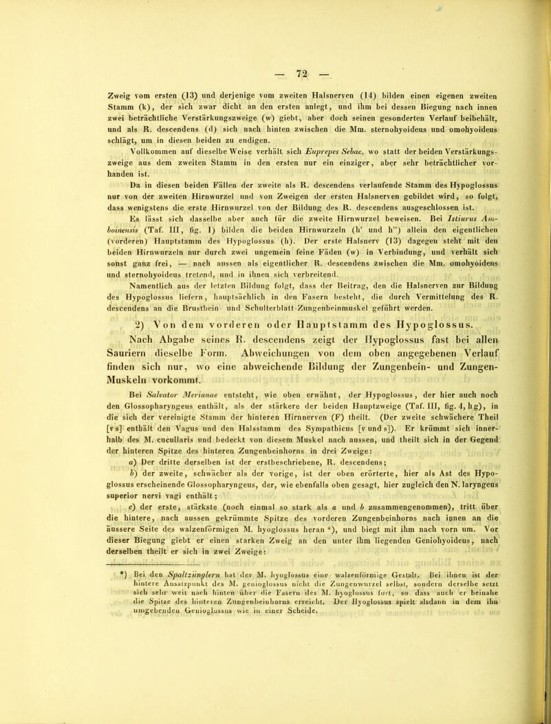 Stamm (k), der sich zwar dicht an den ersten anlegt, und ihm bei dessen Biegung nach innen zwei beträchtliche Verstärkungszweige (w) giebt, aber doch seinen gesonderten Verlauf beibehält, und als R. descendens (d) sich nach hinten zwischen die Mm. sternohyoideus und omohyoideus schlägt, um in diesen beiden zu endigen. Vollkommen auf dieselbe Weise verhält sich Euprepes Sebae, wo statt der beiden Verstärkungs- zweige aus dem zweiten Stamm in den ersten nur ein einziger, abgr sehr beträchtlicher vor- handen ist. Da in diesen beiden Fällen der zweite als R. descendens verlaufende Stamm des Hypoglossus nur von der zweiten Hirnwurzel und von Zweigen der ersten Halsnerven gebildet wird, so folgt, dass wenigstens die erste Hirnwurzel von der Bildung des R. descendens ausgeschlossen ist. Es lässt sich dasselbe aber auch für die zweite Hirnwurzel beweisen. Bei Istiurus Am- boinensis (Taf. III, fig. 1) bilden die beiden Hirnwurzeln (li’ und h”) allein den eigentlichen (vorderen) Hauptstamm des Hypoglossus (h). Der erste Halsnerv (13) dagegen steht mit den beiden Hirnwurzeln nur durch zwei ungemein feine Fäden (w) in Verbindung, und verhält sich sonst ganz frei, — nach aussen als eigentlicher R. descendens zwischen die Mm. omohyoideus und sternohyoideus tretend, und in ihnen sich verbreitend. Namentlich aus der letzten Bildung folgt, dass der Beitrag, den die Halsnerven zur Bildung des Hypoglossus liefern, hauptsächlich in den Fasern besteht, die durch Vermittelung des R. descendens an die Brustbein und Schulterblatt-Zungenbeinmuskel geführt werden. 2) Von dem vorderen oder Hanptstamm des Hypoglossus. Nach Abgabe seines R. descendens zeigt der Hypoglossus fast bei allen Sauriern dieselbe Form. Abweichungen von dem oben angegebenen Verlauf finden sich nur, wo eine abweichende Bildung der Zungenbein- und Zungen- Muskeln vorkommt. Bei Salvator Merianae entsteht, wie oben erwähnt, der Hypoglossus, der hier auch noch den Glossopharyngeus enthält, als der stärkere der beiden Hauptzweige (Taf. III, fig. 4, hg), in die sich der vereinigte Stamm der hinteren Hirnnerven (F) theilt. (Der zweite schwächere Theil [vs] enthält den Vagus und den Halsstamm des Sympathicus [v und s]). Er krümmt sich inner- halb des M. cucullaris und bedeckt von diesem Muskel nach aussen, und theilt sich in der Gegend der hinteren Spitze des hinteren Zungenbeinhorns in drei Zweige: a) Der dritte derselben ist der erstbeschriebene, R. descendens; l>) der zweite, schwächer als der vorige, ist der oben erörterte, hier als Ast des Hypo- glossus erscheinende Glossopharyngeus, der, wie ebenfalls oben gesagt, hier zugleich den N. laryngeus superior nervi vagi enthält; c) der erste, stärkste (noch einmal so stark als a und b zusammengenommen), tritt über die hintere, nach aussen gekrümmte Spitze des vorderen Zungenbeinhorns nach ionen an die äussere Seite des walzenförmigen M. hyoglossus heran *), und biegt mit ihm nach vorn um. Vor dieser Biegung giebt er einen starken Zweig an den unter ihm liegenden Geniohyoideus, nach derselben theilt er sich in zwei Zweige: *) Bei den Spaltzünglern bat der M. hyoglossus eine walzenförmige Gestalt. Bei ihnen ist der hintere Ansatzpunkt des M. genioglossus nicht die Zungenwurzel selbst, sondern derselbe setzt sich sehr weil nach hinten über die Fasern des M. hyoglossus fort, so dass auch er beinahe die Spitze des hinteren Zungenbeinhorns erreicht. Der Hyoglossus spielt alsdann in dem ihn umgebenden Geuioglossus wie in einer Scheide.
