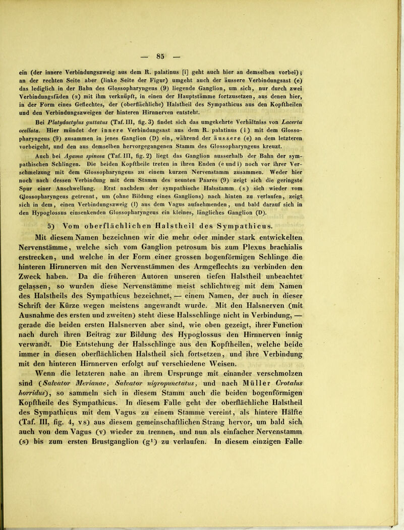 ein (der innere Verbindungszweig aus dem R. palatinus [i] geht auch hier an demselben vorbei); an der rechten Seite aber (linke Seite der Figur) umgeht auch der äussere Verbindungsast (e) das lediglich in der Bahn des Glossopharyngeus (9) liegende Ganglion, um sich, nur durch zwei Verbindungsfäden (a) mit ihm verknüpft, in einen der Hauptstämme fortzusetzen, aus denen hier, in der Form eines Geflechtes, der (oberflächliche) Halstheil des Sympathicus aus den Kopftheilen und den Verbindungszweigen der hinteren Hirnnerven entsteht. Bei Platydactylus guttatus (Taf. III, fig. 3) findet sich das umgekehrte Verhältniss von Lacerta ocellata. Hier mündet der innere Verbindungsast aus dem R. palatinus (i) mit dem Glosso- pharyngeus (9) zusammen in jenes Ganglion (D) ein, während der äussere (e) an dem letzteren vorbeigeht, und den aus demselben hervorgegangenen Stamm des Glossopharyngeus kreuzt. Auch bei Agama spinosa (Taf. III, fig. 2) liegt das Ganglion ausserhalb der Bahn der sym- pathischen Schlingen. Die beiden Kopftheile treten in ihren Enden (e und i) noch vor ihrer Ver- schmelzung mit dem Glossopharyngeus zu einem kurzen Nervenstamm zusammen. Weder hier noch nach dessen Verbindung mit dem Stamm des neunten Paares (9) zeigt sich die geringste Spur einer Anschwellung. Erst nachdem der sympathische Halsstamm (s) sich wieder vom Glossopharyngeus getrennt, um (ohne Bildung eines Ganglions) nach hinten zu verlaufen, zeigt sich in dem, einen Verbindungszweig (1) aus dem Vagus aufnehmenden, und bald darauf sich in den Hypoglossus einsenkenden Glossopharyngeus ein kleines, längliches Ganglion (D). 5) Vom oberflächlichen Halstheil des Sympathicus. Mit diesem Namen bezeichnen wir die mehr oder minder stark entwickelten Nervenstämme, welche sich vom Ganglion petrosum bis zum Plexus brachialis erstrecken, und welche in der Form einer grossen bogenförmigen Schlinge die hinteren Hirnnerven mit den Nervenstämmen des Armgeflechts zu verbinden den Zweck haben. Da die früheren Autoren unseren tiefen Halstheil unbeachtet gelassen, so wurden diese Nervenstämme meist schlichtweg mit dem Namen des Halstheils des Sympathicus bezeichnet, — einem Namen, der auch in dieser Schrift der Kürze wegen meistens angewandt wurde. Mit den Halsnerven (mit Ausnahme des ersten und zweiten) steht diese Halsschlinge nicht in Verbindung, — gerade die beiden ersten Halsnerven aber sind, wie oben gezeigt, ihrer Function nach durch ihren Beitrag zur Bildung des Hypoglossus den Hirnnerven innig verwandt. Die Entstehung der Halsschlinge aus den Kopftheilen, welche beide immer in diesen oberflächlichen Halstheil sich fortsetzen, und ihre Verbindung mit den hinteren Hirnnerven erfolgt auf verschiedene Weisen. Wenn die letzteren nahe an ihrem Ursprünge mit einander verschmolzen sind (Salvator Merianae, Salvator nigropunctatus, und nach Müller Crotalus horridus), so sammeln sich in diesem Stamm auch die beiden bogenförmigen Kopftheile des Sympathicus. In diesem Falle geht der oberflächliche Halstheil des Sympathicus mit dem Vagus zu einem Stamme vereint, als hintere Hälfte (Taf. III, fig. 4, vs) aus diesem gemeinschaftlichen Strang hervor, um bald sich auch von dem Vagus (v) wieder zu trennen, und nun als einfacher Nervenstamm (s) bis zum ersten Brustganglion (g1) zu verlaufen. In diesem einzigen Falle
