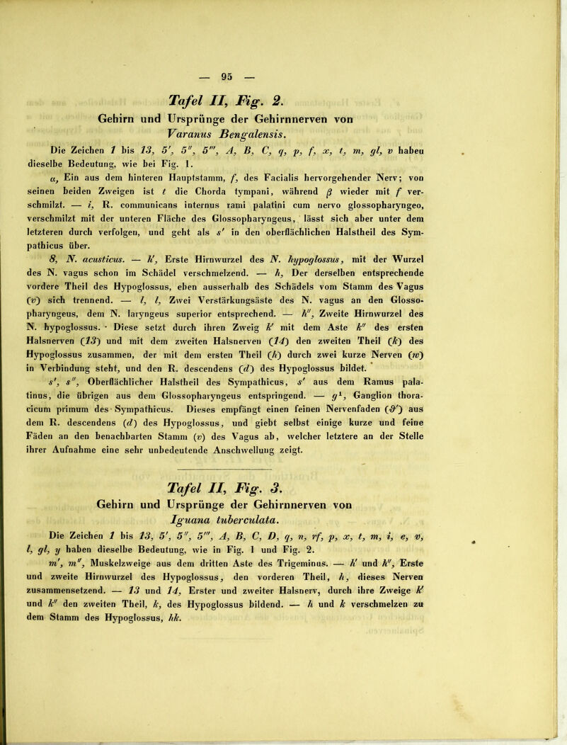 Tafel II, Fig. 2. Gehirn und Ursprünge der Gehirnnerven von Varanus Bengalensis. Die Zeichen 1 bis 13, 5', 5, 5', A, B, C, q, p, f, x, t. m, gl, v haben dieselbe Bedeutung, wie bei Fig. I. a. Ein aus dem hinteren Hauptstamm, f, des Facialis hervorgehender Nerv; von seinen beiden Zweigen ist t die Chorda tympani, während ß wieder mit f ver- schmilzt. — i, R. communicans internus rami palatini cum nervo glossopharyngeo, verschmilzt mit der unteren Fläche des Glossopharyngeus, lässt sich aber unter dem letzteren durch verfolgen, und geht als s' in den oberflächlichen Halstheil des Sym- pathicus über. 8, N. acusticus. — h'. Erste Hirnwurzel des N. hypoglossus, mit der Wurzel des N. vagus schon im Schädel verschmelzend. — h. Der derselben entsprechende vordere Theil des Hypoglossus, eben ausserhalb des Schädels vom Stamm des Vagus (’v) sich trennend. — l, l. Zwei Verstärkungsäste des N. vagus an den Glosso- pharyngeus, dem N. laryngeus superior entsprechend. — h, Zweite Hirnwurzel des N. hypoglossus. * Diese setzt durch ihren Zweig K mit dem Aste k des ersten Halsnerven (13) und mit dem zweiten Halsnerven (14) den zweiten Theil (&) des Hypoglossus zusammen, der mit dem ersten Theil (A) durch zwei kurze Nerven (ro) in Verbindung steht, und den R. descendens (d) des Hypoglossus bildet. sr, s. Oberflächlicher Halstheil des Sympathicus, s' aus dem Ramus pala- tinus, die übrigen aus dem Glossopharyngeus entspringend. — gl, Ganglion thora- cicum primum des -Sympathicus. Dieses empfängt einen feinen Nervenfaden (<0-') aus dem R. descendens (e?) des Hypoglossus, und giebt selbst einige kurze und feine Fäden an den benachbarten Stamm (v) des Vagus ab, welcher letztere an der Stelle ihrer Aufnahme eine sehr unbedeutende Anschwellung zeigt. Tafel II, Fig. S. Gehirn und Ursprünge der Gehirnnerven von Iguana tuberculata. Die Zeichen 1 bis 13, 5', 5, 5', A, B, C, D, q, n, rf, p, x, t, m, i, e, v, l, gl, y haben dieselbe Bedeutung, wie in Fig. 1 und Fig. 2. m', m, Muskelzweige aus dem dritten Aste des Trigeminus. — K und h. Erste und zweite Hirnwurzel des Hypoglossus, den vorderen Theil, h, dieses Nerven zusammensetzend. — 13 und 14, Erster und zweiter Halsnerv, durch ihre Zweige kf und k den zweiten Theil, k, des Hypoglossus bildend. — h und k verschmelzen zu dem Stamm des Hypoglossus, hk.