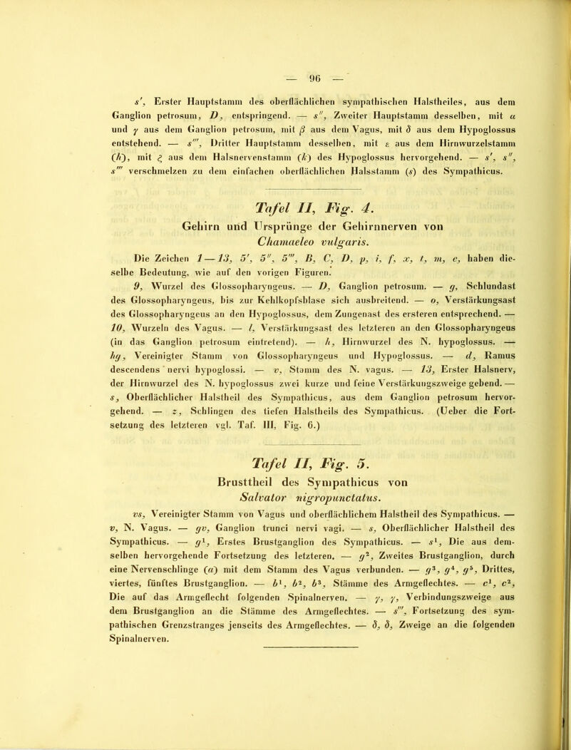 s', Erster Hauptstamm des oberflächlichen sympathischen Halstheiles, aus dem Ganglion petrosum, D, entspringend. — s, Zweiter Hauptstamm desselben, mit « und y aus dem Ganglion petrosum, mit ß aus dem Vagus, mit 8 aus dem Hypoglossus entstehend. — s', Dritter Hauptstamm desselben, mit e aus dem Hirnwurzelstamm (Ji), mit ^ aus dem Halsnervenstamm (Je) des Hypoglossus hervorgehend. — s', s, sm verschmelzen zu dem einfachen oberflächlichen Halsstamm ($) des Sympathicus. Tafel II, Fig. 4. Gehirn und Ursprünge der Gehirnnerven von Chamaeleo vulgaris. Die Zeichen 1—13, 5', 5, 5', B, C, D, p, i, f, x, t, m, e, haben die- selbe Bedeutung, wie auf den vorigen Figuren. 9, Wurzel des Glossopharyngeus. — D, Ganglion petrosum. — g, Schlundast des Glossopharyngeus, bis zur Kehlkopfsblase sich ausbreitend. — o, Verstärkungsast des Glossopharyngeus an den Hypoglossus, dem Zungenast des ersteren entsprechend. — 10, Wurzeln des Vagus. — l, Verstärkungsast des letzteren an den Glossopharyngeus (in das Ganglion petrosum eintretend). — Ji, Hirnwurzel des N. hypoglossus. — hg. Vereinigter Stamm von Glossopharyngeus und Hypoglossus. — d, Ramus descendens' nervi hypoglossi. — v, Stamm des N. vagus. — 13, Erster Halsnerv, der Hirnwurzel des N. hypoglossus zwei kurze und feine Verstärkungszweige gebend.— s. Oberflächlicher Halstheil des Sympathicus, aus dem Ganglion petrosum hervor- gehend. — z, Schlingen des tiefen Halstheils des Sympathicus. . (Ueber die Fort- setzung des letzteren vgl. Taf. 111, Fig. 6.) Tafel II, Fig. 5. Brusttheil des Sympathicus von Salvator nigropunctatus. VS, Vereinigter Stamm von Vagus und oberflächlichem Halstheil des Sympathicus. — v, N. Vagus. — gv, Ganglion trunci nervi vagi. — s, Oberflächlicher Halstheil des Sympathicus. — gl, Erstes Brustganglion des Sympathicus. — sl, Die aus dem- selben hervorgehende Fortsetzung des letzteren. — g*, Zweites Brustganglion, durch eine Nervenschlinge (a) mit dem Stamm des Vagus verbunden. — g3, g4, gs, Drittes, viertes, fünftes Brustganglion. — bl, h2, bs, Stämme des Armgeflechtes. — c1, c1. Die auf das Armgeflecht folgenden Spinalnerven. — y, y, Verbindungszweige aus dem Brustganglion an die Stämme des Armgeflechtes. — s', Fortsetzung des sym- pathischen Grenzstranges jenseits des Armgeflechtes. — 8, 8, Zweige an die folgenden Spinalnerven.
