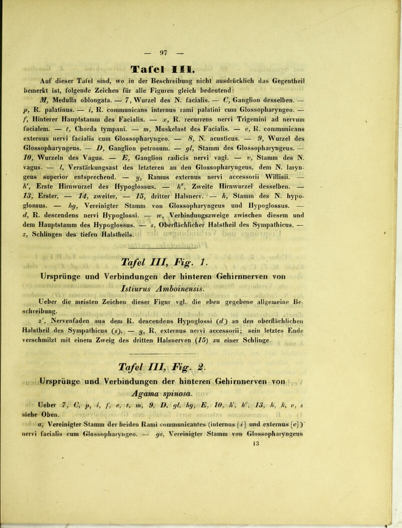 Tafel III, Auf dieser Tafel sind, wo in der Beschreibung nicht ausdrücklich das Gegentheii bemerkt ist, folgende Zeichen für alle Figuren gleich bedeutend: M, Medulla oblongata, — 7, Wurzel des N. facialis. — C, Ganglion desselben. — p, R. palatinus. — i, R. communicans internus rami palatini cum Glossopharyngeo. — f, Hinterer Hauptstamm des Facialis. — x, R. recurrens nervi Trigemini ad nervum facialem. — t, Chorda tympani. — m, Muskelast des Facialis. — e, R. communicans externus nervi facialis cum Glossopharyngeo. — 8, N. acusticus. — 9, Wurzel des Glossopharyngeus. — D, Ganglion petrosum. — gl, Stamm des Glossopharyngeus. — 10, Wurzeln des Vagus. — E, Ganglion radicis nervi vagi. — v, Stamm des N. vagus. — l, Verstärkungsast des letzteren an den Glossopharyngeus, dem N. Jaryn- geus superior entsprechend. — y, Ramus externus nervi accessorii Willisii. — h', Erste Hirnwurzel des Hypoglossus. — h, Zweite Hirnwurzel desselben. — 13, Erster, — 14, zweiter, — 15, dritter Halsnerv. — h, Stamm des N. hypo- glossus. — hg, Vereinigter Stamm von Glossopharyngeus und Hypoglossus. — d, R. descendens nervi Hypoglossi. --=7- w, Verbindungszweige zwischen diesem und dem Hauptstamm des Hypoglossus. — s. Oberflächlicher Halstheil des Sympathicus. — z, Schlingen des tiefen Halstheils. Tafel III, Fig. 1. Ursprünge und Verbindungen der hinteren Gehirnnerven von Istiurus Amboinensis. Ueber die meisten Zeichen dieser Figur vgl. die eben gegebene allgemeine Be- schreibung. z', Nervenfaden aus dem R. descendens Hypoglossi (d~) an den oberflächlichen Halstheil des Sympathicus (s), — y, R. externus nervi accessorii; sein letztes Ende verschmilzt mit einem Zweig des dritten Halsnerven (15) zu einer Schlinge. Tafel III, Fig. 2. Ursprünge und Verbindungen der hinteren Gehirnnerven von Agama spinosa. Ueber 7, C, p, i, f, e, t, m, 9, D, gl, hg, E, 10, K, h!', 13, li, k, v, s siehe Oben. a, Vereinigter Stamm der beiden Rami communicantes (internus [«] und externus [e])' nervi facialis cum Glossopharyngeo. ■— gs, Vereinigter Stamm von Glossopharyngeus 13