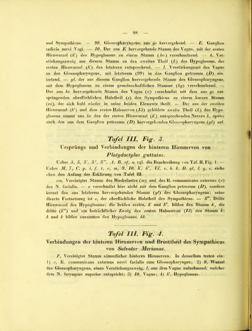 und Sympathicus. — 99, Glossopharyngeus, aus gs hervorgehend. — E, Ganglion radicis nervi Vagi. — 10, Der aus E hervorgehende Stamm des Vagus, mit der ersten Hirnwurzel (E) des Hypoglossus zu einem Stamm (hv) verschmelzend. — /<, Ver- stärkungszweig aus diesem Stamm an den zweiten Theil (k) des Hypoglossus, der ersten Hirnwurzel (E) des letzteren entsprechend. — l, Verstärkungsast des Vagus an den Glossopharyngeus, mit letzterem (99) io das Ganglion petrosum (D) ein- tretend. — gl, der aus diesem Ganglion hervorgehende Stamm des Glossopharyngeus, mit dem Hypoglossus zu einem gemeinschaftlichen Stamme (hg) verschmelzend. — Der aus hv hervorgehende Stamm des Vagus (v) verschmilzt mit dem aus gs ent- springenden oberflächlichen Halstheil O) des Sympathicus zu einem kurzen Stamm (vs), der sich bald wieder in seine beiden Elemente theilt. — Der aus der zweiten Hirnwurzel (h) und dem ersten Halsnerven (13) gebildete zweite Theil (k) des Hypo- glossus nimmt aus hv den der ersten Hirnwurzel (E) entsprechenden Nerven h, später auch den aus dem Ganglion petrosum (D) hervorgehenden Glossopharyngeus (gl) auf. Tafel III, Fig. 3. Ursprünge und Verbindungen der hinteren Hirnnerven von Platydactylus guttatus. Ueber 3, 5, 5', 5, 5’, A, B, rf, n vgl. die Beschreibung von Taf. II, Fig. I.— lieber 31, 7, C, p, i, f, t, e, m, 9, 10, E, h!', 13, v, h, k, D, gl, l, y, s, siehe oben den Anfang der Erklärung von Tafel III. em. Vereinigter Stamm des Muskelastes (m) und des R. communicans externus (e) des N. facialis. — e verschmilzt hier nicht mit dem Ganglion petrosum (D), sondern kreuzt den aus letzterem hervorgehenden Stamm (gl) des Glossopharyngeus; seine directe Fortsetzung ist s, der oberflächliche Halstheil des Sympathicus. — U, Dritte Hirnwurzel des Hypoglossus; die beiden ersten, E und E', bilden den Stamm h, die dritte (//') und ein beträchtlicher Zweig des ersten Halsnerven {13) den Stamm k\ h und k bilden zusammen den Hypoglossus, hk. Tafel Ilf Fig. 4. Verbindungen der hinteren Hirnnerven und Brusttheil des Sympathicus von Salvator Merianae. F, Vereinigter Stamm sämmtlicher hinteren Hirnnerven. In denselben treten ein: 1) e, R. communicans externus nervi facialis cum Glossopharyngeo; 2) 9, Wurzel des Glossopharyngeus, einen Verstärkungszweig, l, aus dem Vagus aufnehmend, welcher dem N. laryngeus superior entspricht; 3) 10, Vagus; 4) E, Hypoglossus.