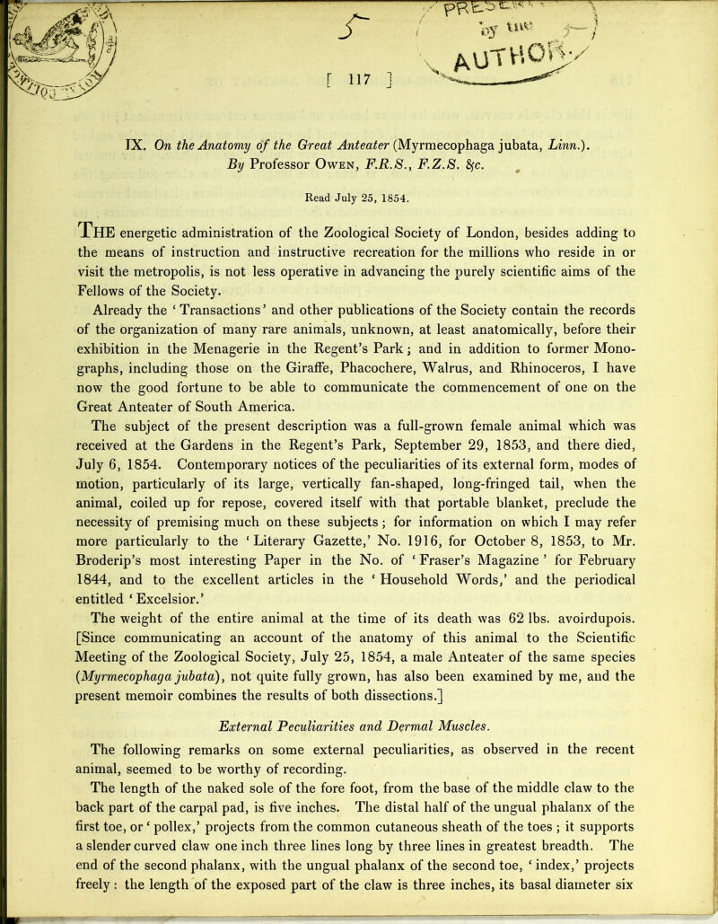 IX. On the Anatomy of the Great Anteater (Myrmecophaga jubata, Linn.). By Professor Owen, F.R.S., F.Z.S. fyc. Read July 25, 1854. The energetic administration of the Zoological Society of London, besides adding to the means of instruction and instructive recreation for the millions who reside in or visit the metropolis, is not less operative in advancing the purely scientific aims of the Fellows of the Society. Already the ‘ Transactions ’ and other publications of the Society contain the records of the organization of many rare animals, unknown, at least anatomically, before their exhibition in the Menagerie in the Regent’s Park; and in addition to former Mono- graphs, including those on the Giraffe, Phacochere, Walrus, and Rhinoceros, I have now the good fortune to be able to communicate the commencement of one on the Great Anteater of South America. The subject of the present description was a full-grown female animal which was received at the Gardens in the Regent’s Park, September 29, 1853, and there died, July 6, 1854. Contemporary notices of the peculiarities of its external form, modes of motion, particularly of its large, vertically fan-shaped, long-fringed tail, when the animal, coiled up for repose, covered itself with that portable blanket, preclude the necessity of premising much on these subjects; for information on which I may refer more particularly to the ‘Literary Gazette,’ No. 1916, for October 8, 1853, to Mr. Broderip’s most interesting Paper in the No. of ‘ Fraser’s Magazine ’ for February 1844, and to the excellent articles in the ‘ Household Words,’ and the periodical entitled ‘Excelsior.’ The weight of the entire animal at the time of its death was 62 lbs. avoirdupois. [Since communicating an account of the anatomy of this animal to the Scientific Meeting of the Zoological Society, July 25, 1854, a male Anteater of the same species (Myrmecophaga jubata), not quite fully grown, has also been examined by me, and the present memoir combines the results of both dissections.] External Peculiarities and Dermal Muscles. The following remarks on some external peculiarities, as observed in the recent animal, seemed to he worthy of recording. The length of the naked sole of the fore foot, from the base of the middle claw to the back part of the carpal pad, is five inches. The distal half of the ungual phalanx of the first toe, or ‘ pollex,’ projects from the common cutaneous sheath of the toes ; it supports a slender curved claw one inch three lines long by three lines in greatest breadth. The end of the second phalanx, with the ungual phalanx of the second toe, ‘ index,’ projects freely : the length of the exposed part of the claw is three inches, its basal diameter six