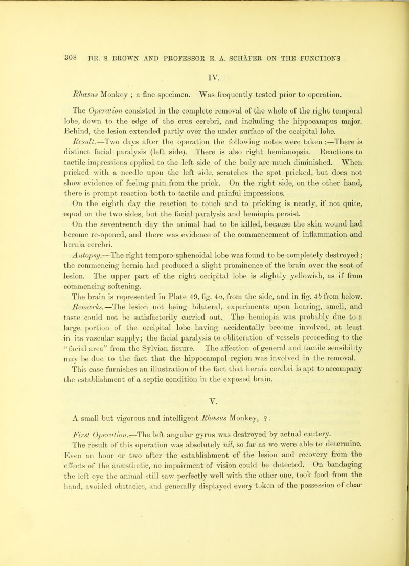IY. Rhcesus Monkey ; a fine specimen. Was frequently tested prior to operation. The Operation consisted in the complete removal of the whole of the right temporal lobe, down to the edge of the crus cerebri, and including the hippocampus major. Behind, the lesion extended partly over the under surface of the occipital lobe. Result.—Two days after the operation the following notes were taken:—There is distinct facial paralysis (left side). There is also right hemianopsia. Reactions to tactile impressions applied to the left side of the body are much diminished. When pricked with a needle upon the left side, scratches the spot pricked, but does not show evidence of feeling pain from the prick. On the right side, on the other hand, there is prompt reaction both to tactile and painful impressions. On the eighth day the reaction to touch and to pricking is nearly, if not quite, equal on the two sides, but the facial paralysis and hemiopia persist. On the seventeenth day the animal had to be killed, because the skin wound had become re-opened, and there was evidence of the commencement of inflammation and hernia cerebri. Autopsy.—The right temporo-sphenoidal lobe was found to be completely destroyed ; the commencing hernia had produced a slight prominence of the brain over the seat of lesion. The upper part of the right occipital lobe is slightly yellowish, as if from commencing softening. The brain is represented in Plate 49, fig. 4a, from the side, and in fig. 4b from below. Remarks.—The lesion not being bilateral, experiments upon hearing, smell, and taste could not be satisfactorily carried out. The hemiopia was probably due to a large portion of the occipital lobe having accidentally become involved, a.t least in its vascular supply; the facial paralysis to obliteration of vessels proceeding to the “facial area” from the Sylvian fissure. The affection of general and tactile sensibility may be due to the fact that the hippocampal region was involved in the removal. This case furnishes an illustration of the fact that hernia cerebri is apt to accompany the establishment of a septic condition in the exposed brain. V. A small but vigorous and intelligent Rhcesus Monkey, ?. First Operation.—The left angular gyrus was destroyed by actual cautery. The result of this operation was absolutely nil, so far as we were able to determine. Even an hour or two after the establishment of the lesion and recovery from the effects of the anaesthetic, no impairment of vision could be detected. On bandaging the left eye the animal still saw perfectly well with the other one, took food from the hand, avoided obstacles, and generally displayed every token of the possession of clear