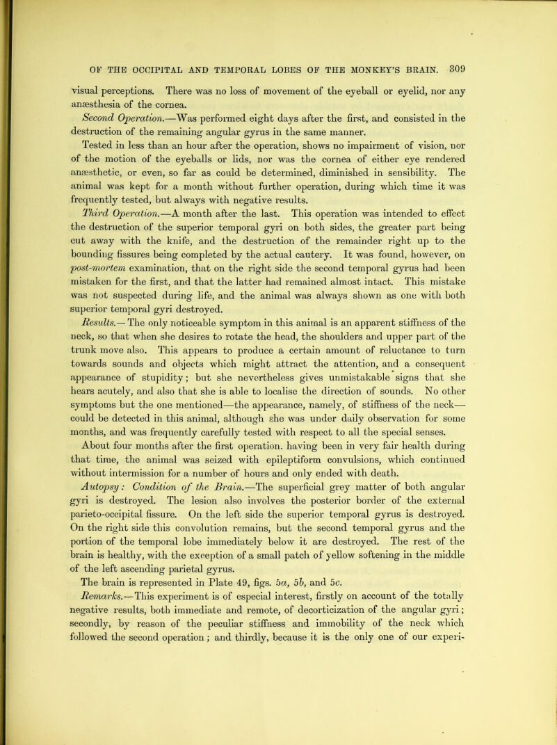 visual perceptions. There was no loss of movement of the eyeball or eyelid, nor any anaesthesia of the cornea. Second Operation.—Was performed eight days after the first, and consisted in the destruction of the remaining angular gyrus in the same manner. Tested in less than an hour after the operation, shows no impairment of vision, nor of the motion of the eyeballs or lids, nor was the cornea of either eye rendered anaesthetic, or even, so far as could be determined, diminished in sensibility. The animal was kept for a month without further operation, during which time it was frequently tested, but always with negative results. Third Operation.—A month after the last. This operation was intended to effect the destruction of the superior temporal gyri on both sides, the greater part being cut away with the knife, and the destruction of the remainder right up to the bounding fissures being completed by the actual cautery. It was found, however, on post-mortem examination, that on the right side the second temporal gyrus had been mistaken for the first, and that the latter had remained almost intact. This mistake was not suspected during life, and the animal was always shown as one with both superior temporal gyri destroyed. Results.— The only noticeable symptom in this animal is an apparent stiffness of the neck, so that when she desires to rotate the head, the shoulders and upper part of the trunk move also. This appears to produce a certain amount of reluctance to turn towards sounds and objects which might attract the attention, and a consequent appearance of stupidity; but she nevertheless gives unmistakable signs that she hears acutely, and also that she is able to localise the direction of sounds. No other symptoms but the one mentioned—the appearance, namely, of stiffness of the neck— could be detected in this animal, although she was under daily observation for some months, and was frequently carefully tested with respect to all the special senses. About four months after the first operation, having been in very fair health during that time, the animal was seized with epileptiform convulsions, which continued without intermission for a number of hours and only ended with death. Autopsy: Condition of the Brain.—The superficial grey matter of both angular gyri is destroyed. The lesion also involves the posterior border of the external parieto-occipital fissure. On the left side the superior temporal gyrus is destroyed. On the right side this convolution remains, but the second temporal gyrus and the portion of the temporal lobe immediately below it are destroyed. The rest of the brain is healthy, with the exception of a small patch of yellow softening in the middle of the left ascending parietal gyrus. The brain is represented in Plate 49, figs. 5a, 56, and 5c. Remarks.—This experiment is of especial interest, firstly on account of the totally negative results, both immediate and remote, of decorticization of the angular gyri; secondly, by reason of the peculiar stiffness and immobility of the neck which followed the second operation; and thirdly, because it is the only one of our experi-