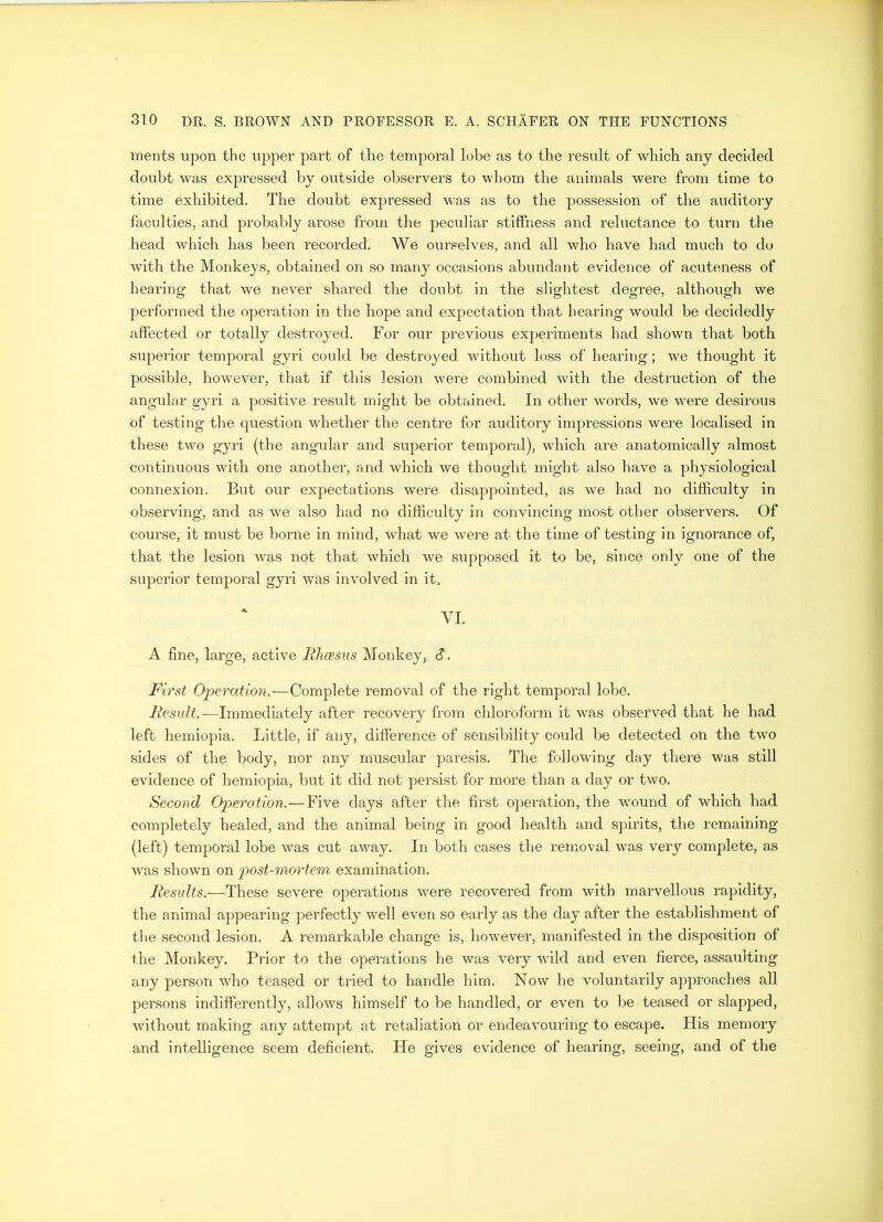 ments upon the upper part of the temporal lobe as to the result of which any decided doubt was expressed by outside observers to whom the animals were from time to time exhibited. The doubt expressed, was as to the possession of the auditory faculties, and probably arose from the peculiar stiffness and reluctance to turn the head which has been recorded. We ourselves, and all who have had much to do with the Monkeys, obtained on so many occasions abundant evidence of acuteness of hearing that we never shared the doubt in the slightest degree, although we performed the operation in the hope and expectation that hearing would be decidedly affected or totally destroyed. For our previous experiments had shown that both superior temporal gyri could be destroyed without loss of hearing; we thought it possible, however, that if this lesion were combined with the destruction of the angular gyri a positive result might be obtained. In other words, we were desirous of testing the question whether the centre for auditory impressions were localised in these two gyri (the angular and superior temporal), which are anatomically almost continuous with one another, and which we thought might also have a physiological connexion. But our expectations were disappointed, as we had no difficulty in observing, and as we also had no difficulty in convincing most other observers. Of course, it must be borne in mind, what we were at the time of testing in ignorance of, that the lesion was not that which we supposed it to be, since only one of the superior temporal gyri was involved in it, VI. A fine, large, active Rhcesus Monkey, S. First Operation.—Complete removal of the right temporal lobe. Result.—Immediately after recovery from chloroform it was observed that he had left hemiopia. Little, if any, difference of sensibility could be detected on the two sides of the body, nor any muscular paresis. The following day there was still evidence of hemiopia, but it did not persist for more than a day or two. Second Operation.—Five days after the first operation, the wound of which had completely healed, and the animal being in good health and spirits, the remaining (left) temporal lobe was cut away. In both cases the removal was very complete, as was shown on post-mortem examination. Results.—These severe operations were recovered from with marvellous rapidity, the animal appearing perfectly well even so early as the day after the establishment of the second lesion. A remarkable change is, however, manifested in the disposition of the Monkey. Prior to the operations he was very wild and even fierce, assaulting any person who teased or tried to handle him. Now he voluntarily approaches all persons indifferently, allows himself to be handled, or even to be teased or slapped, without making any attempt at retaliation or endeavouring to escape. His memory and intelligence seem deficient. He gives evidence of hearing, seeing, and of the