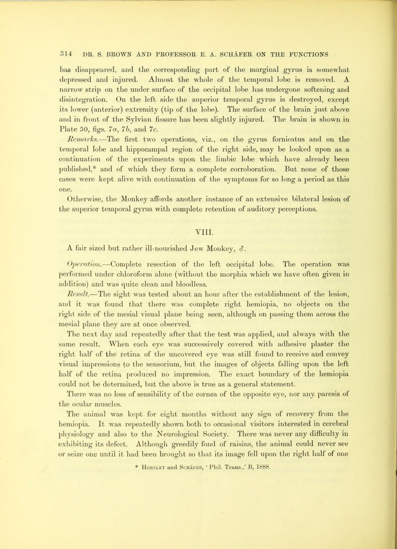 has disappeared, and the corresponding part of the marginal gyrus is somewhat depressed and injured. Almost the whole of the temporal lobe is removed. A narrow strip on the under surface of the occipital lobe has undergone softening and disintegration. On the left side the superior temporal gyrus is destroyed, except its lower (anterior) extremity (tip of the lobe). The surface of the brain just above and in front of the Sylvian fissure has been slightly injured. The brain is shown in Plate 50, figs. 7 a, 7b, and 7c. Remarks.—The first two operations, viz., on the gyrus fornicatus and on the temporal lobe and hippocampal region of the right side, may be looked upon as a continuation of the experiments upon the limbic lobe which have already been published,* and of which they form a complete corroboration. But none of those cases were kept alive with continuation of the symptoms for so long a period as this one. Otherwise, the Monkey affords another instance of an extensive bilateral lesion of the superior temporal gyrus with complete retention of auditory perceptions. VIII. A fair sized but rather ill-nourished Jew Monkey, d. Operation.—Complete resection of the left occipital lobe. The operation was performed under chloroform alone (without the morphia which we have often given in addition) and was quite clean and bloodless. Result.—The sight was tested about an hour after the establishment of the lesion, and it was found that there was complete right hemiopia, no objects on the right side of the mesial visual plane being seen, although on passing them across the mesial plane they are at once observed. The next day and repeatedly after that the test was applied, and always with the same result. When each eye was successively covered with adhesive plaster the right half of the retina of the uncovered eye was still found to receive and convey visual impressions fo the sensorium, but the images of objects falling upon the left half of the reting, produced no impression. The exact boundary of the hemiopia could not be determined, but the above is true as a general statement. There was no loss of sensibility of the cornea of the opposite eye, nor any. paresis of the ocular muscles. The animal was kept for eight months without any sign of recovery from the hemiopia. It was repeatedly shown both to occasional visitors interested in cerebral physiology and also to the Neurological Society. There was never any difficulty in exhibiting its defect. Although greedily fond of raisins, the animal could never see or seize one until it had been brought so that its image fell upon the right half of one * Horsley and Schafer, ‘ Phil. Trans.,’ B, 1888.