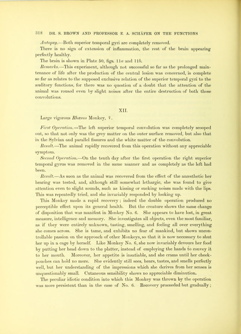 Autopsy.—Both superior temporal gyri are completely removed. There is no sign of extension of inflammation, the rest of the brain appearing perfectly healthy. The brain is shown in Plate 50, figs. 11a and 116. Remarks.—This experiment, although not successful so far as the prolonged main- tenance of life after the production of the central lesion was concerned, is complete so far as relates to the supposed exclusive relation of the superior temporal gyri to the auditory functions, for there was no question of a doubt that the attention of the animal was roused even by slight noises after the entire destruction of both those convolutions. XII. Large vigorous Rhcesus Monkey, ?. First Operation.—The left superior temporal convolution was completely scooped out, so that not only was the grey matter on the outer surface removed, but also that in the Sylvian and parallel fissures and the white matter of the convolution. Result.—The animal rapidly recovered from this operation without any appreciable symptom. Second Operation.—On the tenth day after the first operation the right superior temporal gyrus was removed in the same manner and as completely as the left had been. Result.—As soon as the animal was recovered from the effect of the anaesthetic her hearing was tested, and, although still somewhat lethargic, she was found to give attention even to slight sounds, such as kissing or sucking noises made with the lips. This was repeatedly tried, and she invariably responded by looking up. This Monkey made a rapid recovery ; indeed the double operation produced no perceptible effect upon its general health. But the creature shows the same change of disposition that was manifest in Monkey No. 6. She appears to have lost, in great measure, intelligence and memory. She investigates all objects, even the most familiar, as if they were entirely unknown, tasting, smelling, and feeling all over everything she comes across. She is tame, and exhibits no fear of mankind, but shows uncon- trollable passion on the approach of other Monkeys, so that it is now necessary to shut her up in a cage by herself. Like Monkey No. 6, she now invariably devours her food by putting her head down to the platter, instead of employing the hands to convey it to her mouth. Moreover, her appetite is insatiable, and she crams until her cheek- pouches can hold no more. She evidently still sees, hears, tastes, and smells perfectly well, but her understanding of the impressions which she derives from her senses is unquestionably small. Cutaneous sensibility shows no appreciable diminution. The peculiar idiotic condition into which this Monkey was thrown by the operation was more persistent than in the case of No. 6. Recovery proceeded but gradually;