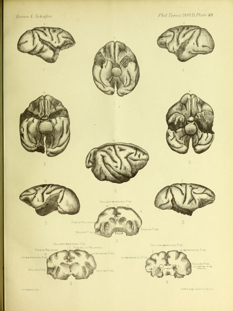 E PFRANCE DEL Litli.& Imp. CamV Sci Jri.st.Co.