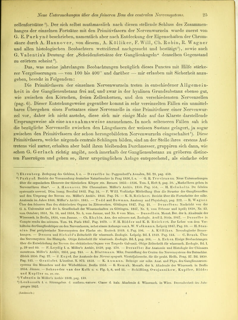 zellenfortsätze 4). Der sich selbst muthmasslich nach diesen stellende Schluss des Zusammen- hanges der einzelnen Fortsätze mit den Primitivfasern der Nervenwurzeln wurde zuerst von G. E. P u rk y n e beschrieben, namentlich aber nach Entdeckung der Eigenschaften der Chrom- säure durch A. Hannover, von diesem, A. Kölliker, F. Will, Ch. Robin, R. Wagner und allen histologischen Beobachtern wetteifernd nachgesucht und bestätigt* 2), sowie auch G. Yalentin’s Deutung der „Scheidenfortsätze der Ganglienkugeln“ denselben Gegenstand zu erörtern scheint3 4). Das, was meine jahrelangen Beobachtungen bezüglich dieses Punctes mit Hilfe stärke- rer Yergrösserungen — von 100 bis 400' und darüber — mir erlauben mit Sicherheit anzu- geben, besteht in Folgendem: Die Primitivfasern der einzelnen Nervenwurzeln treten in entschiedener Allgemein- heit in der Gangliensubstanz frei auf, und-zwar in der hyalinen Grundsubstanz ebenso gut, wie zwischen den Körnchen, freien Zellenkernen, und den verschiedensten Nervenzellen (pag. 6). Dieser Entstehungsweise gegenüber kommt in sehr vereinzelten Fällen ein unmittel- bares Übergehen eines Fortsatzes einer Nervenzelle in eine Primitivfaser einer Nervenwur- zel vor, daher ich nicht anstehe, diese sich mir einige Male auf das Klarste darstellende Ursprungsweise als eine ausnahmsweise anzunehmen. In noch selteneren Fällen sah ich die bezügliche Nervenzelle zwischen den Längsfasern der weissen Sustanz gelagert, ja sogar zwischen den Primitivfasern der schon herangebildeten Nervenwurzeln eingeschaltet4). Diese Primitivfasern, welche nirgends centrale Schlingen bilden, sind an der Stelle ihres erstens Auf- tretens viel zarter, erhalten aber bald ihren bleibenden Durchmesser, gruppiren sich dann, wie schon G. Gerlach richtig angibt, noch innerhalb der Gangliensubstanz zu gröberen distinc- ten Faserzügen und gehen so, ihrer ursprünglichen Anlage entsprechend, als einfache oder x) Ehrenberg. Zerlegung des Gehirns, 1. c. — D erselbe in: Poggendorff’s Annalen, Bd. 28, pag. 459. 2) PurkynS. Bericht der Versammlung deutscher Naturforscher in Prag 1836,1. c. — G. R. Tr e viranus. Neue Untersuchungen über die organischen Elemente der thierischen Körper etc. Bremen 1835—1836. Tom. I, Heft 2, pag. 30. „Markröhren gehen in Nervenröhren über“. — A. Hannover. Die Chromsäure. Müller’s Archiv. 1850. Pag. 554. — H. Helmholtz. De fabrica systematis nervosi. Diss. inaug. Berolini 1842. Pag. 34. — F. Will. Vorläufige Mittheilung über die Structur der Ganglienzellen und den Ursprung der Nerven etc. Müller’s Archiv. 1844. Pag. 76. — K. B. Reichert. Bericht über die Fortschritte der mikr. Anatomie im Jahre 1844. Müller’s Archiv. 1845. — Todd and Bowman. Anatomy and Physiology, pag. 222.—R. Wagner. Über den feineren Bau des elektrischen Organs im Zitterrochen. Göttingen 1847. Pag. 21. — Desselben: Nachricht von der G. A. Universität und der k. Gesellschaft der Wissenschaften zu Göttingen. 1847, Nr. 2, vom Februar und April; 1850, Nr. 43, vom October; 1851, Nr. 14, und 1854, Nr. 5, vom Januar, und Nr. 6 vom März. — Desselb en. Monat. Ber. der k. Akademie der Wissensch. in Berlin, 1854, vom Januar. — Ch. Rhobin. Ann. des Sciences nat. Zoologie. Avril 2. Serie. 1847. — Derselbe in Compte rendu des Sciences. Tom. 24. Paris 1847. Pag. 1079. —■ F. H. Bidder und K. B. Reiche rt. Zur Lehre von dem Ver- hältniss der Ganglienkörper zu den Nervenfasern, nebst einem Anhänge vonA. W. V olkman n. Leipzig 1847. Pag. 10. — H. Stan- nius. Das' peripherische Nervensystem der Fische etc. Rostock 1849. 4. Pag. 106. — A. Kölliker. Nevrologische Bemer- . kungen. — Dessen und Siebold’s Zeitschrift für wissensch. Zoologie. Leipzig. Bd. I. 1849. Pag. 144. — C. Bruch. Über das Nervensystem des Blutegels. Obige Zeitschrift für wissensch. Zoologie. Bd. I, pag. 164. — A. Ecker. Einige Beobachtungen über die Entwickelung der Nerven des elektrischen Organs von Torpedo Galvanii. Obige Zeitschrift für wissensch. Zoologie, Bd. I, p. 39 und 40. — F. Leydig 1. c. Müller’s Archiv, 1850, pag. 170. —Derselbe: Zur Anatomie und Histologie der Chimaera monstrosa. Müller’s Archiv, 1851, pag. 244. — A. Blattmann. Mikr. Darstellung der Centra des Nervensystems derBatrachier. Zürich 1850. Pag. 27. — J. Engel. Zur Anatomie des Nervus sympath. Vierteljahrsschr. für die prakt. Heilk. Prag. 27. Bd. 1850. Pag. 143. — Gratiolet. L’institut. N. 973. 1852. — K. Axmann. Beiträge zur mikr. Anat. und Phys. des Gangliennerven- systems des Menschen und der Wirbelthiere. Berlin 1853. — R. Remak. Monatb. der k. Akademie der Wissenseh. in Berlin 1854. Jänner. — Schroeder van der Kolk o. c. Fig. 5, 8, und 11. — Schilling, Owsjannikow, Kupffer, Bidder und Kupffer oo. cc. etc. *) Valentin in Müller’s Archiv 1849, pag. 139. 4)Lenhoss6k 1. c. Sitzungsber. d. mathem.-naturw. Classe d. kais. Akademie d. Wissensch. in Wien. Decemberheft des Jahr- ganges 1857. (LenhossC'k.)