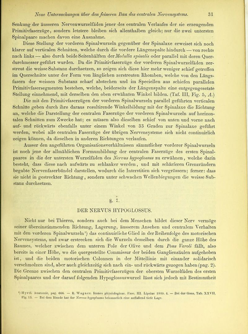 Senkung der äusseren Nervenwurzelfäden jener des centralen Verlaufes der sie erzeugenden Primitivfaserzüge, sondern letztere bleiben sieb allenthalben gleich; nur die zwei untersten Spinalpaare machen davon eine Ausnahme. Diese Stellung der vorderen Spinalwurzeln gegenüber der Spinalaxe erweiset sich noch klarer auf verticalen Schnitten, welche durch die vordere Längenspalte hindurch —von rechts nach links — also durch beide Seitenhälften detMedulla spinalis oder parallel mit deren Quer- durchmesser geführt wurden. Da die Primitivfaserzüge der vorderen Spinalwurzelfäden zer- streut die weisse Substanz durchsetzen, so zeigen sich diese hier mehr weniger schief getroffen im Querschnitte unter der Form von länglichen zerstreuten Rhomben, welche von den Längs- fasern der weissen Substanz scharf abstechen und im Speciellen aus schiefen parallelen Primitivfasersegmenten bestehen, welche, beiderseits der Längenspalte eine entgegengesetzte Stellung einnehmend, mit derselben den oben erwähnten Winkel bilden. (Taf. III, Fig. 5, A.) Die mit den Primitivfaserzügen der vorderen Spinalwurzeln parallel geführten verticalen Schnitte geben durch ihre daraus resultirende Winkelbildung mit der Spinalaxe die Richtung an, welche die Darstellung der centralen Faserzüge der vorderen Spinalwurzeln auf horizon- talen Schnitten zum Zwecke hat; es müssen also dieselben schief von unten und vorne nach auf- und rückwärts ebenfalls unter einem Winkel von 33 Graden zur Spinalaxe geführt werden, wobei alle centralen Faserzüge der übrigen Nervensysteme sich nicht continuirlich zeigen können, da dieselben in anderen Richtungen verlaufen. Ausser den angeführten Organisationsverhältnissen sämmtlicher vorderer Spinalwurzeln ist noch jene der allmählichen Formumbildung der centralen Faserzüge des ersten Spinal- paares in die der untersten Wurzelfäden des Nervus hypoglossus zu erwähnen, welche darin besteht, dass diese nach aufwärts zu schlanker werden, und mit schärferen Grenzrändern begabte Nervenfaserbündel darstellen, wodurch die Interstitien sich vergrössern; ferner: dass sie nicht in gestreckter Richtung, sondern unter schwachen Wellenbiegungen die weisse Sub- stanz durchsetzen. §• 7. DER NERVUS HYPOGLOSSUS. Nicht nur bei Thieren, sondern auch bei dem Menschen bildet dieser Nerv vermöge seiner übereinstimmenden Richtung, Lagerung, äusserem Ansehen und centralem Verhalten mit den vorderen Spinalwurzeln1) das continuirliche Glied in der Reihenfolge des motorischen Nervensystems, und zwar erstrecken sich die Wurzeln desselben durch die ganze Höhe des Raumes, welcher zwischen dem unteren Pole der Olive und dem Pons Varoli fällt, also bereits in einer Höhe, wo die quergestellte Commissur der beiden Gangliensäulen aufgehoben ist, und die beiden motorischen Colonnen in der Mittellinie mit einander solidarisch verschmolzen sind, aber auch gleichzeitig sich nach ein- und rückwärts gezogen haben (pag. 2). Die Grenze zwischen den centralen Primitivfaserzügen der obersten Wurzelfäden des ersten Spinalpaares und der darauf folgenden ILypoglossuswurzel lässt sich jedoch mit Bestimmtheit *) Hyrtl. Anatomie, pag. 666. — R. Wagner. Icories physiologicae. Fase. III. Lipsiae 1840. 4. — Bei der Gans, Tab. XXVII, Fig. 13. — Bei dem Hunde hat der Nervus hypoglossus bekanntlich eine auffallend tiefe Lage.