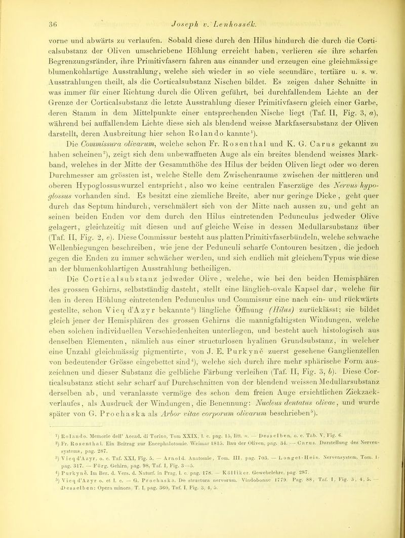 vorne und abwärts zu verlaufen. Sobald diese durch den Hilus hindurch die durch die Corti- calsubstanz der Oliven umschriebene Höhlung erreicht haben, verlieren sie ihre scharfen Begrenzungsränder, ihre Primitivfasern fahren aus einander und erzeugen eine gleichmässige blumenkohlartige Ausstrahlung, welche sich wieder in so viele secundäre, tertiäre u. s. w. Ausstrahlungen theilt, als die Corticalsubstanz Nischen bildet. Es zeigen daher Schnitte in was immer für einer Richtung durch die Oliven geführt, bei durchfallendem Lichte an der Grenze der Corticalsubstanz die letzte Ausstrahlung dieser Primitivfasern gleich einer Garbe, deren Stamm in dem Mittelpunkte einer entsprechenden Nische liegt (Taf. II, Fig. 3, a), während bei auffallendem Lichte diese sich als blendend weisse Markfasersubstanz der Oliven darstellt, deren Ausbreitung hier schon Rolando kannte1). Hie Gommissura olivarum, welche schon Fr. Rosenthal und K. G. Carus gekannt zu haben scheinen2), zeigt sich dem unbewaffneten Auge als ein breites blendend weisses Mark- band, welches in der Mitte der Gesammthöhe des Hilus der beiden Oliven liegt oder wo deren Durchmesser am grössten ist, welche Stelle dem Zwischenräume zwischen der mittleren und oberen Hypoglossuswurzel entspricht, also wo keine centralen Faserzüge des Nervus hypo- glossus vorhanden sind. Es besitzt eine ziemliche Breite, aber nur geringe Dicke , geht quer durch das Septum hindurch, verschmälert sich von der Mitte nach aussen zu, und geht an seinen beiden Enden vor dem durch den Hilus eintretenden Pedunculus jedweder Olive gelagert, gleichzeitig mit diesen und auf gleiche Weise in dessen Medullarsubstanz über (Taf. II, Fig. 2, e). Diese Commissur besteht aus platten Primitivfaserbündeln, welche schwache Wellenbiegungen beschreiben, wie jene der Pedunculi scharfe Contouren besitzen, die jedoch gegen die Enden zu immer schwächer werden, und sich endlich mit gleichem Typus wie diese an der blumenkohlartigen Ausstrahlung betheiligen. Die Corticalsubstanz jedweder Olive, welche, wie bei den beiden Hemisphären des grossen Gehirns, selbstständig dasteht, stellt eine länglich-ovale Kapsel dar, welche für den in deren Höhlung eintretenden Pedunculus und Commissur eine nach ein- und rückwärts gestellte, schon Vicq d’Azyr bekannte3) längliche Öffnung (Hilus) zurücklässt; sie bildet gleich jener der Hemisphären des grossen Gehirns die mannigfaltigsten Windungen, welche eben solchen individuellen Verschiedenheiten unterliegen, und besteht auch histologisch aus denselben Elementen, nämlich aus einer structurlosen hyalinen Grundsubstanz, in welcher eine Unzahl gleichmässig pigmentirte, von J. E. Purkyne zuerst gesehene Ganglienzellen von bedeutender Grösse eingebettet sind4), welche sich durch ihre mehr sphärische Form aus- zeichnen und dieser Substanz die gelbliche Färbung verleihen (Taf. II, Fig. 3, h). Diese Cor- ticalsubstanz sticht sehr scharf auf Durchschnitten von der blendend weissen Medullarsubstanz derselben ab, und veranlasste vermöge des schon dem freien Auge ersichtlichen Zickzack- verlaufes, als Ausdruck der Windungen, die Benennung: Nucleus dentatus olivae, und wurde später von G. Prochaska als Arhor vitae corporum olivarum beschrieben5). *) Rolando. Memorie dell’ Accad. di Torino, Tom XXIX, 1. c. pag. 15, litt. n. — Desselben, o. c. Tab. V, Fig. 6. 2) Fr. Rosenthal. Ein Beitrag zur Encephalotomie. Weimar 1815. Bau der Oliven, pag. 34. —• Carus. Darstellung des Nerven- systems, pag. 287. 3) Vicq d’Azyr, o. c. Taf. XXI, Fig. 5. — Arnold. Anatomie, Tom. III, pag. 703. — Longet-Hein. Nervensystem, Tom. 1, pag. 317. — Förg. Gehirn, pag. 98, Taf. I, Fig. 3—5. 4) Purkyne. Im Ber. d. Vers. d. Naturf. in Prag, 1. c. pag. 178. — Kölliker. Gewebelehre, pag. 287. 5) Vicq d’Azyr o. et 1. c. — G. Prochaska. De structura nervorum. Vindobonae 1779. Pag. 88, Taf. I, Fig. 3, 4, 5. — ■Desselben: Opera minora, T. I, pag. 360, Taf. I, Fig. 3, 4, 5.