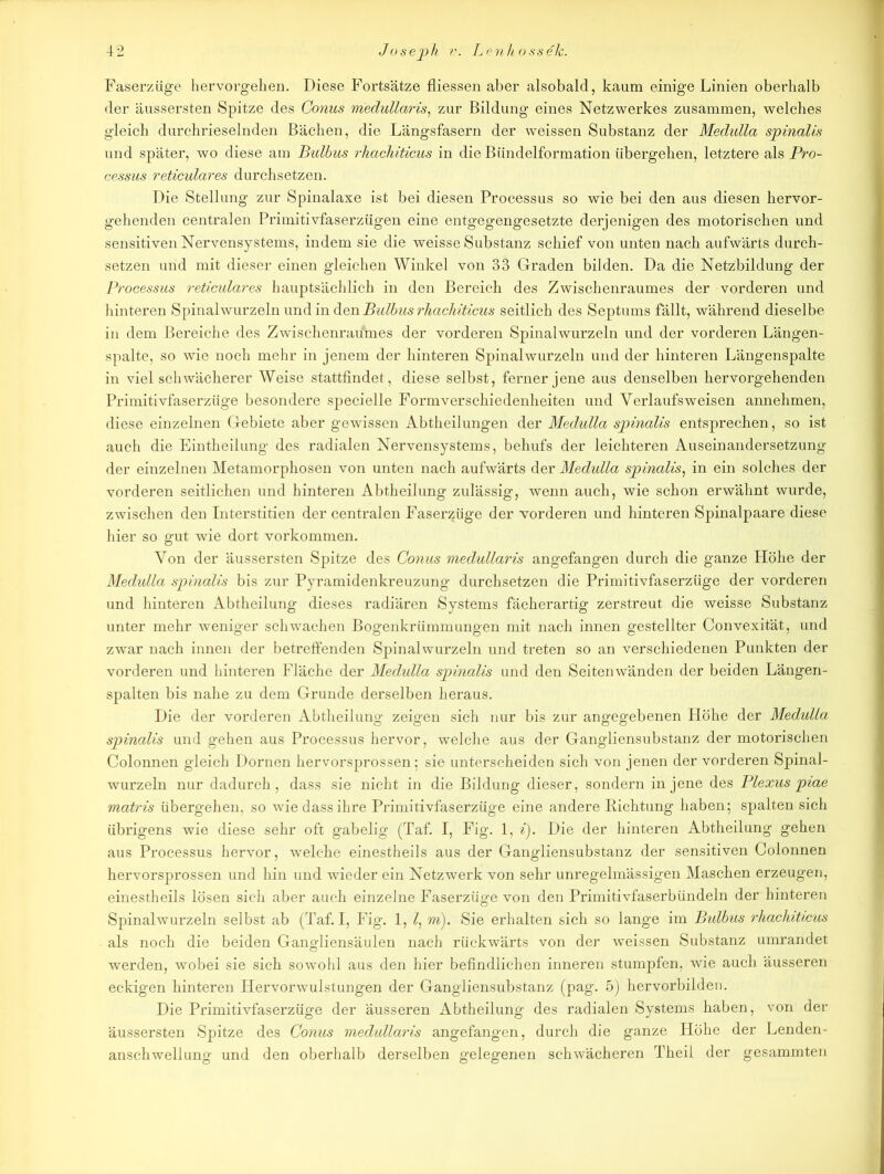 Faserzüge hervorgehen. Diese Fortsätze fliessen aber alsobald, kaum einige Linien oberhalb der äussersten Spitze des Conus medullaris, zur Bildung eines Netzwerkes zusammen, welches gleich durchrieselnden Bächen, die Längsfasern der weissen Substanz der Medulla spinalis und später, wo diese am Bulbus rhachiticus in die Bündelformation übergehen, letztere als Pro- cessus reticulares durchsetzen. Die Stellung zur Spinalaxe ist bei diesen Processus so wie bei den aus diesen hervor- gehenden centralen Primitivfaserzügen eine entgegengesetzte derjenigen des motorischen und sensitiven Nervensystems, indem sie die weisse Substanz schief von unten nach aufwärts durch- setzen und mit dieser einen gleichen Winkel von 33 Graden bilden. Da die Netzbildung der Processus reticulares hauptsächlich in den Bereich des Zwischenraumes der vorderen und hinteren Spinalwurzeln und in den Bulbus rhachiticus seitlich des Septums fällt, während dieselbe in dem Bereiche des Zwischenraumes der vorderen Spinalwurzeln und der vorderen Längen- spalte, so wie noch mehr in jenem der hinteren Spinalwurzeln und der hinteren Längenspalte in viel schwächerer Weise stattfindet, diese selbst, ferner jene aus denselben hervorgehenden Primitivfaserzüge besondere specielle Formverschiedenheiten und Verlaufs weisen annehmen, diese einzelnen Gebiete aber gewissen Abtheilungen der Medulla spinalis entsprechen, so ist auch die Eintheilung des radialen Nervensystems, behufs der leichteren Auseinandersetzung der einzelnen Metamorphosen von unten nach aufwärts der Medulla spinalis, in ein solches der vorderen seitlichen und hinteren Abtheilung zulässig, wenn auch, wie schon erwähnt wurde, zwischen den Interstitien der centralen Faserzüge der vorderen und hinteren Spinalpaare diese hier so gut wie dort Vorkommen. Von der äussersten Spitze des Conus medullaris angefangen durch die ganze Höhe der Medulla spinalis bis zur Pyramidenkreuzung durchsetzen die Primitivfaserzüge der vorderen und hinteren Abtheilung dieses radiären Systems fächerartig zerstreut die weisse Substanz unter mehr weniger schwachen Bogenkrümmungen mit nach innen gestellter Convexität, und zwar nach innen der betreffenden Spinalwurzeln und treten so an verschiedenen Punkten der vorderen und hinteren Fläche der Medulla spinalis und den Seitenwänden der beiden Längen- spalten bis nahe zu dem Grunde derselben heraus. Die der vorderen Abtheilung zeigen sich nur bis zur angegebenen Höhe der Medulla spinalis und gehen aus Processus hervor, welche aus der Gangliensubstanz der motorischen Colonnen gleich Dornen hervorsprossen; sie unterscheiden sich von jenen der vorderen Spinal- wurzeln nur dadurch, dass sie nicht in die Bildung dieser, sondern in jene des Plexus piae matris übergehen, so wie dass ihre Primitivfaserzüge eine andere Richtung haben; spalten sich übrigens wie diese sehr oft gabelig (Taf. I, Fig. 1, i). Die der hinteren Abtheilung gehen aus Processus hervor, welche einestheils aus der Gangliensubstanz der sensitiven Colonnen hervorsprossen und hin und wieder ein Netzwerk von sehr unregelmässigen Maschen erzeugen, einestheils lösen sich aber auch einzelne Faserzüge von den Primitivfaserbündeln der hinteren Spinalwurzeln selbst ab (Taf. I, Fig. 1, m). Sie erhalten sich so lange im Bulbus rhachiticus als noch die beiden Gangliensäulen nach rückwärts von der weissen Substanz umrandet werden, wobei sie sich sowohl aus den hier befindlichen inneren stumpfen, wie auch äusseren eckigen hinteren Hervorwulstungen der Gangliensubstanz (pag. 5) hervorbilden. Die Primitivfaserzüge der äusseren Abtheilung des radialen Systems haben, von der äussersten Spitze des Conus medullaris angefangen, durch die ganze Höhe der Lenden- anschwellung und den oberhalb derselben gelegenen schwächeren Theil der gesammten