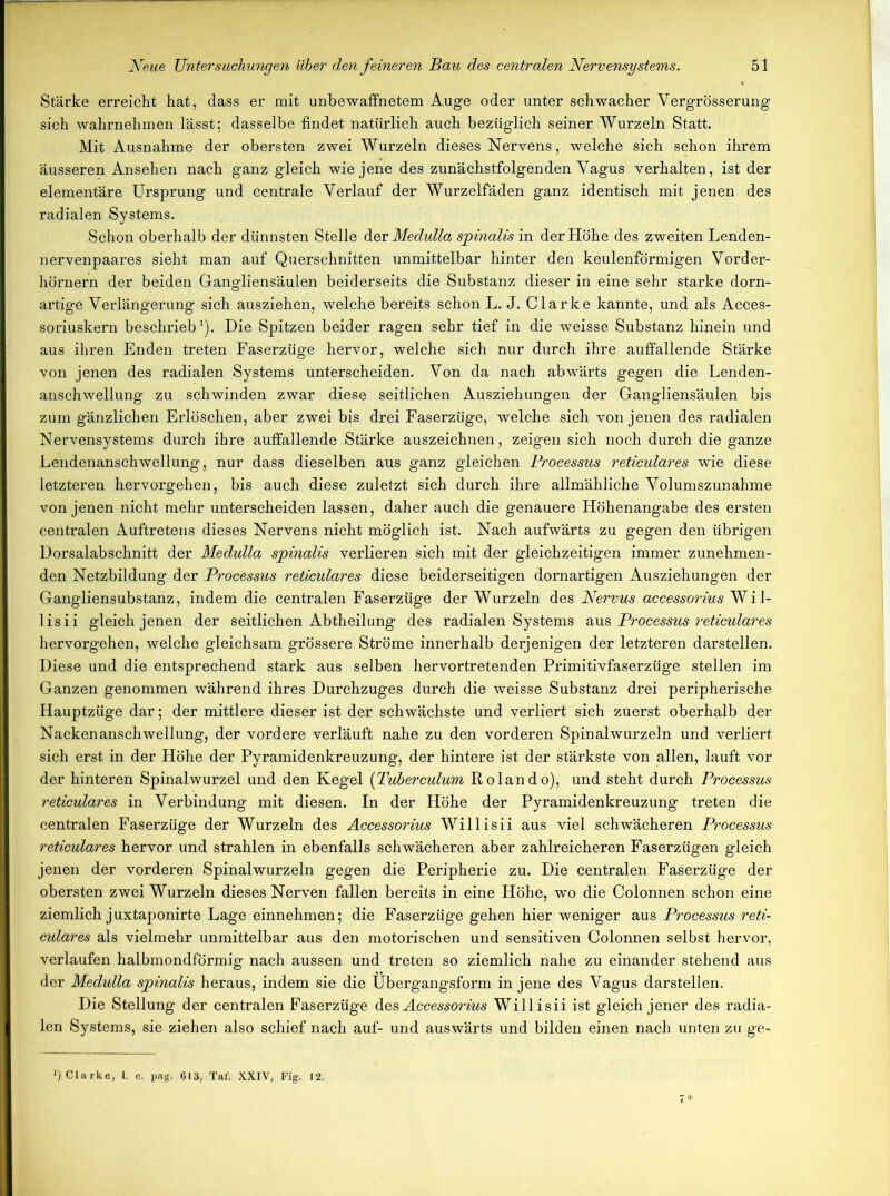 Stärke erreicht hat, dass er mit unbewaffnetem Auge oder unter schwacher Vergrösserung sich wahrnehmen lässt; dasselbe findet natürlich auch bezüglich seiner Wurzeln Statt. Mit Ausnahme der obersten zwei Wurzeln dieses Nervens, welche sich schon ihrem äusseren Ansehen nach ganz gleich wie jene des zunächstfolgenden Vagus verhalten, ist der elementäre Ursprung und centrale Verlauf der Wurzelfäden ganz identisch mit jenen des radialen Systems. Schon oberhalb der dünnsten Stelle der Medulla sjpinalis in der Höhe des zweiten Lenden- nervenpaares sieht man auf Querschnitten unmittelbar hinter den keulenförmigen Vorder- hörnern der beiden Gangliensäulen beiderseits die Substanz dieser in eine sehr starke dorn- artige Verlängerung sich ausziehen, welche bereits schon L. J. Clarke kannte, und als Acces- soriuskern beschrieb1). Die Spitzen beider ragen sehr tief in die weisse Substanz hinein und aus ihren Enden treten Faserzüge hervor, welche sich nur durch ihre auffallende Stärke von jenen des radialen Systems unterscheiden. Von da nach abwärts gegen die Lenden- anschwellung zu schwinden zwar diese seitlichen Ausziehungen der Gangliensäulen bis zum gänzlichen Erlöschen, aber zwei bis drei Faserzüge, welche sich von jenen des radialen Nervensystems durch ihre auffallende Stärke auszeichnen, zeigen sich noch durch die ganze Lendenanschwellung, nur dass dieselben aus ganz gleichen Processus reticulares wie diese letzteren hervorgehen, bis auch diese zuletzt sich durch ihre allmähliche Volumszunahme von jenen nicht mehr unterscheiden lassen, daher auch die genauere Höhenangabe des ersten centralen Auftretens dieses Nervens nicht möglich ist. Nach aufwärts zu gegen den übrigen Dorsalabschnitt der Medulla sjpinalis verlieren sich mit der gleichzeitigen immer zunehmen- den Netzbildung der Processus reticulares diese beiderseitigen dornartigen Ausziehungen der Gangliensubstanz, indem die centralen Faserzüge der Wurzeln des Nervus accessorius Wil- lisii gleich jenen der seitlichen Abtheilung des radialen Systems aus Processus reticulares hervorgehen, welche gleichsam grössere Ströme innerhalb derjenigen der letzteren darstellen. Diese und die entsprechend stark aus selben hervortretenden Primitivfaserzüge stellen im Ganzen genommen während ihres Durchzuges durch die weisse Substanz drei peripherische Hauptzüge dar; der mittlere dieser ist der schwächste und verliert sich zuerst oberhalb der Nackenanschwellung, der vordere verläuft nahe zu den vorderen Spinalwurzeln und verliert sich erst in der Höhe der Pyramidenkreuzung, der hintere ist der stärkste von allen, lauft vor der hinteren Spinalwurzel und den Kegel (Tuberculum Rolando), und steht durch Processus reticulares in Verbindung mit diesen. In der Höhe der Pyramidenkreuzung treten die centralen Faserzüge der Wurzeln des Accessorius Willisii aus viel schwächeren Processus reticulares hervor und strahlen in ebenfalls schwächeren aber zahlreicheren Faserzügen gleich jenen der vorderen Spinalwurzeln gegen die Peripherie zu. Die centralen Faserzüge der obersten zwei Wurzeln dieses Nerven fallen bereits in eine Höhe, wo die Colonnen schon eine ziemlich juxtaponirte Lage einnehmen; die Faserzüge gehen hier weniger aus Processus reti- culares als vielmehr unmittelbar aus den motorischen und sensitiven Colonnen selbst hervor, verlaufen halbmondförmig nach aussen und treten so ziemlich nahe zu einander stehend aus der Medulla sjpinalis heraus, indem sie die Übergangsform in jene des Vagus darstellen. Die Stellung der centralen Faserzüge des Accessorius Willisii ist gleich jener des radia- len Systems, sie ziehen also schief nach auf- und auswärts und bilden einen nach unten zu ge- *) Clarke, 1. c. pag. 613, Taf. XXIV, Fig. 12.