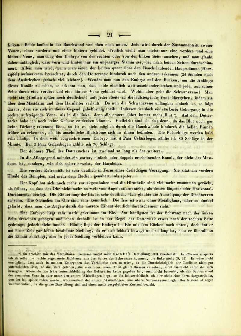 linken. Beide laufen in der Bauchwand von oben nach unten. Jede wird durch den Zusammentritt zweier Venen, einer vordern und einer hintern gebildet. Freilich sieht man meist nur eine vordere und eine hintere Vene, man mag den Embryo von der rechten oder von der linken Seite ansehen, und man glaubt daher anfänglich, dass vorn und hinten nur ein unpaariger Stamm sei, der nach, beiden Seiten durchschim- mert. Allein man wird, wenn man einen der beiden queer über den Bauch laufenden Hauptstämme (Herz- zipfel) aufmerksam betrachtet, durch den Dottersack hindurch auch den andern erkennen (24 Stunden nach dem Auskriechen jedoch viel leichter). Wendet man nun den Embryo auf den Rücken, um die Anfänge dieser Kanäle zu sehen, so erkennt man, dass beide ziemlich weit auseinander stehen und jeder auf seiner Seite durch eine vordere und eine hintere Vene gebildet wird. Wohin aber geht die Schwanzvene ? Man sieht sie (freilich später noch deutlicher) auf jeder »Seite in die aufsteigende Vene übergehen, indem sie über dem Mastdarm und dem Harnleiter verläuft. Da nun die Schwanzvene unläugbar einfach ist, so folgt daraus, dass sie sich ift dieser Gegend gabelförmig theilt. Indessen ist doch ein stärkerer Uebergang in die rechte aufsteigende Vene, als in die linke, denn die erstere führt immer mehr .Blut.* *), Auf dem Dotter- sacke habe ich noch keine Gefässe entdecken können. Vielleicht sind sie da; denn, da das Blut noch gar keine Färbung erkennen lässt, so ist es nicht möglich durch die Bauchwände hindurch die hellen Rinnen früher zu erkennen, als bis ansehnliche Blutströme sich in ihnen befinden. Die Pulsschläge werden bald sehr häufig. In dem weit vorgeschrittenen Embryo mit 4 Paar Gefässbogen zählte ich 80 Schläge in der Minute. Bei 3 Paar Gefässbogen zählte ich 70 Schläge. Der dünnere Theil des Dottersackes ist zweimal so lang als der weitere. In die Aftergegend mündet ein zarter, einfach oder doppelt erscheinender Kanal, der nicht der Mast- darm ist, sondern, wie sich später erweist, der Harnleiter. Die vordere Extremität ist sehr deutlich in Form einer dreieckigen Vorragung. Sie sitzt am vordem Theile des Rumpfes, viel mehr dem Rücken genähert, als später. Der Kopf hat sich noch mehr zurückgeschoben und die Hirntheile sind viel mehr zusammen gerückt, als früher, so dass- das Ohr nicht mehr so weit vom Auge entfernt steht, als dessen längster oder Horizontal- DurchmesSer beträgt. Die Einkerbung der Iris ist sehr deutlich. Ich glaubte die Ausstülpung der Riechnerven zu sehn. Die Steinchen im Ohr sind sehr kenntlich. Die Iris ist zwar ohne Metallglanz, aber so dunkel gefärbt, dass man die Augen durch die äussere Eihaut deutlich durchscheinen sieht. Der Embryo liegt sehr stark gekrümmt im Eie. Am häufigsten ist der Schwanz nach der linken Seite desselben gebogen und eben deshalb ist in der Regel der Dottersack etwas nach der rechten Seite gedrängt, jedoch nicht imnfier. Häufig liegt der Embryo im Eie mit dem Rücken nach unten, doch hat er um diese Zeit gar keine bestiinmte Stellung, da er sich lebhaft bewegt und so lang ist, dass er überall an die Eihaut andrängt, also in jeder Stellung verbleiben kann. • no ■ i ■ *) So erschien mir das Verhältniss. Indessen macht mich Rathke’s Darstellung jetzt zweifelhaft. In Blennius viviparus sah derselbe die rechte sogenannte Hohlvene aus der Spitze des Schwanzes kommen, die linke nicht (S. 35). Es wäre nicht unmöglich, dass auch in meinen Embryonen das Verhältniss eben so wäre, da die Durchsichtigkeit der Theile es nicht gut unterscheiden lässt, ob die Blutkügelchen, die man über einen Theil glaubt fliessen zu sehen, nicht vielleicht unter ihm sich bewegen. Allein da Rathke keine Abbildung der Gefässe im Leibe gegeben hat, auch nicht bemerkt, ob der Schwanztheil der genannten Vene in oder unter den untern Wirbelbogen liegt, so bin ich zweifelhaft, ob hier nicht eine Form dargestellt ist, von der ich später reden werde, wo innerhalb der untern Wirbelbogen eine obere Schwanzvene liegt. Das letztere ist sogar wahrscheinlich, da die ganze Darstellung sich auf einen mehr ausgebildeten Zustand bezieht.