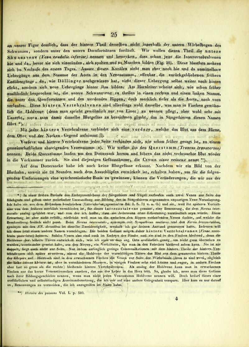 au,,unsrer Figur deutlich* dass der hintere Thejl devselben ^iclit jinnerhalb der untern Wii'kelbogen, des Schwanzes, sondern unter den untern Doi nfortsätzen fortläuft. Wir wollen diesen Thejlj flie untere S h vVpn py p rt'e (Venataudulis inferio.r) nennen und ^ernerlcen , dass schon jetzt die Intervertebralvenen hie und d;*, bevor sich einiiiHndent,§jch, gp.aftyßjjvMjsc^jVl^chen bilden ^Fig; 20). Diese Masch/ep mehred Siph im YerlttUife des ersten Tages. Ausser diesen Kanälen sieht man aber poch liie und da unmittelbare Uebeygänge aus dein Stamme der Aorta in den ^nenstwnin, offenbar dje zurückgebliebenen frühem Epdübeirgänge , da, wie Döllinger pacbgewif^pn hgt, nicht dieser Uebergang selbst vyeiter naeb hinten rückt, sondern sich neue Uebergänge hinter -ihm bilden.' Aü1 H&ri^eiter scheint sich;, wie schon früher ausführlich; besprochenist, die untere Schwanzvea^zu, theilen in einen rechten und ejnen linken Stamm, die ü'fter deft; Querfortsäfzen und den werdenden ßippeft^ dffftb merklich, tiefer als die ,Aorta,;,nach vorn verlaufen; Diese hintern Vertehralveuen (^nd, allerdings .Wphf dasselbe, was man in Fischen gewöhn- lich die IJobdyjepe (denn pian spricht gewöhnlich .nar .yon Einer) ^u nennen pflegt, aber wohl sehr mit Dflrepht;, wenn inan damit dasselbe Blutgefäss zu bezeichnen das in Sä.ugethieren diesen Namen fuhrt i . ’ : o, n9gofl moriio i : rin hu i Alit jedpr biih t ern Vertebralvene verbindet sich eine yordej;p, welche das Blut, aus denu Dirne, deirn Ohre und^der Nacken-Gegend aufnimiut (l). 91,i? ;.u„ i: ; : nodail Yo^dere-und. hintere iVertebralvepe jeder »Seite vei-hinden sich, schon früher gesagt ist, zu; einem gemeinschaftlichen absteigendenVenensttunm (n). Wir wollen .fap den .Querstamm (Truncm trynsversm) nennen. Beide Quyrstämnje laufen ^m den Dottersack herum und führen das nicht verbrauchte Blut wieder in die Vorkammer zurück. Sie.sind diejenigen Gefässstämme ., die .C^ivier. sinus veineyjc nennt**). Auf dem Dottersacke habe ich noch keine Blutgefässe erkannt. Nachdem wir ein Bild von der Blutbahn , soweit sie 24 Stunden nach dem. Ausschlüpfen entwr.ckelt .ist, erhalten haben,; um für die folgen- genden Umformungen eine synchronistische Basis zu gewinnen, können die Veränderungen , die wir aus der *) In einer frühen-Periode desiEmbryoneblebens; ,de^ tSä'igethiere und -Vögel^verlaufen avnfh zwei Venen zur Seite des Rückgrats und geben unter mehrfacher Umwandlung .zwirn ,-BUd«|»g td§Ft!i» Säfigefhiereu »sogenannten unpaarigen ,Vene Veranlassung, loh habe sie aus dem-JJül^nchen- beschrieben (Entwiflkelnrtgsgesehicbte.Bjd. 4. S..71 u. a.0-.) und sie, weil ihr späteres Verhält- nissr-von dem frühem'merklioh verschieden ist, für. dieses l.n-terc.D'Sta.lv ene genannt, eine Benennung, die dem Nerves inier- cosialis analog gebildet War, und von der ich hoffte, dass, sie- Jedermann Ohne Erläuterung, verständlich seytt würde. Diese Erwartung ist. aber nicht erfüllt, vielleicht weil man an, die--zwischen »den Rippen verlaufenden Venen. daclUe.,,auf. welche die Beschreibung, freilich; nicht passt. Beim Nervus iniercosialis, synonym.-mit Sympathicus ma&iwusi.'und den ■Nervisl fni^(fiqsi^bus, synonym mit • de«. NN..dorsnlibus ist dieselbe Zweideutigkeit, weshalb ich gär»,keinen Anstand genommen hatte. Indessen will ich denn-jetzt einen andern Namen vorschlagen. Die beiden Gefässe mögen.daher hi n t er el Veptlie braf v-ß>nie n [V'enae ver-le- brale\s po.sJeriores) .heissen. Solche. Venen also sind auch im Embryo der Fische, und, lisie -sind jn den »Fis,eben .bleibend, denn die Hohlvene >deri; lwhern Thiere lentwickelt; sich, wie ich avjcli-an-dem ang. Orte ,ausführliehMgen«g, ;um nicht ga:nz,j übersehen zu werden, auseinander .gesetzt, habe, aus den,Nieren, ein. Verhältniss, das mah-iln den Fröschen bleibend sehen kann. Sie ist nie doppeltij; liegt auch, nicht zur Seite. Nur» indem anfänglich geringe Commnnikationen. imjt dem hißtern Theile der hintern,.VßFr tebhilvenen sich .später erweitern , nimmt die • Hohlvene der warmblütigen Thiere das Bißt ,aus idßm-,igesammten hinteru^HheUe des-:Kldrpeirs auf» . Hiernach sind in den erwachsenen Fischen ;dje Venen zur Seite,.der Wi«belsäwlg)(i(|d,enB es sind obgleich die^Brtheiimmer kleiner-ist j aber in verschiedenen Maassen, in'einigen Fischen sehr viel kürzer Und. enget) in andern Fischen aber fast so gross als die rechte) bleibende hintere Vertebralveßen. Als analog der Hohlvene kann man in erwachsenen Fischen nur das kurze Venenstämmchen ansehen, das aus der Lel^hr in das Herz tritt. So, glaube ich, muss man diese Gefässe nach ihrer Bildungsgeschichte nennen, wenn man nicht jeden Venensfamm Hohlvene nennen will. Doch bedarf dieses einer ausführlichen und selbstständigen Auseinandersetzung, die ich'-mir auf eine andere Gelegenheit verspare. Hier kam es nur darauf an , Benennungen zu vermeiden, die ich anzugreifen jm Sinne habe. I tf ! **) llisioire des poissons Vol. I. p. 510. 4
