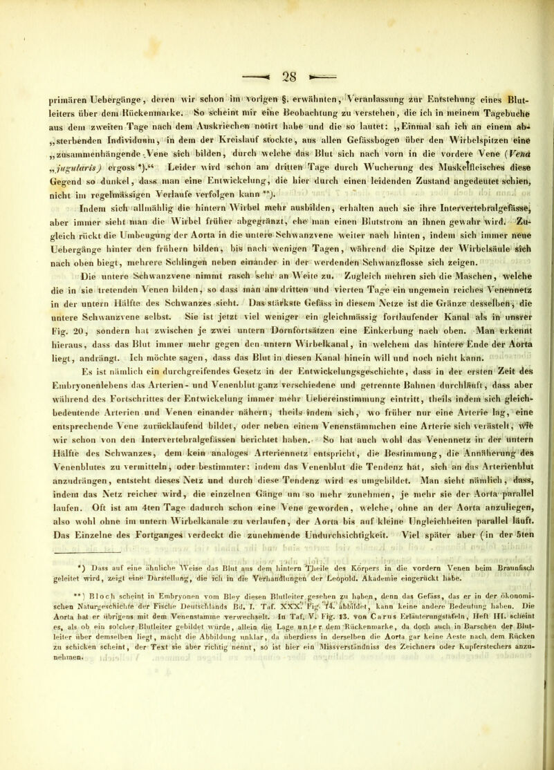 primären Uebergänge, deren wir schon im vorigen §. erwähnten, 'Veranlassung zlir Entstehung eines Blut- leiters über dem Kückenmarke. So scheint mir eihe Beobachtung zu verstehen , die ich in meinem Tagebuche aus dem zweiten Tage nach dem Auskriechen nötirt habe und die so lautet: „Einmal sah ich an einem ab« „sterbenden IndividuumV in dem der Kreislauf stockte, aus allen GefässbogeO über den Wirbelspitzen eine ! „zusammenhängende-.Vene sich bilden, durch welche das Blut sich nach vorn in die vordere Vene (Vetiä „jugu/aris) ergoss * *).“ Leider wird schon an» dritten Tage durch Wucherung des Musketfleisches diese Gegend so dunkel, dass man eine Entwickelung, die hier durch einen leidenden Zustand angedeütet schien, nicht im regehnässigen Verlaufe verfolgen kann **). Indem sich allmählig die hintern Wirbel mehr aushilden, erhalten auch sie ihre IntefvertebralgefässO* aber immer sieht man die Wirbel früher ahgegränzt, ehe' man einen ßiutstrom an ihnen gewahr wird. Zu- gleich rückt die LTinheugung der Aorta in die untere Schwanzvene weiter nach hinten, indem sich immer neue Uebergänge hinter den frühem bilden, bis nach wenigen Tagen, während die Spitze der Wirbelsäule sich ; nach oben biegt, mehrere Schlingen neben einander in der werdenden Schwanzflosse sich zeigen. Die untere Schwanzvene nimmt rasch sehr an Weite zu. Zugleich mehren sich die Maschen, welche | die in sie tretenden Venen bilden, so dass inan änvdritten und vierten Tage ein ungemein reiches Venennetz in der untern Hälfte des Schwanzes-sieht. Das stärkste Gefäss in diesem Netze ist die Gränze desselbeh* die untere Schwanzvene selbst. Sie ist jetzt viel weniger ein gleichmässig fortlaufender Kanal als ih unsrer I Fig. 20, sondern hat zwischen je zwei untern Dornfortsätzen eine Einkerbung nach oben. Man erkennt hieraus, dass das Blut immer mehr gegen den untern Wirbelkanal, in welchem das hintere Ende der Aorta liegt, andrängt. Ich möchte sagen, dass das Blut in diesen Kanal hinein will und noch nicht kann. Es ist nämlich ein durchgreifendes Gesetz in der Entwickelungsgeschichte, dass in der eräten Zeit des Embryonenlebens das Arterien - und Venenblut ganz verschiedene und getrennte Bahnen durchläuft, dass aber während des Fortschrittes der Entwickelung immer mehr Uebereinstimmung eintritt, theils indem sich gleich- bedeutende Arterien und Venen einander nähern, the-ils indem sich, wo früher nur eine Arterie lag, eine entsprechende Vene zurücklaufend bildet, oder neben einem Venenstämmchen eine Arterie sich verästelt, w wir schon von den Intervertebralgefässen berichtet haben. So hat auch wohl das Venennetz in der untern Hälfte des Schwanzes, dem kein analoges Arteriennetz entspricht, die Bestimmung, die Annäherung des Venenblutes zu vermitteln, oder bestimmter: indem das Venenblut die Tendenz hat, sich an das Arterienblut anzudrängen, entsteht dieses Netz und durch diese Tendenz wird es umgebildct. Man sieht nämlich, dass, indem das Netz reicher wird, die einzelnen Gänge um so mehr zunehmen, je mehr sie der Aorta parallel laufen. Oft ist am 4ten Tage dadurch schon eine Vene geworden, welche, ohne an der Aorta anzuliegen, also wohl ohne im untern Wirbelkanale zu verlaufen, der Aorta bis auf kleine Ungleichheiten parallel läuft. Das Einzelne des Fortganges verdeckt die zunehmende Undurchsichtigkeit. Viel später aber (in der 5ten . ! . , *) Dass auf eine ähnliche Weise das Blut aus dem hintern TJieile des Körpers in die vordem Venen beim Braunfisch geleitet wird, zeigt eine Darstellung, die ich in die Verhandlungen der Leopold. Akademie eingerückt habe. **) Bloch scheint in Embryonen vom Bley diesen Blutleiter.gesehen zu haben, denn das Gefäss, das er in der ökonomi- schen Naturgeschichte der Fische Deutschlands Bd. I. Taf. XXX? Fig. V4. abbildet, kann keine andere Bedeutung haben. Die Aorta hat er übrigens mit dem Venenstamme verwechselt. In Taf. V. Fig. 13. von Carns Erläutemngstafeln, Heft III. scheint es, als ob ein solcher Blutleiter gebildet würde, allein die, Lage unf,er dem'Rückenmarke, da doch auch in Barschen der Blut- leiter über demselben liegt, macht die Abbildung unklar, da iiberdiess in derselben die Aorta gar keine Aeste nach dem Rücken zu schicken scheint, der Text sie aber richtig nennt, so ist hier ein MiSsverständniss des Zeichners oder Kupferstechers anzu- nehmen.