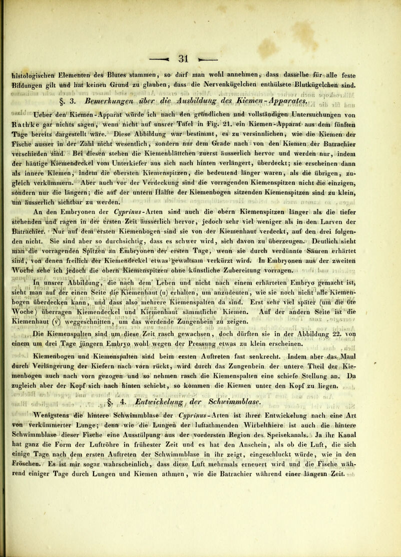 histologischen Elementen deS Blütes stammen, so darf man wohl annehmen, dass dasselbe für'alle feste Bildungen gilt ühd hat keinen Grund zu glauben, dass die Nervenkügelchen enthülsete Blutkügelchen sind. ■ ’ • niij Ö7 di' . §. 3. Bemerkungen über die Ausbildung des Kiemen - Apparates. i; Ueber den'Kiemen-Apparat würde ich nach1 den gründlichen und vollständigen Untersuchungen von Bath'ke gar nichts sagen, wenn nicht auf unsrer Tafel in Fig* 21. ein Kiemen-Appairat-aus dem fünften Tage bereits dargestellt wäre. Diese Abbildung war-bestimmt, es zu versinnlichen, wie die-Kiemen der Fische ausser in'der Zähl nicht wesentlich, sondern nur dem Grade nach von den Kiemen der Batrachier verschieden ^ihd'. Bei diesen stehen die Kiemenblättchen zuerst äusserlich hervor und wrerdeh nur, indem der häutige Kiemendeckel vom Unterkiefer aus sich nach hinten verlängert, überdeckt; sie erscheinen dann als innere Kiemen,’ indem die obersten Kiemenspitzen, die bedeutend länger waren, als die übrigen, zu- gleich verkümmern. Aber auch1 vor der Verdeckung sind die vorragenden Kiemenspitzen nicht die einzigen, söndern nur die längern; die auf der untern Hälfte der Kiemenbogen sitzenden Kiemenspitzen sind zu klein, ‘tim äusserlich sichtbar zu werden. An den Embryonen der Cyprinus-Arten sind auch die ohern Kiemenspitzen länger als die tiefer stehenden und'ragen in der fersten Zfeit äussferlich hervor, jedoch sehr viel weniger als in den Larven der Bäträchfef. - ‘Nur auf dem'ersten Kiemenbogen sind sie von der Kiemenhaut verdeckt, auf den drei folgen- den nicht. Sie sind aber so durchsichtig, dass es schwer wird, sich davon zu überzeugen. Deutlich; sieht man die vorragenden Sjlntzfen än Embryonen der ersten Tage, wenn sie durch verdünnte Säuren erhärtet sitid , vonl denen freilich der Kiemettdfeckel etwas gewaltsam verkürzt wird. In Embryonen aus der zweiten Woche i&be ich jedoch die oberri'Kiöthenspitzen1 ohne künstliche Zubereitung vorragen. i Im > In unsrer Abbildung, die nach dem’ Lehen und nicht nach einem erhärteten Embryo gemacht ist, sieht man auf der einen Seite die Kiemenhaut (u) erhalten, um’anzudeuten, wie sie noch nicht alleKiemfen- bogen überdecken kann, und dass also mehrere Kiemenspalten da sind. Erst sehr viel später (iiifr die 6te Woche) überragen Kiemendeckel und Kiemenhaut sämmtliche Kiemen. Auf der andern Seite ist die Kiemenhaut (v) weggeschnitten, um das werdende Zungenbein zu zeigen. , Die Kiemensp^lfen sind iyn.idiese Zeit rasch gewachsen, doch dürften sie in der Abbildung 22. von einem um drei Tage jüngern Embryo wohl wegen der Pressung etwas zu klein erscheinen. Kiemenbogen und Kiemenspalten sind beim ersten Auftreten fast senkrecht. Indem aber das, <Maul durch Verlängerung der Kiefern nach vorn rückt, wird durch das Zungenbein der untere. Theil der Kie- menbogen auch nach vorn gezogen und so nehmen rasch die Kiemenspalten eine schiefe Stellung an. Da zugleich aber der Kopf sich nach hinten schiebt, so kömmen die Kiemen unter den Kopf zu liegen. .OO/i'llifl fleh !!•><>•♦’ illill f!‘>|f!,f( l'us f.fl. 'i'1 ' , 1 ; ,;1, ,, • #)i §. 4. Entwickelung der Schwimmblase. Wenigstens die hintere Schwimmblase der Cyprinus - Äxten ist ihreii Entwickelung nach eine Art von verkümmerter Lunge; denn-wie die Lungen der luftathmenden Wirbelthiere ist auch die hintere Schwimmblase dieser Fische eine Ausstülpung aus der-vordersten Kegion des Speisekanals. - Ja ihr Kanal hat ganz die Form der Luftröhre in frühester Zeit und es hat den Anschein, als ob die Luft, die sich einige Tage nach dem ersten Auftreten der Schwimmblase in ihr zeigt, eingeschluckt würde, wie in den Fröschen. Es ist mir sogar wahrscheinlich, dass diese, Luft mehrmals erneuert wird und die Kische wäh- rend einiger Tage durch Lungen und Kiemen athmen , wie die Batrachier während einer längesn Zeit.