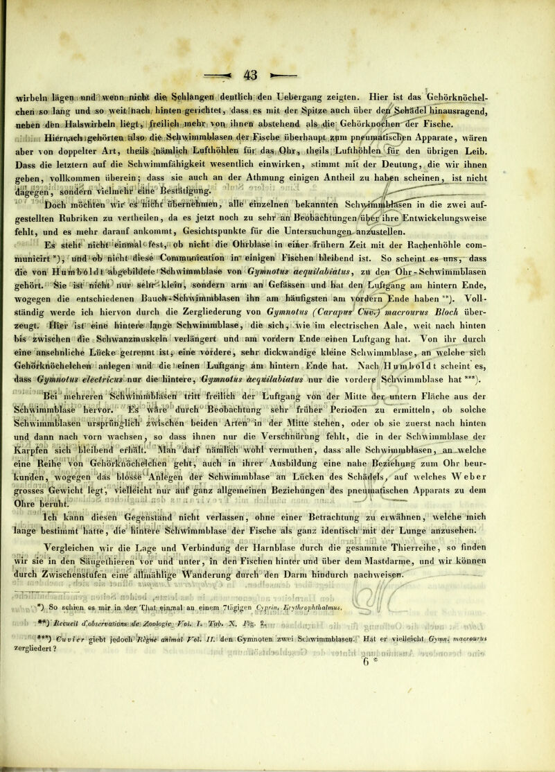 wirbeln lägen und wenn nietet dies Schlängen deutlich den Uebergang zeigten. Hier ist das Gehörknöchel- chen so lang und so weitlhach hinten gerichtet, dass es mit der Spitze auch über de^Schädel hinausragend, neben dfen. Halswirbeln liegt , freilich mehr vor* ihnen abstehend als-die' Gehörknocheir'der Fische. Hiernacbigeltö-rtea hlaO) die Schwimmblasen derFjsche überhaupt.,^pm pneumatischen Apparate, wären aber von doppelter Art, theil^ t[hmlich Lufthöhlen für das Ohr, thgils, Lufthöhlen für den übrigen Leib. Dass die letztem auf die Schwimmfähigkeit wesentlich einwirken, stimmt mit der Deutung, die wir ihnen geben, vollkommen überein; dass sie auch an der Athmung einigen Antheil zu haben scheinen, ist nicht dagegen, sondern vielmehr eine Bestätigung. Ju, ' Doch möchten wir' e'^'hit'bt übernehmen, alle einzelnen bekannten Sch^rhmbfeserTTn die zwei auf- gestellten Rubriken zu vertheilen, da es jetzt noch zu sehr an Beobächtungen/ü^ey ihre Entwickelungsweise fehlt, und es mehr darauf ankommt, Gesichtspunkte für die Untersuchungen anzustellen. Es steht nicht einmaL fest-, ob nicht die Ohrblase in eimerfrühern Zeit mit der Rachenhöhle com- municirt *), üttd‘<)b nicht diese Conimunicatiön in-’einigen Fischen bleibend ist. So scheint es uns, dass die von Humböldt-ahgebildete!-Schwimmblase von Gymnotus aequilabidtus, zu den Ohr-Schwimmblasen gehört. Sie ist hiöh't1 riür seifig klein, sondern arm an Gefässen und hat den Luj-tgäng am hintern Ende, wogegen die entschiedenen Bauoki-Sch'wimmblasen ihn am häufigsten am vordem Ende haben **). Voll- ständig werde ich hiervon durch die Zergliederung von Gymnotus (Carapus1 Cüwi} niacrourus Bloch über- zeugt. Hier ist eine hinter«1 Isyige Schwimmblase, die sich, uwie im electrischen Aale, weit nach hinten bis zwischen die Schwanzmuskeln verlängert und am vordem Ende einen Luftgang hat. Von ihr durch eine ansehnliche Lücke getrennt ist; eine vordere, sehr dickwandige kleine Schwimmblase, an welche sich Gehörknöchelchen anlegen und die.».einen Luftgang am hintern Ende hat. Nach Humboldt scheint es, dass Gymnotus eleclricus nur die ^hintere, Gymnotus äeqmlabialus nur die vordere Schwimmblase hat***). Bei'mehrerer! S'cKWimiflbläseti tritt freilich der Luftgang von der Mitte der untern Fläche aus der Schwimmblase hervor. wäre dufclV Beobachtung sehr früher Perioden zu ermitteln, ob solche Schwimmblasen ursprünglich' zwischen beiden Arten' in der Mitte stehen, oder ob sie zuerst nach hinten und dann nach vom wachsen? so dass ihnen nur die Verschnürung fehlt, die in der Schwimmblase der Karpfen sich bleibend erhält. Man darf nämlich wohl vermuthen, dass alle Schwimmblasen, an-welche eine Reihe von Gehörirnöchelchen geht, auch in ihrer Ausbildung eine nahe Beziehung zum Ohr beur- kunden, wogegen das blds^“Anlegen der Schwimmblase an Lücken des Schädels, auf welches Weber grosses Gewicht legt-, vielleicht nur auf ganz allgemeinen Beziehungen des pneumatischen Apparats zu dem Ohre beruht. Ich kann diesen Gegenständ nicht verlassen, ohne einer Betrachtung zu erwähnen, welche mich lange bestimmt batte, die hintere Schwimmblase der Fische als ganz identisch mit der Lunge anzusehen. Vergleichen wir die Lage und Verbindung der Harnblase durch die gesammte Thierreihe, so finden wir sie in den Säügethiereri'vor und unter, in den Fischen hinter und über dem Mastdarme, und wir können durch Zwischenstufen eine aUinählige Wanderung durch den Darm hindurch nachweispn. ilßflaaniautfvg nofie&'nsbfrd ■' .1 ■; ■ Vnr.. ii( ,jif f *) So schien es mir in 'der Xfiat-,einmal an einem 7tägigen Cyprin. lyrylhrophthalmus. **) hecueil d'observaiions de Zoologie-V»1.. !• !{($- -X. Mg. 2.« , . ***) Gvvier giebt jedoch''.RZgne: animal Vol. IT. 'den,. Gymnoten 'zwei. Schwimmblasen. ’’ Hat er vielleicht Gymn. macreun zergliedert ? . 6 *