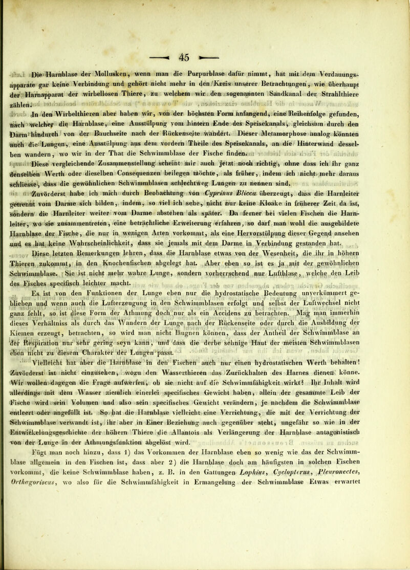 Die 'Harnblase der Mollusken., wenn man die Purpurblase dafür nimmt, hat mit dein Verdauungs- apparate gar keine Verbindung und gehört nicht mehr in den Kareüs unserer Betrachtungen , wie überhaupt der Harnapparat der wirbellosen Thiere, zu welchem wir,, den; sogenannten Sandkanal der- Strahlthiere zählen. Jn den Wirbelthieren aber haben wir, von der höchsten Form anfaugend,.eineReihenfolge gefunden, «ach welcher die Harnblase,, «ine Ausstülpung yom hintern Ende des Speisekanals j gleichsam durch den Darm1 hindurch von der Bauchseite nach der Bückensedte wähdert. Dieser Metamorphose analog könnten auch die Lungen, eine Ausstülpung aus dem vordern Theile des Speisekanals, an die Hinterwand dessel- ben wandern, wo Avir in der That die Schivimmblase der Fische finden. ' ‘ Diese vergleichende Zusammenstellung scheint mir auch jetzt noch richtig^ ohne dass ich ihr ganz denselben Werth oder dieselben Consequenzen beilegen möchte, als früher, indem ich nicht, mehr daraus schliesse1, dass die gewöhnlichen Schwimmblasen schlechtweg Lungen zu nennen sind. Zuvörderst habe ich mich durch Beobachtung von Cyprinus Blicca überzeugt, dass die Harnleiter getrennt vom Darme sich bilden, indem, so viel ich sehe, nicht nur keine Kloake in früherer Zeit da ist, Sendern die Harnleiter weiter vom Darme abstehen als später. Da ferner bei vielen Fischen die Harn- leiter, Wo sie zusammentreten, eine beträchtliche Erweiterung erfahren, so darf man Avohl die ausgebildete Harnblase der Fische, die nur in Avenigen Arten vorkommt, als eine Hervorstülpung dieser Gegegd ansehen und es hat;,keine Wahrscheinlichkeit, dass sie jemals mit dem Darme in Verbindung gestanden hat. Diese letzten Bemerkungen lehren, dass die Harnblase ettvas von der Wesenheit, die ihr in höhern Thielen zukommt, in den Knochenfischen abgelegt hat. Aber eben so ist es ja mit der geAVÖhnlichen Schwimmblase. Sie ist nicht mehr wahre Lunge, sondern vorherrschend nur Luftblase, welche den Leib des. Fisches specifisch leichter macht. Es ist von den Funktionen der Lunge eben nur die hydrostatische Bedeutung unverkümmert ge- blieben und Avenn auch die Lufterzeugung in den Schwimmblasen erfolgt und selbst der LuftAvechsel nicht ganz fehlt, so ist diese Form der Athmung dochnur als ein Äccidens zu betrachten. Mag man immerhin dieses Verhältnis als durch das Wandern der Lunge nach der Rückenseite oder durch die Ausbildung der Kiemen erzeugt, betrachten, so Avird man nicht läugnen können, dass der Antheil der Schwimmblase an der Respiration nur sehr gering seyn kann, und dass die derbe sehnige Haut der meisten Schwimmblasen eben inicht zu diesem Charakter der Lüngfen‘passt. Vielleicht hat aber die Harnblase in deh Fischen auch nur einen hydrostatischen Werth behalten! Zuvörderst ist nicht einzüsehen, wozu den Wasserthieren das Zurückhalten des Harnes dienen könne. Wir wollen;-dagegen die Frage auf werfen, ob sie nicht auf die SchAvimmfähigkeit wirkt? Ihr Inhalt wird allerdings - anit dem Wasser ziemlich einerlei specifisches Gewicht haben, allein der gesammte Leib der Fische wird sein Volumen und also sein specifisches Gewicht verändern, je nachdem die Schwimmblase entleert oder angefüllt ist. So bat die Harnblase vielleicht eine Verrichtung, die mit der Verrichtung der Schwimmblase venvandt ist, ihr aber in Eimer Beziehung auch gegenüber steht, ungefähr so Avie in der Entwiekelungsgesöhichle der höhern Thiere die Allantois als Verlängerung der Harnblase antagonistisch von der Lunge in der Athmungsfunktion abgelöst wird. Fügt man noch hinzu, dass 1) das Vorkommen der Harnblase eben so wenig Avie das der ScliAvinun- blase allgemein in den Fischen ist, dass aber 2) die Harnblase doch am häufigsten in solchen Fischen vorkommt, die keine Schwimmblase haben, z. B. in den Gattungen Lophius, Cycloplerm, Pleuronectes, Orthagoriscus, avo also für die SchAvimmfähigkeit in Ermangelung der Schwimmblase EtAvas envartet