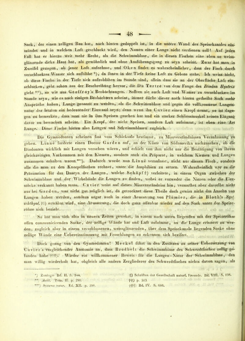 Sack, der einen zeitigen Bau hat, nach hinten gedoppelt ist, in die untere Wand des Speisekanales eitff mündet und in welchen Luft geschluckt wird, den Namen einer Lunge nicht verdienen soll? Auf jeden Fall hat er hierzu Weit mehr Becht, als die Schwimmblase, die in diesen Fischen eine eben so weiss- glänzende dicke Haut hat, als gewöhnlich und ohne Ausführungsgang zu seyn scheint. Zwar hat man in Zweifel gezogen, ob jener Luft aufnehme, und Oken findet es wahrscheinlicher, dass der Fisch durch verschlucktes Wasser sich aufblähe *), da ihnen in der Tiefe keine Luft zu Gebote stehe. Ich weissjhicht, ob diese Fische in der Tiefe sich aufzublähen im Stande sind, allein dass sie an der Oberfläche Luft ein- schlucken, geht schon aus der Beschreibung hervor, die. Du Tertre von dein Fange des Diodon Hystrix giebt**), so wie aus Geoffroy’s Beobachtungen. Sollten sie auch Luft und Wasser zu versohlucken> im Stande seyn, wie es nach einigen Beobachtern scheint, immer dürfte dieser nach hinten getheilte Sack mehr Ansprüche haben, Lunge genannt zu weiden, als die Schwimmblase und gegen die vollkommene Lungen- natur der letzten ein bedeutender Einwaud seyn; denn wenn ihn Cuvier einen Kropf nennt, so ist dage- gen zu bemerken, dass man nie 'in ihm Speisen gesehen hat und ein starker Schliessinuskel seinen Eingang davor zu bewacheir scheint. Ein Kropf, der nicht Speisen, sondern Luft aufnimmt, ist eben eine Art Lunge. Diese Fische hätten also Lungen und Schwimmblasen zugleich. Die Gymnodonten scheinen fast vom Schicksale bestimmt, zu Missverständnissen Veranlassung zu geben. Lin n e‘ forderte einen Doctor Garden auf, an der Küste von Südamerika nachzusehen, ob die Diodonten wirklich mit Lungen versehen wären, und erhielt von ihm nicht nur die Bestätigung von ihrem gleichzeitigen Vorkommen mit den Kiemen, sondern auch ein Präparat, in welchem Kiemen und Lungen zusammen erhalten waren***). Dadurch wurde nun Lin ne veranlasst, nicht nur diesen Fisch, spnderji alle die man zu den Knorpelfischen rechnet, unter die Amphibien zu setzen. Wahrscheinlich w6f Präsumtion für das Daseyn der Lungen, welche Schöpft) verleitete, in einem Organ zwischen |der Schwimmblase und der Wirbelsäule die Lungen zu finden % wobei er entweder die Nieren oder die Eier- stöcke verkannt haben muss. Cuvier weist auf dieses Missverständniss hin, vermuthet aber dasselbe nicht nur bei Garden, was nicht gut möglich ist, da getrocknet diese Theile doch gewiss nicht das Ansehn y,t$i Lungen haben werden, sondern* sogar auch in einer Aeusserung von Plümier, die in Blophls *8yst. Ichthyol, ft) erwähnt wird, eine Aeusserung, die doch ganz offenbar wieder auf den Kack unter der Speise- röhre sich bezieht. 7 , I: So hat man sich also in neuern Zeiten gewehrt, in einem nach unten liegenden mit der Speiseröhre offen communicirenden Sacke, derzeitige Wände hat und Luft aufnimmt, an die Lunge erinnert zu wer- den, zugleich aber in einem verschlossenen, weissglänzenden, über dem Speisekanale liegenden Sacke ohne zellige Wände eine Uebereinstimiuung mit Froschlungen zu erkennen sich beeifert. Doch genug von den Gymnodonten! Meckel führt in den Zusätzen zu seiner (Jebersetzung von Cu vier's vergleichender Anatomie an, dass Brodbelt die Schwimmblase des Schwerdtfisches zeitig ge- funden habe fff). Wieder ein willkommener Beweis für die Lungen-Natur der Schwimmblase, den man willig wiederholt hat, obgleich alle andern Zergliederer des Schwerdtfisches nichts davon sagen, als *) Zoologie Bd. II. S. 144. **) Antill. Totn. II. p. 290. ***) Systema naiur. Ed. XII. p. 398. f) Schriften der Gesellschaft naturf. Freunde. Bd. VIII. S. 198. ff) p. 513 fff) Bd. IV. S. 686.