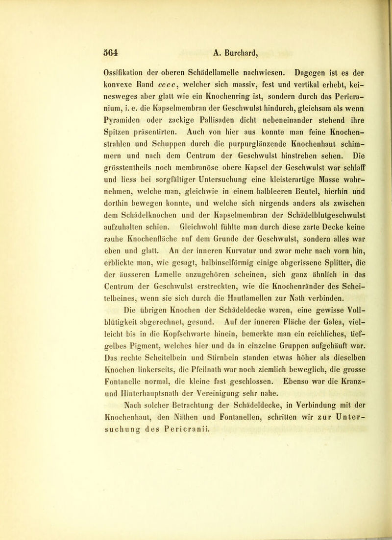 Ossifikation der oberen Schädellamelle nachwiesen. Dagegen ist es der konvexe Rand cccc, welcher sich massiv, fest und vertikal erhebt, kei- nesweges aber glatt wie ein Knochenring ist, sondern durch das Pericra- nium, i. e. die Kapselmembran der Geschwulst hindurch, gleichsam als wenn Pyramiden oder zackige Pallisaden dicht nebeneinander stehend ihre Spitzen präsentirten. Auch von hier aus konnte man feine Knochen- strahlen und Schuppen durch die purpurglänzende Knochenhaut schim- mern und nach dem Centrum der Geschwulst hinstreben sehen. Die grösstentheils noch membranöse obere Kapsel der Geschwulst war schlaff und liess bei sorgfältiger Untersuchung eine kleisterartige Masse wahr- nehmen, welche man, gleichwie in einem halbleeren Beutel, hierhin und dorthin bewegen konnte, und welche sich nirgends anders als zwischen dem Schädelknochen und der Kapselmembran der Schädelblutgeschwulst aufzuhalten schien. Gleichwohl fühlte man durch diese zarte Decke keine rauhe Knochenfläche auf dem Grunde der Geschwulst, sondern alles war eben und glatt. An der inneren Kurvatur und zwar mehr nach vorn hin, erblickte man, wie gesagt, halbinselförmig einige abgerissene Splitter, die der äusseren Lamelle anzugehören scheinen, sich ganz ähnlich in das Centrum der Geschwulst erstreckten, wie die Knochenränder des Schei- telbeines, wenn sie sich durch die Hautlamellen zur Nath verbinden. Die übrigen Knochen der Schädeldecke waren, eine gewisse Voll- blütigkeit abgerechnet, gesund. Auf der inneren Fläche der Galea, viel- leicht bis in die Kopfschwarte hinein, bemerkte man ein reichliches, tief- gelbes Pigment, welches hier und da in einzelne Gruppen aufgehäuft war. Das rechte Scheitelbein und Stirnbein standen etwas höher als dieselben Knochen linkerseits, die Pfeilnath war noch ziemlich beweglich, die grosse Fontanelle normal, die kleine fast geschlossen. Ebenso war die Kranz- und Hinterhauptsnath der Vereinigung sehr nahe. Nach solcher Betrachtung der Schädeldecke, in Verbindung mit der Knochenhaut, den Näthen und Fontanellen, schritten wir zur Unter- suchung des Pericranii.