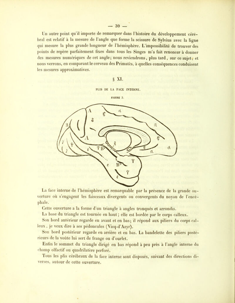 Un autre point qu’il importe de remarquer dans l’histoire du développement céré- bral est relatif à la mesure de l’angle que forme la scissure de Sylvius avec la ligne qui mesure la plus grande longueur de l’hémisphère. L’impossibilité de trouver des points de repère parfaitement fixes dans tous les Singes m’a fait renoncer à donner des mesures numériques de cet angle; nous reviendrons, plus tard, sur ce sujets et nous verrons, en comparant le cerveau des Primatès, à quelles conséquences conduisent les mesures approximatives. § XI. PLIS DE LA FACE INTERNE. FIGURE 3. La face interne de l’hémisphère est remarquable par la présence de la grande ou- verture où s’engagent les faisceaux divergents ou convergents du noyau de l’encé- phale. Cette ouverture a la forme d’un triangle à angles tronqués et arrondis. La hase du triangle est tournée en haut; elle est bordée par le corps calleux. Son bord antérieur regarde en avant et en bas; il répond aux piliers du corps cal- leux , je veux dire à ses pédoncules (Yicq-d’Azyr). Son bord postérieur regarde en arrière et en bas. La bandelette des piliers posté- rieurs de la voûte lui sert de frange ou d’ourlet. Enfin le sommet du triangle dirigé en bas répond à peu près à l’angle interne du champ olfactif ou quadrilatère perforé. Tous les plis cérébraux de la face interne sont disposés, suivant des directions di- verses, autour de cette ouverture.