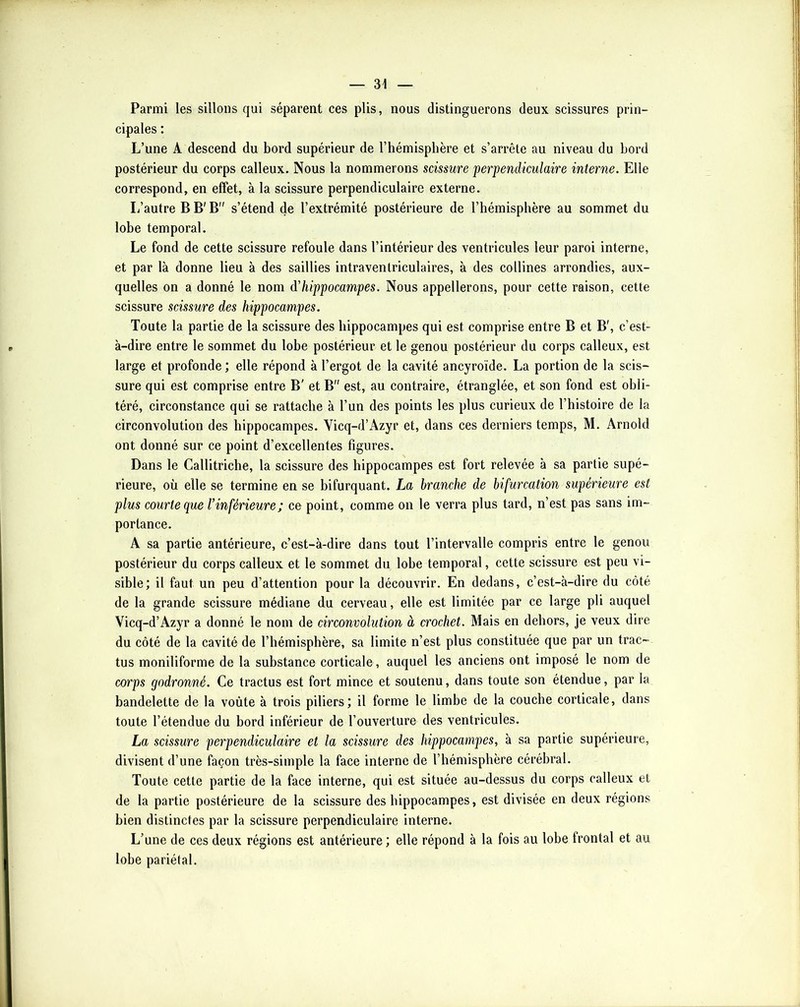 Parmi les sillons qui séparent ces plis, nous distinguerons deux scissures prin- cipales : L’une A descend du bord supérieur de l’hémisphère et s’arrête au niveau du bord postérieur du corps calleux. Nous la nommerons scissure perpendiculaire interne. Elle correspond, en effet, à la scissure perpendiculaire externe. L’autre B B' B s’étend de l’extrémité postérieure de l’hémisphère au sommet du lobe temporal. Le fond de cette scissure refoule dans l’intérieur des ventricules leur paroi interne, et par là donne lieu à des saillies intraventriculaires, à des collines arrondies, aux- quelles on a donné le nom d'hippocampes. Nous appellerons, pour cette raison, cette scissure scissure des hippocampes. Toute la partie de la scissure des hippocampes qui est comprise entre B et B', c’est- à-dire entre le sommet du lobe postérieur et le genou postérieur du corps calleux, est large et profonde ; elle répond à l’ergot de la cavité ancyroïde. La portion de la scis- sure qui est comprise entre B' et B est, au contraire, étranglée, et son fond est obli- téré, circonstance qui se rattache à l’un des points les plus curieux de l’histoire de la circonvolution des hippocampes. Yicq-d’Azyr et, dans ces derniers temps, M. Arnold ont donné sur ce point d’excellentes figures. Dans le Callitriche, la scissure des hippocampes est fort relevée à sa partie supé- rieure, où elle se termine en se bifurquant. La branche de bifurcation supérieure est plus courte que l'inférieure ; ce point, comme on le verra plus tard, n’est pas sans im- portance. A sa partie antérieure, c’est-à-dire dans tout l’intervalle compris entre le genou postérieur du corps calleux et le sommet du lobe temporal, cette scissure est peu vi- sible; il faut un peu d’attention pour la découvrir. En dedans, c’est-à-dire du côté de la grande scissure médiane du cerveau, elle est limitée par ce large pli auquel Vicq-d’Azyr a donné le nom de circonvolution à crochet. Mais en dehors, je veux dire du côté de la cavité de l’hémisphère, sa limite n’est plus constituée que par un trac- tus moniliforme de la substance corticale , auquel les anciens ont imposé le nom de corps godronné. Ce tractus est fort mince et soutenu, dans toute son étendue, par la bandelette de la voûte à trois piliers; il forme le limbe de la couche corticale, dans toute l’étendue du bord inférieur de l’ouverture des ventricules. La scissure perpendiculaire et la scissure des hippocampes, à sa partie supérieure, divisent d’une façon très-simple la face interne de l’hémisphère cérébral. Toute cette partie de la face interne, qui est située au-dessus du corps calleux et de la partie postérieure de la scissure des hippocampes, est divisée en deux régions bien distinctes par la scissure perpendiculaire interne. L’une de ces deux régions est antérieure ; elle répond à la fois au lobe frontal et au