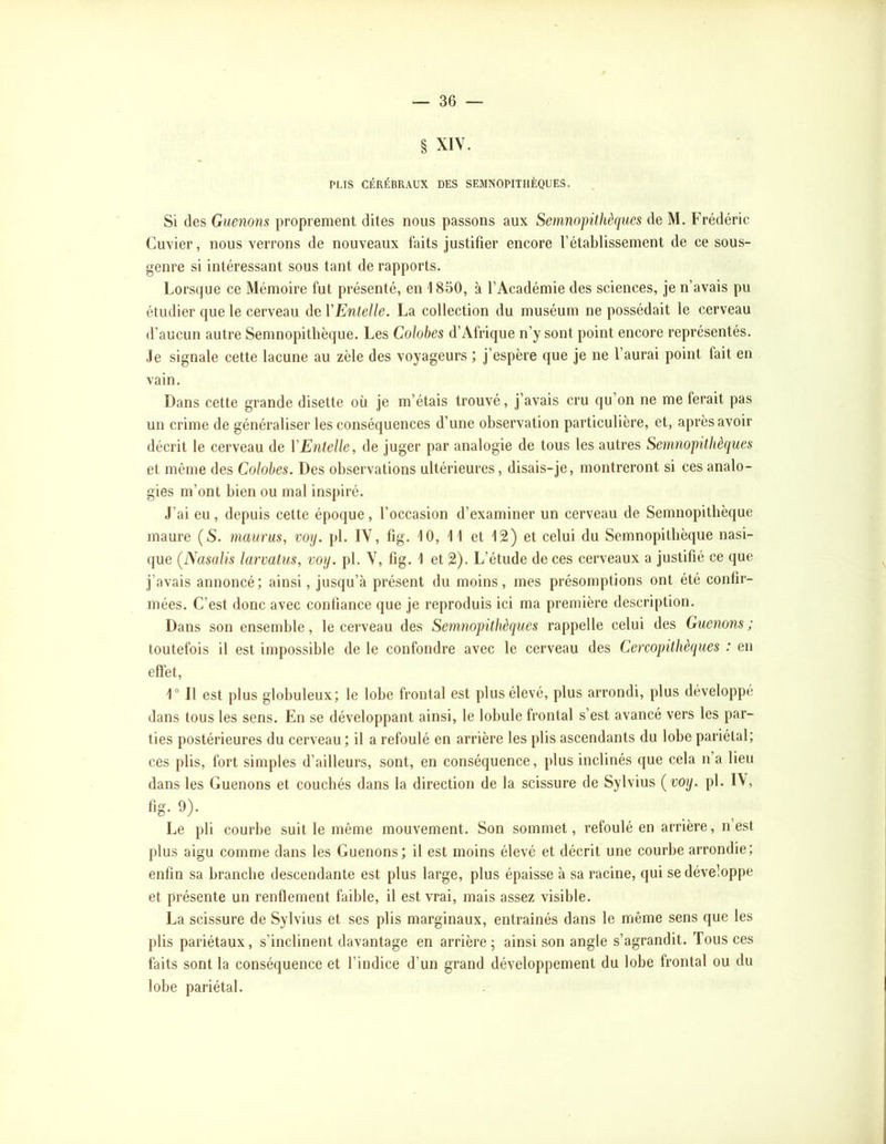 § XIV. PUS CÉRÉBRAUX DES SEMNOPITHÈQUES. Si des Guenons proprement dites nous passons aux Semnopithèqucs de M. Frédéric Cuvier, nous verrons de nouveaux faits justifier encore l’établissement de ce sous- genre si intéressant sous tant de rapports. Lorsque ce Mémoire fut présenté, en 1850, à l’Académie des sciences, je n’avais pu étudier que le cerveau de VEnteUe. La collection du muséum ne possédait le cerveau d’aucun autre Semnopitlièque. Les Colobes d’Afrique n’y sont point encore représentés. Je signale cette lacune au zèle des voyageurs ; j’espère que je ne l’aurai point fait en vain. Dans cette grande disette où je m’étais trouvé, j’avais cru qu’on ne me ferait pas un crime de généraliser les conséquences d’une observation particulière, et, après avoir décrit le cerveau de VEnteUe, de juger par analogie de tous les autres Senmopithèques et même des Colohes. Des observations ultérieures, disais-je, montreront si ces analo- gies m’ont bien ou mal inspiré. J’ai eu , depuis cette époque , l’occasion d’examiner un cerveau de Semnopitlièque maure (S. maurus, vorj. pl. IV, fig. 10, 11 et 12) et celui du Semnopitlièque nasi- que (Nasalis larvatus, voij. pl. V, fig. 1 et 2). L’étude de ces cerveaux a justifié ce que j’avais annoncé; ainsi, jusqu’à présent du moins, mes présomptions ont été confir- mées. C’est donc avec confiance que je reproduis ici ma première description. Dans son ensemble, le cerveau des Semnopithèques rappelle celui des Guenons; toutefois il est impossible de le confondre avec le cerveau des Cercopithèques : en effet, r II est plus globuleux; le lobe frontal est plus élevé, plus arrondi, plus développé dans tous les sens. En se développant ainsi, le lobule frontal s’est avancé vers les par- ties postérieures du cerveau; il a refoulé en arrière les plis ascendants du lobe pariétal; ces plis, fort simples d’ailleurs, sont, en conséquence, plus inclinés (}ue cela n a lieu dans les Guenons et couchés dans la direction de la scissure de Sylvius {voy. pl. IV, %. 9). Le pli courbe suit le même mouvement. Son sommet, refoulé en arrière, n’est plus aigu comme dans les Guenons; il est moins élevé et décrit une courbe arrondie; enfin sa branche descendante est plus large, plus épaisse à sa racine, qui se développe et présente un renflement faible, il est vrai, mais assez visible. La scissure de Sylvius et ses plis marginaux, entraînés dans le même sens que les plis pariétaux, s’inclinent davantage en arrière; ainsi son angle s’agrandit. Tous ces faits sont la conséquence et l’indice d’un grand développement du lobe frontal ou du