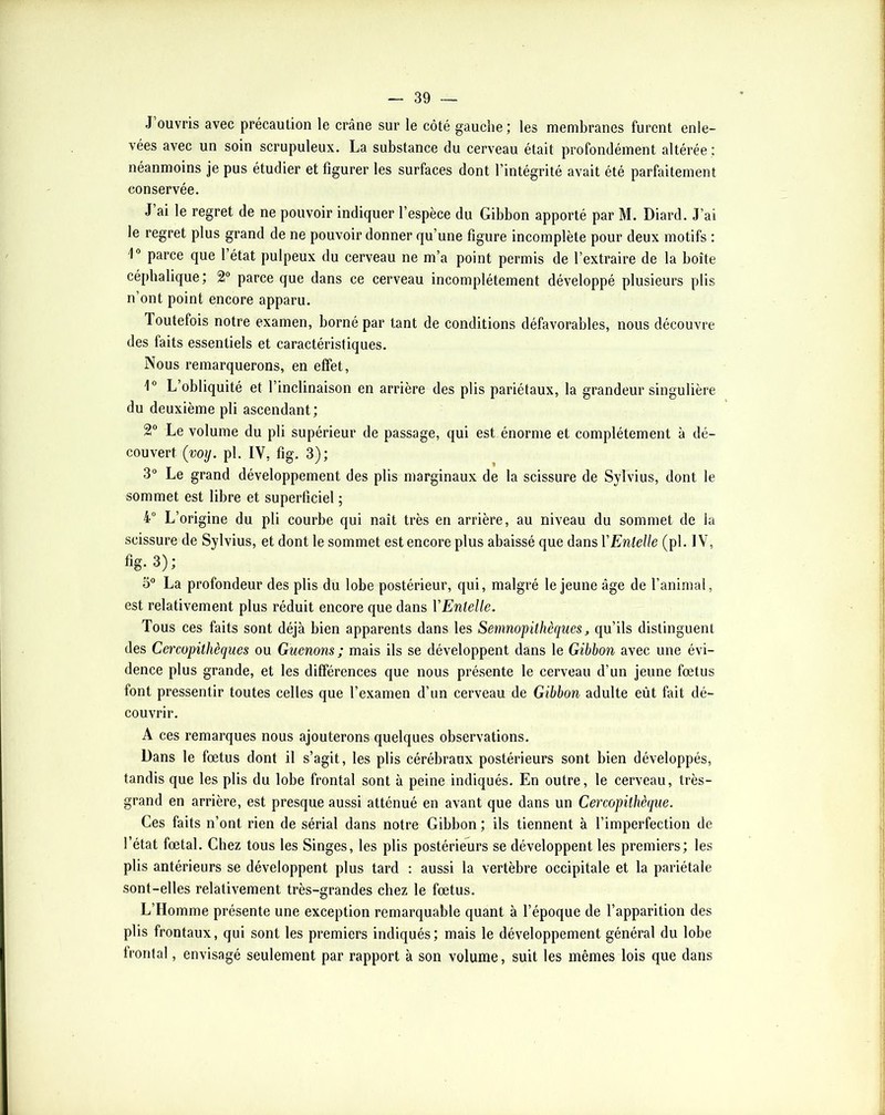 J ouvris avec précaution le crâne sur le côté gauche ; les membranes furent enle- vées avec un soin scrupuleux. La substance du cerveau était profondément altérée : néanmoins je pus étudier et figurer les surfaces dont l’intégrité avait été parfaitement conservée. J ai le regret de ne pouvoir indiquer l’espèce du Gibbon apporté par M. Diard. J’ai le regret plus grand de ne pouvoir donner qu’une figure incomplète pour deux motifs : parce que 1 état pulpeux du cerveau ne m’a point permis de l’extraire de la boîte céphalique; 2° parce que dans ce cerveau incomplètement développé plusieurs plis n’ont point encore apparu. Toutefois notre examen, borné par tant de conditions défavorables, nous découvre des faits essentiels et caractéristiques. Nous remarquerons, en effet. L’obliquité et l’inclinaison en arrière des plis pariétaux, la grandeur singulière du deuxième pli ascendant; 2® Le volume du pli supérieur de passage, qui est énorme et complètement à dé- couvert (voij. pl. IV, fig. 3); 3° Le grand développement des plis marginaux de la scissure de Sylvius, dont le sommet est libre et superficiel ; 4 L’origine du pli courbe qui naît très en arrière, au niveau du sommet de la scissure de Sylvius, et dont le sommet est encore plus abaissé que dans VEntelle (pl. IV, %• 3); 3® La profondeur des plis du lobe postérieur, qui, malgré le jeune âge de l’animal, est relativement plus réduit encore que dans VEntelle. Tous ces faits sont déjà bien apparents dans les Semnopithèques, qu’ils distinguent des Cercopithèques ou Guenons ; mais ils se développent dans le Gibbon avec une évi- dence plus grande, et les différences que nous présente le cerveau d’un jeune fœtus font pressentir toutes celles que l’examen d’un cerveau de Gibbon adulte eût fait dé- couvrir. A ces remarques nous ajouterons quelques observations. Dans le fœtus dont il s’agit, les plis cérébraux postérieurs sont bien développés, tandis que les plis du lobe frontal sont à peine indiqués. En outre, le cerveau, très- grand en arrière, est presque aussi atténué en avant que dans un Cercopithèque. Ces faits n’ont rien de sérial dans notre Gibbon ; ils tiennent à l’imperfection de l’état fœtal. Chez tous les Singes, les plis postérieurs se développent les premiers; les plis antérieurs se développent plus tard : aussi la vertèbre occipitale et la pariétale sont-elles relativement très-grandes chez le fœtus. L’Homme présente une exception remarquable quant à l’époque de l’apparition des plis frontaux, qui sont les premiers indiqués; mais le développement général du lobe frontal, envisagé seulement par rapport à son volume, suit les mêmes lois que dans