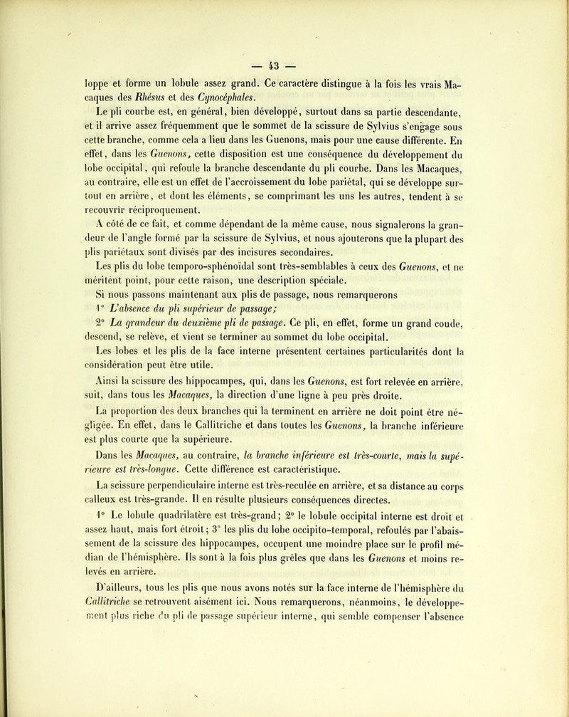 loppe et forme un lobule assez grand. Ce caractère distingue à la fois les vrais Ma- caques des Rhésus et des Cynocéphales. Le pli courbe est, en général, bien développé, surtout dans sa partie descendante, et il arrive assez fréquemment que le sommet de la scissure de Sylvius s’engage sous cette branche, comme cela a lieu dans les Guenons, mais pour une cause différente. En effet, dans les Guenons, cette disposition est une conséquence du développement du lobe occipital, qui refoule la branche descendante du pli courbe. Dans les Macaques, au contraire, elle est un effet de l’accroissement du lobe pariétal, qui se développe sur- tout en arrière, et dont les éléments, se comprimant les uns les autres, tendent à se recouvrir réciproquement. A côté de ce fait, et comme dépendant de la même cause, nous signalerons la gran- deur de l’angle formé par la scissure de Sylvius, et nous ajouterons que la plupart des plis pariétaux sont divisés par des incisures secondaires. Les plis du lobe temporo-spbénoïdal sont très-semblables à ceux des Guenons, et ne méritent point, pour cette raison, une description spéciale. Si nous passons maintenant aux plis de passage, nous remarquerons 1 “ L’absence du pli supérieur de passage; 2“ La grandeur du deuxième pli de passage. Ce pli, en effet, forme un grand coude, descend, se relève, et vient se terminer au sommet du lobe occipital. Les lobes et les plis de la face interne présentent certaines particularités dont la considération peut être utile. Ainsi la scissure des hippocampes, qui, dans les Guenons, est fort relevée en arrière, suit, dans tous les Macaques, la direction d’une ligne à peu près droite. La proportion des deux branches qui la terminent en arrière ne doit point être né- gligée. En effet, dans le Callitriche et dans toutes les Guenons, la branche inférieure est plus courte que la supérieure. Dans les Macaques, au contraire, la branche inférieure est très-courte, mais la supé- rieure est très-longue. Cette différence est caractéristique. La scissure perpendiculaire interne est très-reculée en arrière, et sa distance au corps calleux est très-grande. Il en résulte plusieurs conséquences directes. Le lobule quadrilatère est très-grand; 2® le lobule occipital interne est droit et assez haut, mais fort étroit; 3” les plis du lobe occipito-temporal, refoulés par l’abais- sement de la scissure des hippocampes, occupent une moindre place sur le profil mé- dian de l’hémisphère. Ils sont à la fois plus grêles que dans les Guenons et moins re- levés en arrière. D’ailleurs, tous les plis que nous avons notés sur la face interne de l’hémisphère du Callitriche se retrouvent aisément ici. Nous remarquerons, néanmoins, le développe- ment plus riche du pli de passage supérieur interne, qui semble compenser l’absence