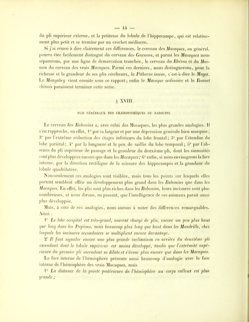 tlu pli supérieur externe, et la petitesse du lobule de rhippocampe, qui est relative- ment plus petit et se termine par un crochet médiocre. Si j’ai réussi à dire clairement ces difterences, le cerveau des Macaques, en général, pourra être facilement distingué du cerveau des Guenons, et parmi les Macaques nous séparerons, par une ligne de démarcation tranchée, le cerveau du Rhésus et du Mai- mon du cerveau des vrais Macaques. Parmi ces derniers, nous distinguerons, pour la richesse et la grandeur de ses plis cérébraux, le Pithecus inuus, c’est-à-dire le Magot. Le Mangabey vient ensuite sous ce rapport^ enfin le Macaque ordinaire, et le Bonnet chinois paraissent terminer cette série. § XVIII. PLIS CÉRÉBRAUX DES Cn.EROPITUÈQUES OU BABOUINS. Le cerveau des Babouins a, avec celui des Macaques, les plus grandes analogies. Il s’en rapproche, en eflét, 1° par sa largeur et par une dépression générale bien marquée; 2“ par l’extrême réduction des étages inférieurs du lobe frontal; 3° par l’étendue du lobe pariétal; 4° par la longueur et le peu de saillie du lobe temporal; 5“ par l’ab- sence du pli supérieur de jiassage et la grandeur du deuxième pli, dont les sinuosités sont plus développées encore que dans les Macaques; G° enfin, si nous envisageons la face interne, par la direction rectiligne de la scissure des hippocampes et la grandeur du lobule (juadrilatère. iNon-seulement ces analogies sont visibles, mais tous les points sur lesquels elles portent semblent offrir un développement plus grand dans les Babouins que dans les Macaques. En effet, les plis sont plus riches dans les Babouins, leurs incisures sont plus nombreuses, et nous dirons, en passant, que l’intelligence de ces animaux paraît aussi plus développée. Mais, à côté de ces analogies, nous aurons à noter des différences remarquables. -\insi : V Le lobe occipital est très-grand, souvent chargé de plis, encore un peu plus haut que long dans les T^apions, mais beaucoup plus long que haut dans les Mandrills, chez lesquels les incisures secondaires se multiplient encore davantage. T II faut signaler encore une plus grande inclinaison en arrière du deuxième pli ascendant dont le lobule supérieur est moins développé, tandis ({ue l’extrémité supé- rieure du premier pli ascendant se dilate et s’évase plus encore que dans les Macacpies. La face interne de l’iiémisplière présente aussi beaucou[) d’analogie avec la face interne de l’hémisphère des vrais Macaques, mais V La distance de la pohite postérieure de l’hémisphère au corps calleux est plus grande ;