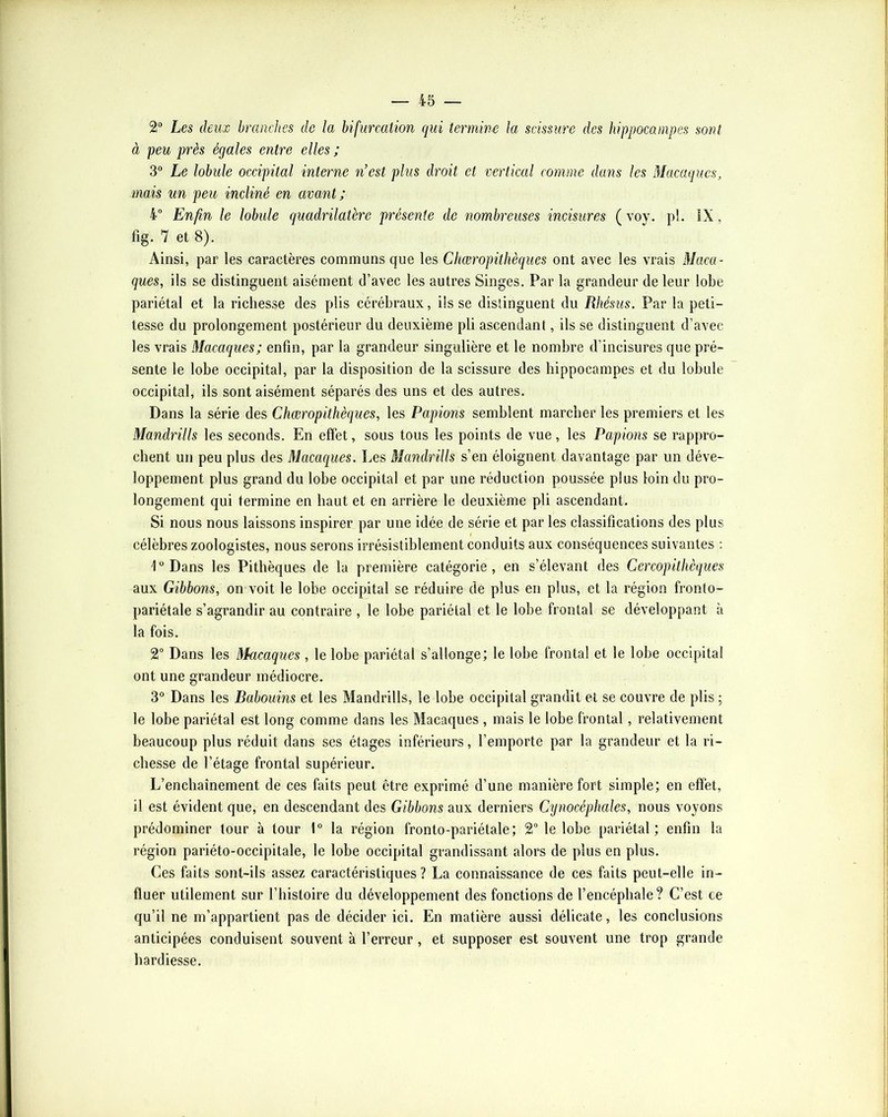2° Les deux branches de la bifurcation qui termine la scissure des hippocampes sont à peu près égales entre elles ; 3° Le lobule occipital interne nest plus droit et vertical comme dans les Macaques, mais un peu incliné en avant; 4“ Enfin le lobule cjuadrilatère présente de nombreuses incisures (voy. pi. IX, fig. 7 et 8). Ainsi, par les caractères communs que les Chœropithèques ont avec les vrais Maca- ques, ils se distinguent aisément d’avec les autres Singes. Par la grandeur de leur lobe pariétal et la richesse des plis cérébraux, ils se distinguent du. Rhésus. Par la peti- tesse du prolongement postérieur du deuxième pli ascendant, ils se distinguent d’avec les vrais Macaques; enfin, par la grandeur singulière et le nombre d’incisures que pré- sente le lobe occipital, par la disposition de la scissure des hippocampes et du lobule occipital, ils sont aisément séparés des uns et des autres. Dans la série des Chœropithèques, les Râpions semblent marcher les premiers et les Mandrills les seconds. En effet, sous tous les points de vue, les Râpions se rappro- chent un peu plus des Macaciues. Les Mandrills s’en éloignent davantage par un déve- loppement plus grand du lobe occipital et par une réduction poussée plus loin du pro- longement qui termine en haut et en arrière le deuxième pli ascendant. Si nous nous laissons inspirer par une idée de série et par les classifications des plus célèbres zoologistes, nous serons irrésistiblement conduits aux conséquences suivantes : 1 “ Dans les Pithèques de la première catégorie, en s’élevant des Cercopithèques aux Gibbons, on voit le lobe occipital se réduire de plus en plus, et la région fronto- pariétale s’agrandir au contraire , le lobe pariétal et le lobe frontal se développant à la fois. 2” Dans les Macaques , le lobe pariétal s’allonge; le lobe frontal et le lobe occipital ont une grandeur médiocre. 3“ Dans les Babouins et les Mandrills, le lobe occipital grandit et se couvre de plis ; le lobe pariétal est long comme dans les Macaques , mais le lobe frontal, relativement beaucoup plus réduit dans ses étages inférieurs, l’emporte par la grandeur et la ri- chesse de l’étage frontal supérieur. L’enchaînement de ces faits peut être exprimé d’une manière fort simple; en effet, il est évident que, en descendant des Gibbons aux derniers Cynocéphales, nous voyons prédominer tour à tour 1° la région fronto-pariétale; 2° le lobe pariétal; enfin la région pariéto-occipitale, le lobe occipital grandissant alors de plus en plus. Ces faits sont-ils assez caractéristiques? La connaissance de ces faits peut-elle in- fluer utilement sur l’histoire du développement des fonctions de l’encéphale? C’est ce qu’il ne m’appartient pas de décider ici. En matière aussi délicate, les conclusions anticipées conduisent souvent à l’erreur, et supposer est souvent une trop grande hardiesse.
