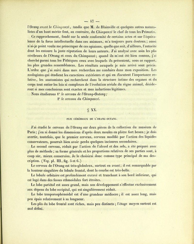 VOrang avant le Chimpanzé, tandis que M. de Blainville et quelques autres natura- listes d’un haut mérite font, au contraire, du Chimpanzé le chef de tous les Primates. Ce rapprochement, fondé sur la seule conformité de certains actes et sur l’équiva- lence de la force intellectuelle dans ces animaux, m’a toujours paru douteux ; aussi n’ai-je point voulu me préoccuper de ces opinions, quelle que soit, d’ailleurs, l’autorité dont les entoure la juste réputation de leurs auteurs. J’ai analysé avec soin les plis cérébraux de l’Orang et ceux du Chimpanzé ; quand ils m’ont été bien connus, j’ai cherché parmi tous les Pithèques ceux avec lesquels ils présentent, sous ce rapport, les plus grandes ressemblances. Les résultats auxquels je suis arrivé sont précis. L’ordre que j’ai suivi dans mes recherches me conduira dans mon exposition. Les zoologistes qui étudient les caractères extérieurs et qui en discutent l’importance re- lative, les anatomistes qui recherchent dans la structure intime des organes et du corps tout entier les lois si complexes de l’évolution sériale du règne animal, décide- ront si mes conclusions, sont exactes et mes inductions légitimes. Nous étudierons 1” le cerveau de l’Orang-Outang ; 2“ le cerveau du Chimpanzé. S XX. PUS CÉRÉBRAUX DE l’oRANG-OUTANG. J’ai étudié le cerveau de VOrang sur deux pièces de la colleetion du muséum de Paris ; j’en ai donné les dimensions d’après deux moules en plâtre fort beaux ; je dois avertir, toutefois, que le premier cerveau, cerveau modifié par l’action des liquides conservateurs, pourrait bien avoir perdu quelques ineisures secondaires. Le second cerveau, réduit par l’action de l’alcool et des sels, a été préparé avec- plus de méthode ; sa forme générale etles proportions relatives de ses parties sont, à coup sûr, mieux conservées. Je le choisirai donc comme type principal de ma des- cription. {Voy. pl. III, fig. Set 6.) Le cerveau de l’Orang est très-globuleux, surtout en avant; il est remarquable par la hauteur singulière du lobule frontal, dont la courbe est très-belle. Le lobule orbitaire est profondément excavé et tranchant à son bord inférieur, qui est logé dans des fosses ethmoïdales fort étroites. Le lobe pariétal est assez grand, mais son développement s’effectue exclusivement aux dépens du lobe occipital, qui est singulièrement réduit. Le lobe temporosphénoïdal est d’une grandeur médiocre ; il est assez long, mais peu épais relativement à sa longueur. Les plis du lobe frontal sont riches, mais peu distincts ; l’étage moyen surtout est mal défini.